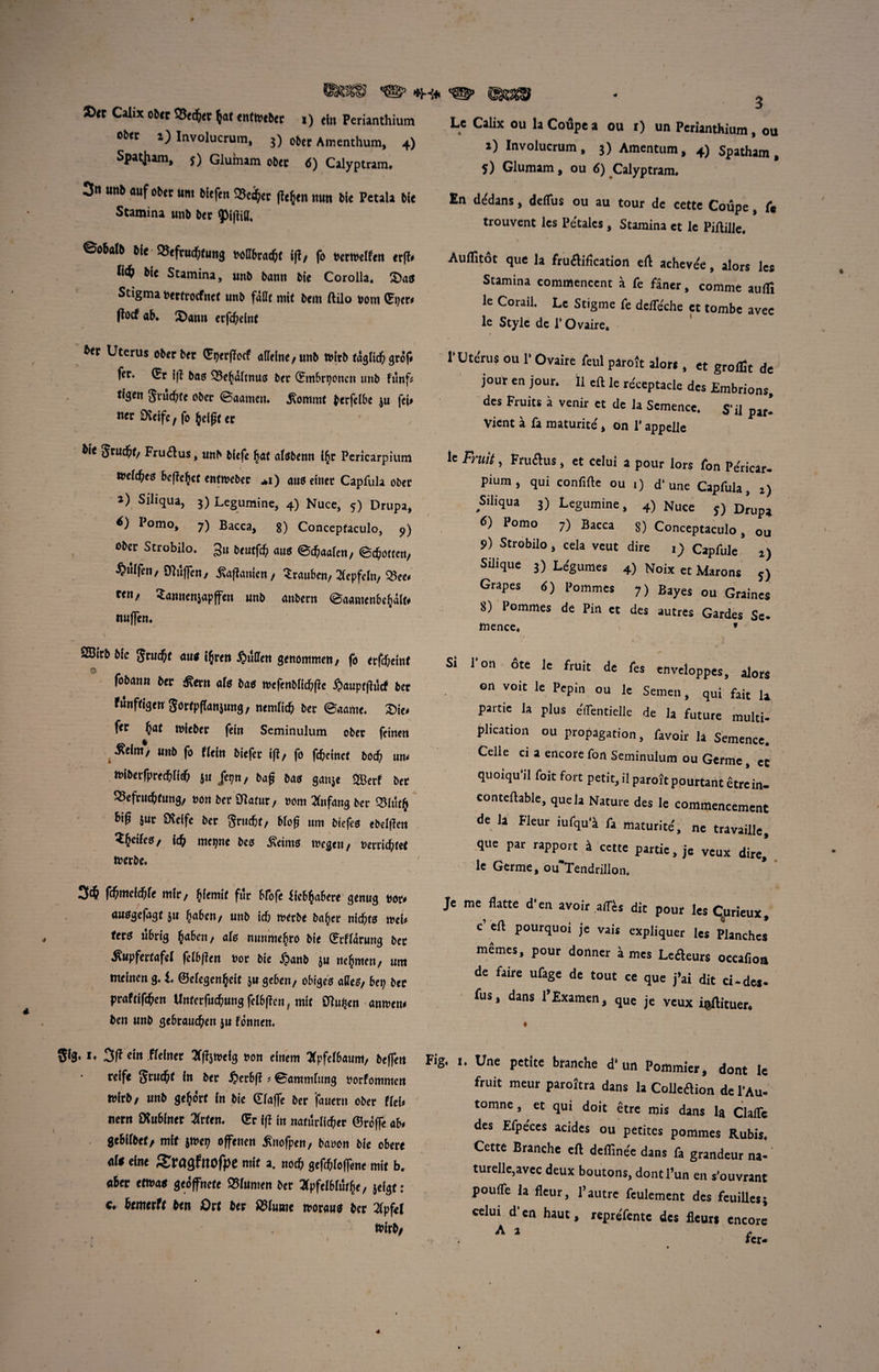 WH® <©> Calix ober %td)tx $at tnttttbtt i) efo Perianthium oUt i) Involucrum, 3) 0&cr Amenthum, 4) Spatjiam, j) Glumam 0Ut 6) Calyptram. 3n imb auf ober urn biefen 33c<$cr f?e$cn nun tic Pctala tic Stamina unb ber ^obalb bie <8efrud;timg Mbtafy ip, fo utmlUti erjf# bit Stamina, unb barm bie Corolla. 2)a$ Stigma berfrocfnet unb fdH( mit bent ftilo bom (Ji;er* pocf ab. £arw erfdjeinc Ut Uterus ober ber (Jpcrffocf aflelne,unb tbirb taglid^ grof# for, (Jr ip bag 55c^dltnuo Ut (Jmbr^oncn unb funf* *^en Snidtfe ober ©aamen. .ftommt ^erfetbe ju feU ncr Dveifc, fo (jeigt er ' bit grucfr, Fruaus, unb biefe fjat afsbenn l$r Pericarpium mld)c$ bepc^ct ennveber *i) auoetoer Capfula ober J) Sihqua, 3) Legumine, 4) Nuce, 5) Drupa, I omo, 7) Bacca, 8) Conceptaculo, 9) ober Strobilo. 3« t>rutfc^ aus ©^aalen, (Shorten, ^wlfon, Snujfcny ^aftamcn, Srauben, ^epfeln, 33ee* ««/ Samtenjapffen unb anbern (Baamenbcijalf# nuffen. SBirb bk Jrucftf au< i£rctt ^^(jrclt genommett, fo erfdjetnf fobann Ut Getn ate bag tvcfenbltd^pc £auptjhitf ber funfrigen'SorrpPanjung, nemlicb ber @aame. 3)ie* for $af miebor fein Seminulum ober feinen £efm, unb fo ffein biefer ip, fo fdjcmct bod; wu tt>iberfpred>ltd; &u Jepn, bap bag gan$e 3Berf bet SSefriic&fung, non ber Oiarur, nom #nfang ber <3htr$ Bip $ur CKeffe ber $rucf;f, bfop um biefeo ebelflett Zfyitec, ^ mttjnt beg £eimg tnegen, t>errid;te* foerbe. 3# fcftmcfchfe mir, fcfemif fur bfijfe iicb^abere genug nor- auogefagt ju fcaben, unb id; merbe bafjet nidjtg mU ttt$ ubrig £aben, afg nunme^ro bie (Jrfldrung bet tfupfertafel fel6f?en nor bie £anb ju ttefjmen, um meinen g. I ©efegenfceit 3u geben, obigeg afleg, Ut) Ut prafrifaen UnferMungfelbpen, mif SHu^en antnem ben unb gcbraucfren ju fdnnett, • *♦ 3P fioiner tfftmelg non einem 2Cpfef6aum, beffen reife Srucftf in ber #erbp ? ©ammfmtg norfommcn tnirb, unb gefcorr in bie Cfaffe ber fauern ober fleb nern DMiner %rfen. (Jr ip in narurlidjer ©roffe <tU gcbiibet, mif jtne^ offetten ^nofpen, banon 'bie obere alt tint Sragfnofpe mit a. no£^ gefaioffene mit b. «Bor etmag geoffnete tinmen ber ^pfeibiur^e, jeigt: *♦ Bemerft ben Ort ber ^iwme n>oraug ber 2(pf<l Le Calix ou la Coupe a ou r) un Perianthium, ou 1) Involucrum, 3) Amentum, 4) Spatham, 5) Glumam, ou 6) Calyptram, En dedans, deflus ou au tour de cette Coupe, fe trouvent les Petalcs , Stamina et le Piftille, Auflitot que la fruaification eA achevee, alors les Stamina commencent a fe finer, comme aufli le Corail. Lc Stigme fe deife'che ct tombe avec le Style de l’Ovaire. 1’Uterus ou 1* Ovaire feul paroft alors, et groflit de jour en jour. II eft le receptacle dcs Embrions, des Fruits a venir ct de la Scmence, S’il par- Vient a fa maturite', on 1* appelle lc Fruit, Fruaus, et celui a pour lors fon Pe'ricar- pium, qui confifte ou 1) d’ une Capfula, 2) Siliqua 3) Legumine, 4) Nuce j) Drupa 6) Pomo 7) Bacca s) Conceptaculo, ou 9) Strobilo, cela veut dire 1) Capfule 2) Silique 3) Legumes 4) Noix et Marons 5) Grapes 6) Pommes 7) Bayes ou Graines 8) Pommes de Pin ct des autres Gardes Sc- mence. * Si I'on ote le fruit de fes enveloppes, alors on voit le Pepin ou le Semen, qui fait la partie la plus e'flentielle de la future multi- plication ou propagation, favoir la Sentence, Celle ci a encore fon Seminulum ou Germe, et quoiqu’il foit fort petit, ilparolt pourtantetrein- contellable, que la Nature des le commencement de la Fleur iufqu'i fa maturite', ne travaille, que par rapport a cette partie, je veux dire, le Germe, ou'Tendrillon. Je me flatte d'en avoir aff^s dit pour les Cgurieux, c ell pourquoi je vais expliquer les Planches memes, pour donner a mes Ledleurs occafioa de faire ufage de tout ce que j’ai dit ci-des- fus, dans l’Examen, qUe je veux ipilitucr. » Fig. 1. Une petite branche d* un Pommier, dont lc fruit meur paroitra dans la Colledion de l’Au* tomne, ^ et qui doit etre mis dans la ClaiTe des Efpe'ccs acidcs ou petites pommes Rubis. Cette Branche eft deflinee dans fa grandeur na-' turelle,avcc deux boutons, dont Fun en s'ouvrant pouffe la fleur, F autre fculement des fcuilles; celui d’en haut, reprefente dcs fleuri encore