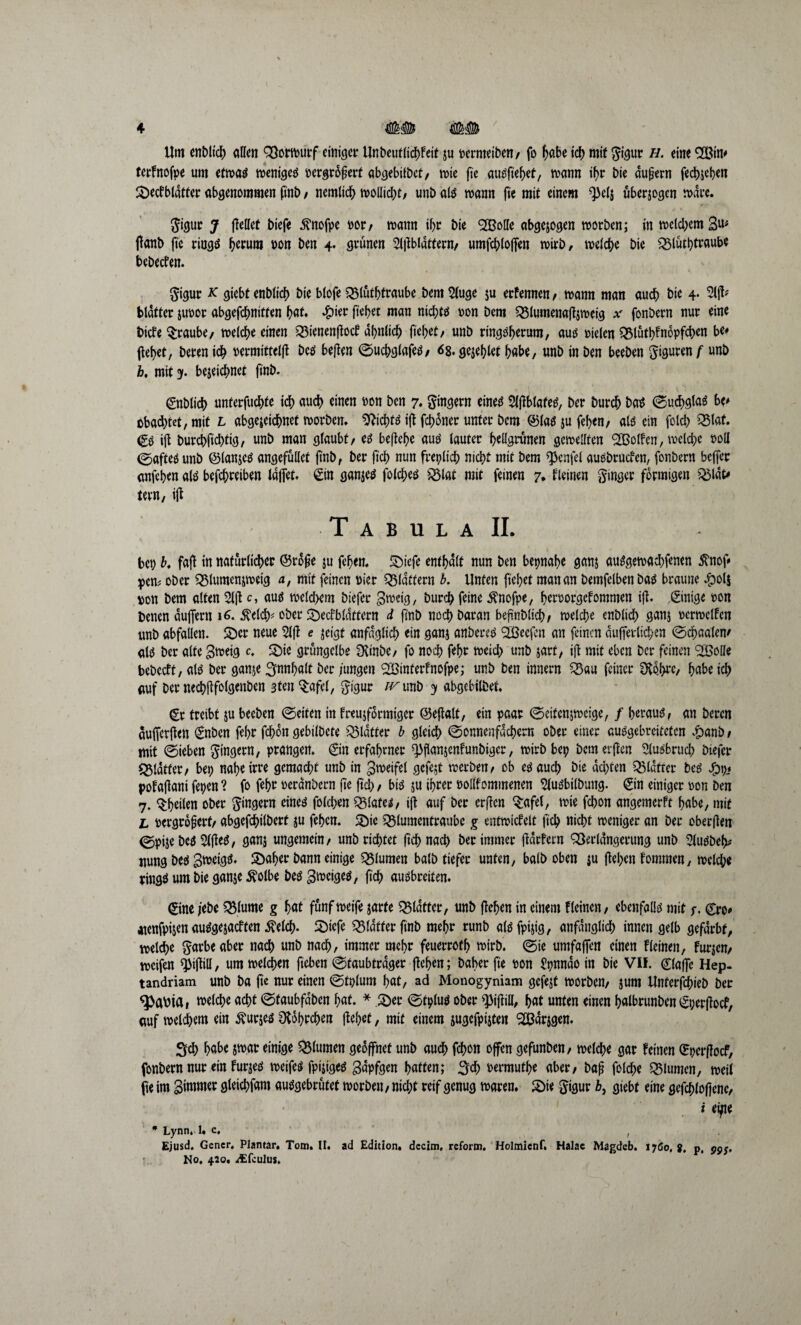 Um enbltcb allen Vormurf einiger Unbeutlichfeit ju permeiben/ fo habe ich mit $igur h. eine terfnofpe um etroa^ meniges pergrofert abgebübet/ mie fte ausftebet, mann ihr bie äußern fechjeben Söecfbldtter abgenommen ftnb / nemlich mollicht/ unb als mann fte mit einem Wi überzogen marc. ftigur J flellet biefe Stnofpe m, mann ihr bie SÖBolle abgewogen morben; in meinem 3^ flanb fte rings herum pon ben 4. grünen 2l|lbldttern, umfchlojfen mirb, melche bie Wtbtraube bebeefen. §igur k giebt enbtic^) bie blofe Vlütbtraube bem 2(uge ju etfennen/ mann man auch bie 4* blatter juoor abgefchnitten bat» #ier fielet man nichts non bem Vlumenafljmeig * fonbern nur eine biefe Traube/ melche einen Vienenflocf ähnlich fielet/ unb ringsherum, aus Pielen QMütbhiopfcben be* flehet, beren ich oermittelfl bes beflen ©ucbglafeS/ <58. gejettet habe, unb in ben beeben S^en f unb h, mit 31. bejeichnet finb. ©tblicb unterfuebte icf> auch einen pon ben 7. Ringern eines $lflblates, ber Durch bas ©ucbglaS be* obadjtet, mit l abgejeiebnet morben. Nichts ifl fd>5ner unter bem ©las ju feben/ als ein folcb Vlaf. <£S ifl burebftebtig, unb man glaubt/ es behebe aus lauter begrünen gemellten SOßolfen, melche roll (gaftes unb ©lanjes angefüllet ftnb, ber ftcb nun frepltcb nicht mit bem ^cnfel ausbruefen, fonbern beffer anfeben als befebreiben laffet. ©n ganzes folcbes 2$lat mit feinen 7• deinen Ringer förmigen Vldt* tern, ifl Tabula II. bei) b. fa|F in natürlicher ©rü§e $u feben. £)iefe enthalt mm ben bepnabe ganj auSgemacbfenen $nof» pen? ober Vlumenjmeig a, mit feinen Pier flattern b. Unten fiebet man an bemfelbenbas braune #ol$ pon bem alten 2l|l c, aus melcbem biefer gmeig, Durch feine $nofpe, berporgefommen ifl. Einige oon Denen duffem 16. ^elcb^ ober S)ectbldttern d finb noch Daran befmblicb/ metebe enblicb gan$ pcrmelfen unb abfallen. SDer neue 2lfl e $eigt anfaglicb ein ganj anbereS ^ßeefen an feinen dufferticben ©cbaalem als ber alte grneig c. S)te grüngelbe SKinbe/ fo noch febr meicb unb jart, ifl mit eben Der feinen SXBolIe bebeett, als ber ganje ^nnbalt ber jungen VSinterfnofpe; unb ben innern Vau feiner 3tdbre/ habe ich auf Der necbflfolgenben 3ten $afel, gigur irunb y abgebübet. Cr treibt &u beeben ©eiten in freujformiger ©eflalt, ein paar ©ettenjmeige, / heraus, an beren dufferflen Cnben febr febdn gebilbete glatter b gleich ©onnenfdebern ober einer ausgebreitefen £anb / mit ©ieben gt'ngern, prangen. ©n erfahrner ^fianjenfunbiger, mirb bep bemerken Ausbruch biefer glatter/ bep nabe irre gemacht unb in gmeifel gcfe;t merben, ob es auch Die achten Vldtrer bes Jppj pofaflantfepen? fo febr oeranbern fte ftcb/ bis ju ihrer Pollfommenen Slusbilbung. ©n einiger pon ben 7. ^heilen ober Ringern eines foleben Plates / ifl auf ber erffen ^:afel, mie febon angemerft habe, mit L Pergro§erf/ abgefebilbert ju feben. 5)ic ^lumentraubc g entmidelt ftcb nicht meniger an ber oberften ©pije bes 2lffe$/ ganj ungemein/ unb richtet ftebnaeb ber immer ftdrfcrn Verlängerung unb 5lusbe^ uung Des 3meigS. SDaber bann einige Blumen balb tiefer unten, balD oben $u flehen fommen, melche rings um bie ganje $olbe Des 3^eiges, ftcb ausbreiten. ©ne j'ebe Vlume g bat fünf met'fe jarfe glatter, unb flehen in einem f(einen, ebenfalls mit f. Cro^ menfpijen auSgejacften ^elch- 2)iefe Q5latter ftnb mehr runb alsfpijig, anfänglich innen gelb gefärbt, welche garbeaber nach unb nach, immer mehr feuerrotb mirb. ©ie umfaffen einen Fleinen, Furjcn/ weifen Will, um melden fteben ©taubtrager flehen; Daher fte pon £pnndoin bie Vif. ©affe Hep- tandriam unb ba fte nur einen ©tplum bat, ad Monogyniam gefejf morbem jum Unterzieh ber welche acht ©faubfdben bat. * S)er ©tplus ober Will, bat unten einen balbrunben Cperflocf, auf meinem ein Sv uries 01dbrchen flehet, mit einem jugcfpijten ^ßdrjgen. Sich habe $mar einige Blumen geöffnet unb aud> fchon offen gefunben/ melche gar feinen (Bperflocf, fonbern nur ein fur$es meifes fptjiges gdpfgen batten; 3# oermutbe aber, ba§ folche Blumen, meil fte im gimmer gleichfam ausgebrütet morben / nicht reif genug mären, 2)ie Jigur b, giebt eine gefchloffene, i etpe * Lynn, 1. c. , Ejusd. Gencr, Plantar. Tom. II. ad Edition, dccim. reform. Holmicnf. Halac Magdeb. 17Ö0. $. p, 99j, No, 420. iEfculus.