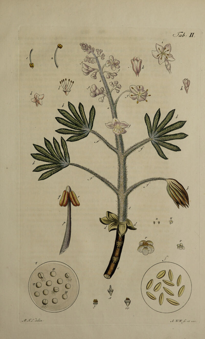 c X.jTS.Odlr. W.W. /Z. ct 4CCC :