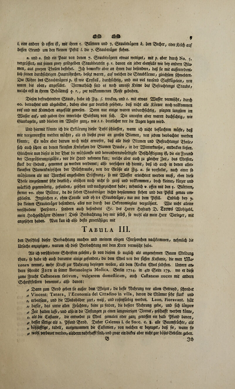 jf i eine anbcre fo offen iß, mit ihren ?. Blattern unb 7. ©taubfrdgcrn k. ben ^cc^cr, ober steld) auf beffcn @runb um ben deinen Q3ifti(t /. Die 7. ©taubtrdger ßeben. ». unb 0. ftnb ein ^aar oon bcncn 7. ©faubfrdgern etmas menigeS/ mit p. aber burcb No. f. »ergrdfferf/ mit feinen jmep golbgelben ©taubbeuteln q. r. baoon ein jeber ebenfalls tote bep anbern Blu* men, aus jmcpen feilen befielet, ^cb bcmerffc aber an ihnen bas befonbere, baß fte mit aufferorbent* lieb feinen burcbftd;tigen Spaarrobreben/ befejt maren, auf roeteben bie ©taubfdrner, gleicbfam fchmebten. Sie 9tobre bes ©taubtrdgers p, ißmie <£rpßall, burd;ßcbtig, unb mit oiel taufenb ©aftfugeiein/ oon unten bis oben/ angcfüllet. Bermutblicb ftnb es noch unreife Steinte bes Befruchtung ©taubS/ melcbe erff in ihrem Bebdltnuß q. r., $ur oollfommenen Steife gebeiben. Riefen befrud;tenbcn ©taub, habe icb $ig. /• troefen, unb t. mit etmas SBafier oermifebt/ bureb 00. betrachtet unb abgebilbet, babep aber gar beutlicb gefeben/ baß nicht alle Corner noch oollfommen reif unb mit 5teimd;en ungefüllt gemefen. Senn nur einige mären unburebftebtig, plajten langfam ttn SfBaffer auf/ unb gaben ihre innerliche ©ubffanj oon ft'cb. Sie unreifen aber maren bucbßchtig/ mie @3lasfugeln, unb blieben im ^Baffer ganj/ mie t.t. bcutlicbcr oor bie Slugen legen mirb. Unb hiermit fdnnte ich bie (grfldrung biefer $afd fcblieffen, mann ich nicht befurchten muffe / baß mir oorgemorffen merben mochte, als ob biefes jmar an grofen Blumen, oon jebem beobachtet merben fonntc; €s mdre aber barum noch nicht ermiefen, baß alle biefe Blumen unb Befruchtung^ $beile/ ftcb auch febon an benen fleinßen Stnopfgen ber Blumen Traube, in ber SBinterlnofpe, entbeefen liebem ©tcicbmie nun biefes in ber §bat bie mübfamfte unb bemunbernsmürbigße Befcbdfftigung iff/ bie ein greunb ber BergroßerungSglafer/ oor bie £anb nebmem fan; meld;e aber auch ju gleicher Beit/ bas Reißer* ßuef ber ©ebult, genennet ju merben oerbienet; alfo oerftebere ich biemit, baß ich auch in benen aller* fletnßen Blumenfnopfcben ber Blutbtraube, oon ber ©roße als $ig. u. fte oorßellet, nach einer fo mübfamem als mit Bortbeil angeßellten Eröffnung/ fo mit '^Baffer erleichtert merben muß, eben biefe ^beile insgefammt febr beutlich / obfebon noch nicht fo groß unb oollfommen / boeb Heiner/ fürjer unb murflicb gegenmdrtig, gefunben/ gefeben unbnaebgejeiebnet habe; nebmlicb v. offen mit ben 5* Blattern/ ferner w. ohne Blatter, ba bie ße'ben ©taubtrdger biebte bepfammen ff eben unb ben Will genau um* fcbliefen. Ungleichen x. obne<£orolle unb ohne ©taubtrdger/ nur mit bem Will. €nblicb bep y. bie fleincn ©taubtrdger befonberS/ alles nur burch bas öefonomieglas oergrdßert. <2Bie nicht alleine oerfebiebene Wföncn' fonbern auch befonberS ©r. bcs Jperrn £ofratb S. £mt)S SBoblgebl. mein ^ocbgefcbdjter ©onnerl 2)iefe Beobad)tung bet; mir felbff, fo mobl als mein Sjtrr “Berleger, mit angefeben haben. 9?un fan tch alfo beffo juoerld§iger mit Tabula III. benBefdjlup biefer Beobachtung machen unb meinem obigen «Besprechen naebfommen/ nebmlicb bie Urfacbe anjujeigen/ marum ich ötefe Beobachtung mit bem £orn oermifebf habe. 2lls ich oerfebiebene ©ebriften gelefen / fo oon biefem fo nujltcb als angenehmen Baum $Wbung tbun/ fo habe ich auch barunter einige gefunben/ bie bem $feel oon ber fuffen Wanie, bie man VTCa* vonen nennet/ mehr Straft jur Nahrung beplegen mollen, als bem fKocfen ?0feel felbflen. Unfern an# bern fchreibt 3°™ in feiner Botanologia Medica. Berlin 1714. in 4to ©eite 179. mo er biefe jame ^rudbt Caftaneam fativam, vulgarem domefticam, auch Caftaneas nuces mit anbern ©cbriffflellern benennet/ alfo baoon: ,/ Sann jum Brob geben fte außer bem <2Betjen/ bie befle Nahrung oor allem ©etrapb, fehreibet „ Vincent: Tanara, TEconomiadel Cittadino in villa, baoon bte Banner febr flarf uni) /, arbeiffam, unb bie 2BeibSbilber jarf/ rneiß, unb rofenfarbig merben. Leon. Fioravant. half // bafur, bas unter allen fruchten/ feine ju finben, bie beffere Nahrung gebe, unb ftcb längere ,/ Beit halten laffe/unb alfo in bie Bedungen ju einen langmiertgen Borraf/ gefchafft merben fdnne, z, als bie Caffanie, bie entmeber ju €0?eet gemalen ober ganj genoffen ein halb Wnb baoon, ,/ beffer fdtfige als 2. «Pfunb Brob. Saber Galenus 1. de Succ. c. $. alle Baumfrüchfc, als „ boßfafftige, fabelt, ausgenommen bie Caflanien/ oon melden er bezeuget/ baß fte, mann fte ,, mobl oerbauetmerben/alsbennnabtbafftßnb/unb jmar einbiefes aber nicht gar bofes@eblüfe. geben. 55 5ch
