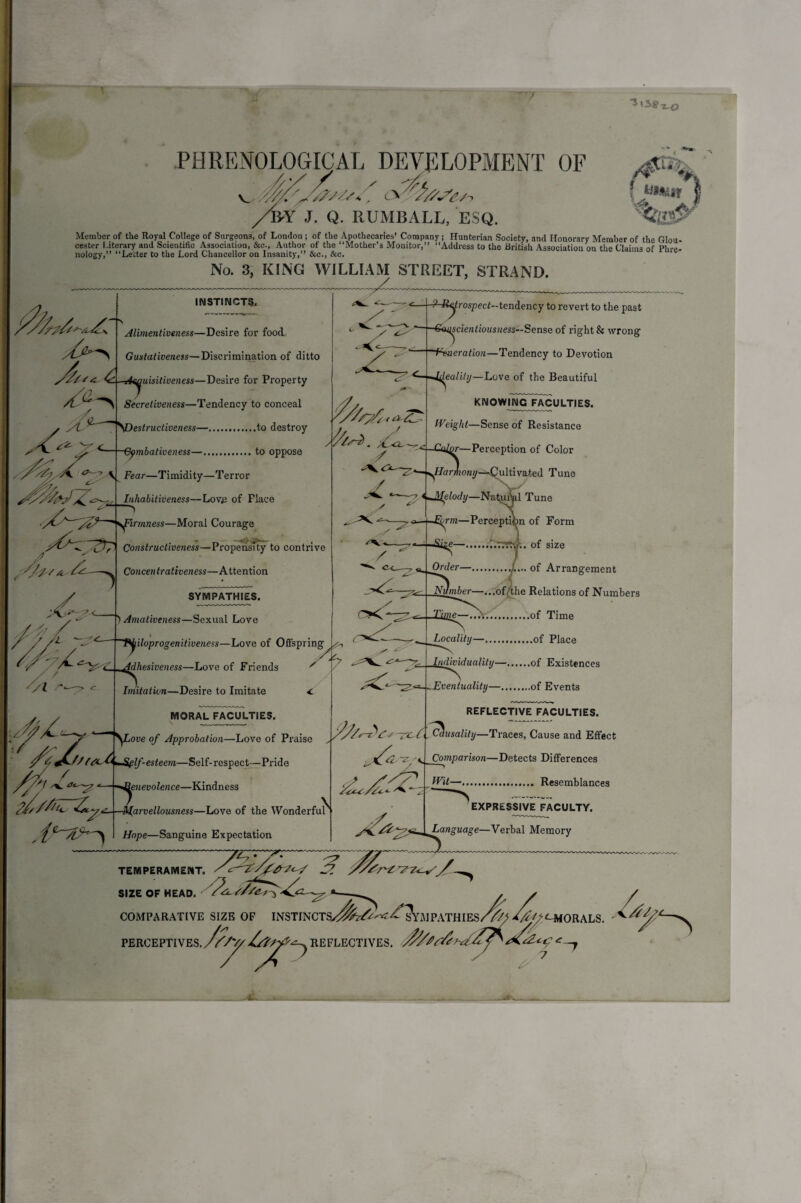 “5(38 -*-o r PHRENOLOGICAL DEVELOPMENT OF W 3. Q. IIUMBALL, ESQ. /F-v f MH&if Member of the Royal College of Surgeons, of London ; of the Apothecaries’ Company; Hunterian Society, and Honorary Member of the Glou¬ cester Literary and Scientific Association, See., Author of the “Mother’s Monitor,” “Address to the British Association on the Claims of Phrc mvlnn-vr >> tn H,b r nr,I Chnnnpllnr nn TnumitvAnv ,Vr. C Claims 01 rUie- nology, ‘Letter to the Lord Chancellor on Insanity,” &c., &c. No. 3, KING WILLIAM STREET, STRAND. INSTINCTS. Alimentiveness—Desire for food, Gustativeness—Discrimination of ditto uisitiveness—Desire for Property Secretiveness—Tendency to conceal yl ^ ' Destructiveness—.to destroy S' v- ^-Gpmbativeness—.to oppose V Fear—Timidity—Terror Inhabitiveness—Lovje of Place A \/y-^~~\^Firmness—Moral Courage Constructiveness—Propensity to contrive Concentrativeness—Attention y&YSr,i SYMPATHIES. Amativeness—Sexual Love I lyiloprogenitiveness—Love of Offspring dhesiveness—Love of Friends Imitation—Desire to Imitate MORAL FACULTIES. ove of Approbation—Love of Praise if fScAtrSplf-esteem—Self-respect—Pride , *1 /'v “— ■>»Benevolence—Kindness tu/srZy, £-]— arvelbumess—Love of the Wonderful* Hope—Sanguine Expectation * Ganscientiousness— Sense of right & wrong Generation—Tendency to Devotion ^-A^leality—Love of the Beautiful knownvicTaculties. Weight—Sense of Resistance '^-Caijjr—Perception of Color — XHarmony—Cultivated Tune ^Melody—NaAm'fcl Tune itrospect-tendency to revert to the past ——E^rm—Perception of Form «——Si^e—.r.Trft'.f.. of size Order—../.... of Arrangement ^ Number—...of the Relations of Numbers e—..Nr.of Time Locality—.of Place Individuality—.of Existences -Eventuality—.of Events REFLECTIVE FACULTIES. ,2?/^ d's'~2PCtLC^usality—Traces, Cause and Effect Comparison—Detects Differences Wit—. Resemblances ’expressive faculty. Language—Verbal Memory TEMPERAMENT. ' SIZE OF HEAD. ^ ^<2^ COMPARATIVE SIZE OF INSTINCTSyi^^^^?VMPATHIES/^ -4^<-M0RALS. PERCEPTIVES. /?/*//.REFLECTIVES. ■$/*£& L