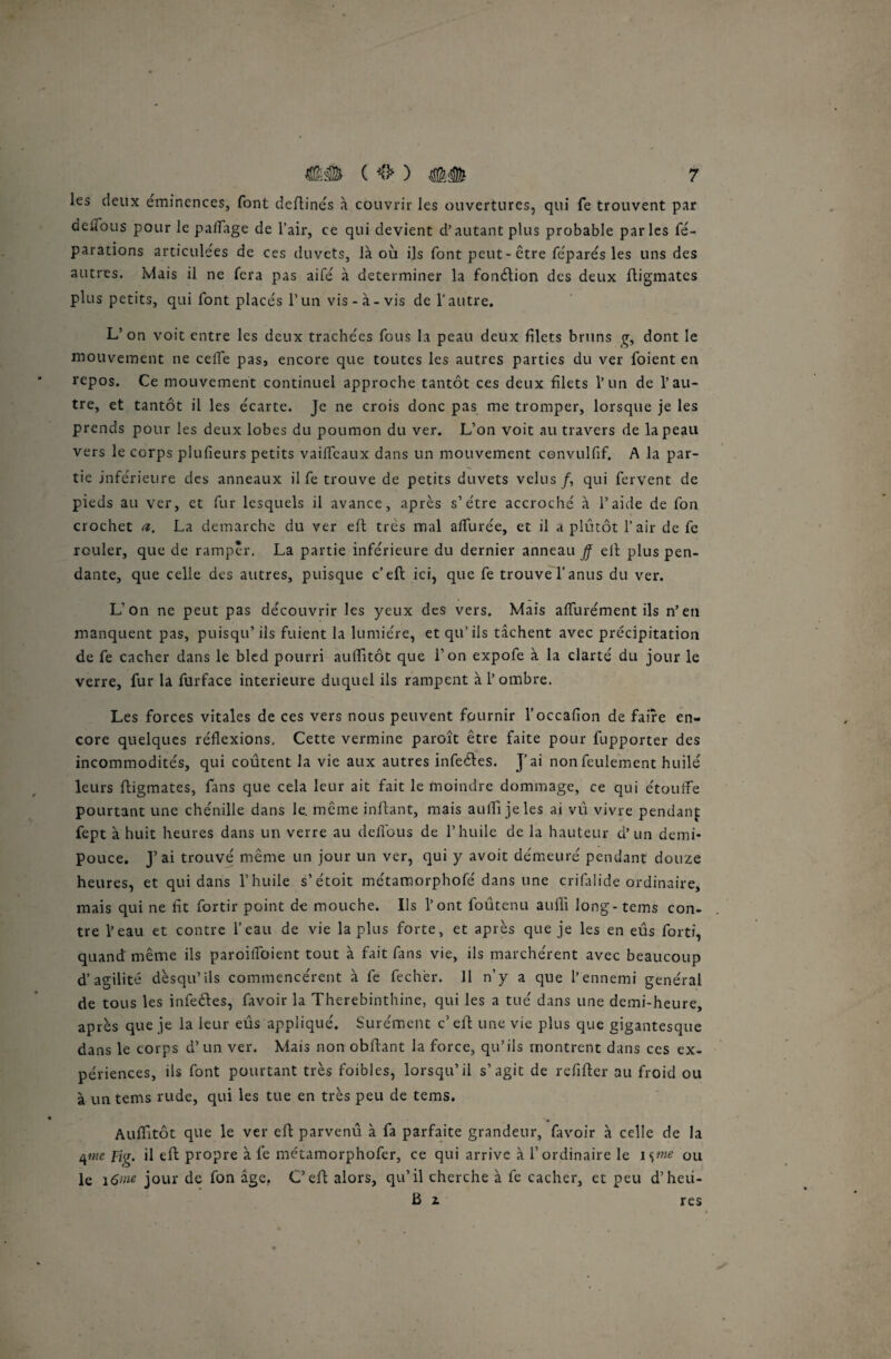 les deux éminences, font deftinés à couvrir les ouvertures, qui fe trouvent par deffous pour le paffage de l’air, ce qui devient d’autant plus probable parles ré¬ parations articulées de ces duvets, là où ils font peut-ctre réparés les uns des autres. Mais il ne rera pas aifé à déterminer la fonélion des deux ftigmatcs plus petits, qui font placés l’un vis-à-vis de l’autre. L’on voit entre les deux trachées fous la peau deux filets bruns g, dont le mouvement ne ce fie pas, encore que toutes les autres parties du ver l'oient en repos. Ce mouvement continuel approche tantôt ces deux filets l’un de l’au¬ tre, et tantôt il les écarte. Je ne crois donc pas me tromper, lorsque je les prends pour les deux lobes du poumon du ver. L’on voit au travers de la peau vers le corps plufieurs petits vaifleaux dans un mouvement convulfif. A la par¬ tie inférieure des anneaux il fe trouve de petits duvets velus/, qui fervent de pieds au ver, et fur lesquels il avance, après s’être accroché à l’aitie de fon crochet a. La démarché du ver eft très mal afiùrée, et il a plutôt l’air de fe rouler, que de ramper. La partie inférieure du dernier anneau fi ell plus pen¬ dante, que celle des autres, puisque c’eft ici, que fe trouve l’anus du ver. L’on ne peut pas découvrir les yeux des vers. Mais aflùrément ils n’en manquent pas, puisqu’ils fuient la lumière, et qu’ils tâchent avec précipitation de fe cacher dans le bled pourri auflitôt que l’on expofe à la clarté du jour le verre, fur la furface intérieure duquel ils rampent à l’ombre. Les forces vitales de ces vers nous peuvent fournir l’occafion de faire en¬ core quelques réflexions. Cette vermine paroît être faite pour fupporter des incommodités, qui coûtent la vie aux autres infeéles. J’ai non feulement huilé leurs ftigmates, fans que cela leur ait fait le moindre dommage, ce qui étouffe pourtant une chénille dans le. même infant, mais aufii je les ai vû vivre pendant fept à huit heures dans un verre au defious de l’huile de la hauteur d’un demi- pouce. J’ai trouvé même un jour un ver, qui y avoit demeuré pendant douze heures, et qui dans l’huile s’étoit métamorphofé dans une crifalide ordinaire, mais qui ne fit fortir point de mouche. Ils l’ont foûtenu aufii long-tems con¬ tre l’eau et contre l’eau de vie lapins forte, et après que je les en eus forti, quand même ils paroiflbient tout à fait fins vie, ils marchèrent avec beaucoup d’agilité dèsqu’ils commencèrent à fe fechèr. 11 n’y a que l’ennemi général de tous les infeéles, favoir la Therebinthine, qui les a tué dans une demi-heure, après que je la leur eus appliqué. Surément c’eft une vie plus que gigantesque dans le corps d’un ver. Mais non obfiant la force, qu’ils montrent dans ces ex¬ périences, ils font pourtant très foibles, lorsqu’il s’agit de refiffer au froid ou à un tems rude, qui les tue en très peu de tems. Auflitôt que le ver eft parvenu à fa parfaite grandeur, favoir à celle de la qnic Fiç. il eft propre à fe métamorphofer, ce qui arrive à l’ordinaire le isme ou le 16>ne jour de fon âge. C’eft alors, qu’il cherche à fe cacher, et peu d’heii- B z res