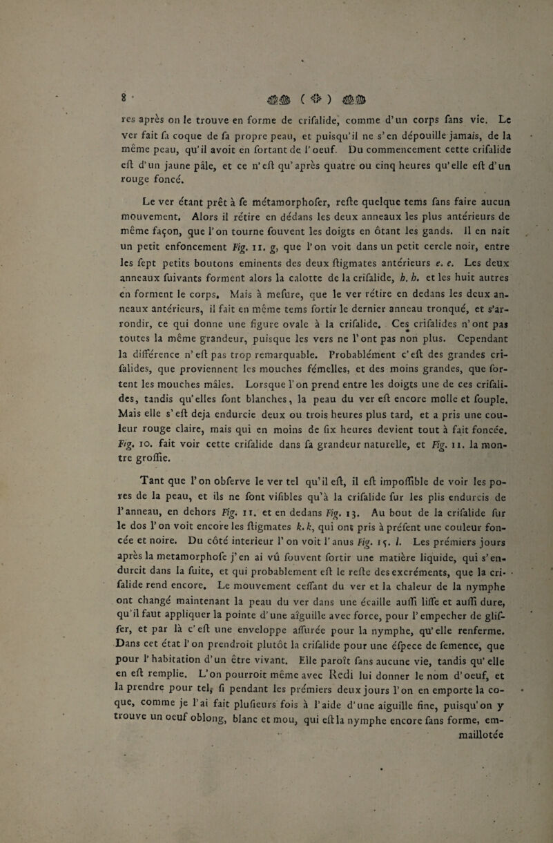 res après on le trouve en forme de crifalide, comme d’un corps fans vie. Le ver fait fa coque de fa propre peau, et puisqu’il ne s’en dépouille jamais, de la même peau, qu’il avoit en fortant de l’oeuf. Du commencement cette crifalide efl d’un jaune pâle, et ce n’efl qu’après quatre ou cinq heures qu’elle efl d’un rouge fonce'. Le ver e'tant prêt à fe métamorphofer, refie quelque tems fans faire aucun mouvement. Alors il retire en dedans les deux anneaux les plus antérieurs de même façon, que l’on tourne fouvent les doigts en ôtant les gands. Il en nait un petit enfoncement Fig. n, g, que l’on voit dans un petit cercle noir, entre les fept petits boutons eminents des deux fligmates antérieurs e. e. Les deux anneaux fuivants forment alors la calotte de la crifalide, h. b. et les huit autres en forment le corps. Mais à mefure, que le ver rétire en dedans les deux an¬ neaux antérieurs, il fait en même tems fortir le dernier anneau tronqué, et s’ar¬ rondir, ce qui donne une figure ovale à la crifalide. Ces crifalides n’ont pas toutes la même grandeur, puisque les vers ne l’ont pas non plus. Cependant la différence n’ eft pas trop remarquable. Probablément c’efl des grandes cri¬ falides, que proviennent les mouches fémelles, et des moins grandes, que for¬ cent les mouches mâles. Lorsque l’on prend entre les doigts une de ces crifali¬ des, tandis qu’elles font blanches, la peau du ver efl encore molle et fouple. Mais elle s’efl déjà endurcie deux ou trois heures plus tard, et a pris une cou¬ leur rouge claire, mais qui en moins de fix heures devient tout à fait foncée. Fig, io. fait voir cette crifalide dans fa grandeur naturelle, et Fig. n. la mon¬ tre groffie. Tant que l’on obferve le ver tel qu’il efl, il efl impoffible de voir les po¬ res de la peau, et ils ne font vifibles qu’à la crifalide fur les plis endurcis de l’anneau, en dehors Fig. n. et en dedans Fig. 13. Au bout de la crifalide fur le dos l’on voit encore les fligmates k. k, qui ont pris àpréfent une couleur fon¬ cée et noire. Du côté intérieur 1’ on voit l’anus Fig. iç. I. Les prémiers jours apres la metamorphofe j’en ai vû fouvent fortir une matière liquide, qui s’en¬ durcit dans la fuite, et qui probablement efl le refie des excréments, que la cri* falide rend encore. Le mouvement ceffant du ver et la chaleur de la nymphe ont changé maintenant la peau du ver dans une écaille aulli liffe et auffi dure, qu’il faut appliquer la pointe d’une aiguille avec force, pour l’empecher de glif- fer, et par là c’efl une enveloppe affiliée pour la nymphe, qu’elle renferme. Dans cet état l’on prendroit plutôt la crifalide pour une éfpece de femence, que pour l’habitation d’un être vivant. Elle paroît fans aucune vie, tandis qu’elle en efl remplie. L’on pourroit même avec Redi lui donner le nom d’oeuf, et la prendre pour tel* fi pendant les prémiers deux jours l’on en emporte la co¬ que, comme je l’ai fait plufieurs fois à l’aide d’une aiguille fine, puisqu’on y trouve un oeuf oblong, blanc et mou, qui efl la nymphe encore fans forme, em¬ maillotée