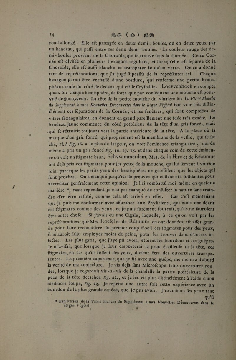 H rond allongé. Elle eft partagée en deux demi - boules, ou en deux yeux par un bandeau, qui pafTe entre ces deux demi-boules. La couleur rouge des de¬ mi-boules provient de la Choroïde, qui fe trouve fous la Cornée. Cette Cor¬ née eft divifée en plusieurs hexagons réguliers, et lorsqu’elle eft feparée de la Choroïde, elle eft aufti blanche et transparente qu’un verre. On en a donné tant de repréfentations, que j’ai jugé fuperflû de la repréfenter ici. Chaque hexagon paroit être enchaffé d’une bordure, qui renferme une petite hémis¬ phère creufe du côté de dedans, qui eft le Cryftallin. Loewenhoek en compte 4000. fur chaque hémisphère, de forte que par conféquent une mouche eft pour¬ vue de 8ooo..yeux. La tête de la petite mouche du vinaigre fur la Vipne planche du Supplément à mes Nouvelles Découvertes dans le Régne Végétal fait voir très diftin* élément ces féparations de la Cornée; et les fenêtres, qui font compofées de vitres fexangulaires, en donnent en grand pareillement une idée très exaéle. Le bandeau jaune commence du côté poftérieur de la tête d’un gris foncé, mais qui fe rétroicit toujours vers la partie antérieure de la tête. A la place où la marque d’un gris foncé, qui proprement eft la membrane de la vellïe, qui fe fe- che, Pi J. Fig♦ ié. a le plus de largeur, on voit l’éminence triangulaire , qui de même a pris un gris foncé Fig. 16. 17. jg. et dans chaque coin de cette éminen¬ ce on voit un ftigmate brun. Schvvammerdam, Mrs. de la Hire et de Réaumur ont déjà pris ces ftigmates pour les yeux de la mouche, qui lui fervent à voir*de loin, parceque les petits yeux des hémisphères ne groffiifent que les objets qui font' proches. On a manqué jusqu’ici de preuves qui euifent été fuffifantes pour accréditer généralement cette opinion. Je l’ai combattu moi même en quelque manière *, mais cependant, je n’ai pas manqué de confulter la nature fans crain¬ dre d’en être réfuté, comme cela eft arrivé en effet. Car c’eft maintenant que je puis me conformer avec alfurance aux Phyficiens, qui nous ont décrit ces ftigmates comme des yeux, et je puis furément foutenir, qu’ils ne fauroient être autre chofe. Si j’avois eu une Cigale, laquelle, à ce qu’on voit par les repréfentations, que Mrs. Roefe! et de Réaumur en ont données, eft affés gran¬ de pour faire reconnoître du premier coup d’oeil ces ftigmates pour des yeux, il m’auroit fallu employer moins de peine, pour les trouver dans d’autres in- feéfes. Les plus gros, que j’aye pû avoir, étoient les bourdons et les guêpes. Je m’avifai, que lorsque je leur emporterai la peau écaillcufe de la tête, ces ftigmates, en cas qu’ils fuïfent des yeux, duffent être des ouvertures transpa¬ rentes. La première expérience, que je fis avec une guêpe, me montra d’abord la vérité de ma conjecture. Je vis déjà fans Microfcope trois ouvertures ron¬ des, lorsque je regardois vis-à-vis delà chandelle la partie poftérieure de la peau de la tête détachée Fig. 22., et je les vis plus diftinélément à l’aide d’une médiocre loupe, Fig, 23, Je répétai une autre fois cette expérience avec un bourdon de la plus grande espèce, que je-pus avoir. J’examinois fes yeux tant qu’il * Explication de là Vllme Planche du Supplément à mes Nouvelles Découvertes dans le Régné Végétal.