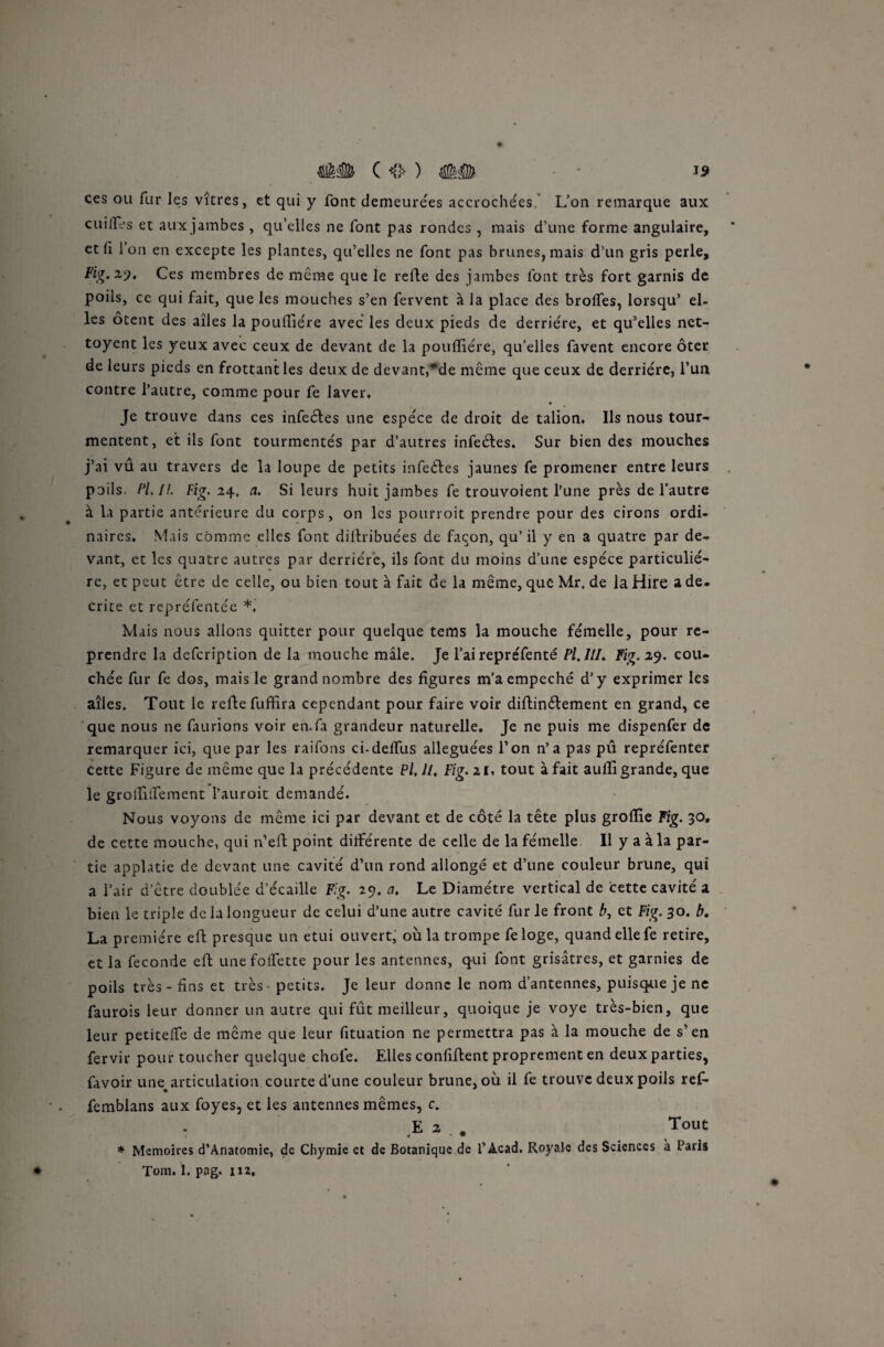 ces ou fur les vîtres, et qui y font demeurées accrochées L’on remarque aux cuifles et aux jambes , qu’elles ne font pas rondes , mais d’une forme angulaire, et 11 l’on en excepte les plantes, qu’elles ne font pas brunes, mais d’un gris perle, Fig. 2y. Ces membres de même que le refie des jambes font très fort garnis de poils, ce qui fait, que les mouches s’en fervent à la place des brolfes, lorsqu’ el¬ les ôtent des ailes la poulliére avec les deux pieds de derrière, et qu’elles nct- toyent les yeux avec ceux de devant de la poufliére, qu’elles favent encore ôter de leurs pieds en frottant les deux de devant,*de même que ceux de derrière, l’un contre l’autre, comme pour fe laver. Je trouve dans ces infeéfes une espèce de droit de talion. Ils nous tour¬ mentent, et ils font tourmentés par d’autres infetfies. Sur bien des mouches j’ai vû au travers de la loupe de petits infeétes jaunes fe promener entre leurs poils. Fin. Fig. 24. a. Si leurs huit jambes fe trouvoient l’une près de l’autre à la partie antérieure du corps, on les pourroit prendre pour des cirons ordi¬ naires, Mais comme elles font difiribuées de façon, qu’il y en a quatre par de¬ vant, et les quatre autres par derrière, ils font du moins d’une espèce particuliè¬ re, et peut être de celle, ou bien tout à fait de la même, que Mr. de la Hire a de. crite et rcpréfentée *, Mais nous allons quitter pour quelque tems la mouche fémelle, pour re¬ prendre la defcription de la mouche mâle. Je l’ai repréfenté Pl.lll. Fig. 29. cou¬ chée fur fe dos, mais le grand nombre des figures m’aempeché d’y exprimer les ailes. Tout le refie fuffira cependant pour faire voir difiin&ement en grand, ce que nous ne faurions voir en. fa grandeur naturelle. Je ne puis me dispenfer de remarquer ici, que par les raifons ci-defllis alléguées l’on n’a pas pû repréfenter cette Figure de même que la précédente Fl, U. Fig. ai, tout à fait aufii grande, que le grofiùfement l’auroit demandé. Nous voyons de même ici par devant et de côté la tête plus groflie Fig. 30. de cette mouche, qui n’efi point différente de celle de la fémelle II y a à la par¬ tie applatie de devant une cavité d’un rond allongé et d’une couleur brune, qui a l’air d’être doublée d’écaille Fig. 29. a. Le Diamètre vertical de cette cavité a bien le triple de la longueur de celui d’une autre cavité fur le front b, et Fig. 30. b. La première eft presque un etui ouvert, où la trompe feloge, quand elle fe retire, et la fécondé efi une foifette pour les antennes, qui font grisâtres, et garnies de poils très - fins et très petits. Je leur donne le nom d’antennes, puisque je ne faurois leur donner un autre qui fût meilleur, quoique je voye très-bien, que leur petiteffe de même que leur fituation ne permettra pas à la mouche de s’en fervir pour toucher quelque choie. Elles confifient proprement en deux parties, favoir une. articulation courte d’une couleur brune, où il fe trouve deux poils ref- femblans aux foyes, et les antennes mêmes, c. E 2 . # Tout * Mémoires d’Anatomie, de Chymie et de Botanique de l’Acad. Royale des Sciences à Paris Tom. 1. pag. 112,