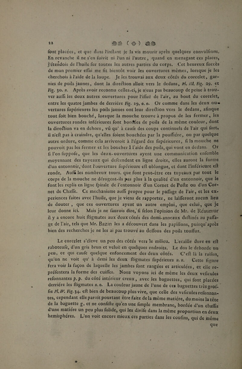 font placées, et que dans l’inftant je lavis mourir après quelques convulfions. En revanche il ne s’en fuivit ni l’un ni l’autre , quand en menagant ces places, j’étendois de l’huile fur toutes les autres parties du corps. Cet heureux fuccès de mon premier effai me fît bientôt voir les ouvertures mêmes, lorsque je les cherchois à l’aide de la loupe. Je les trouvai aux deux côtés du corcelet, gar¬ nies de poils jaunes, dont la direction alloit vers le dedans, Fl. HL Fig. 29. et Fig. 30. n. Après avoir reconnu celles-ci, je n’eus pas beaucoup de peine à trou¬ ver auilî les deux autres ouvertures pour l’ifîlië de l’air, au bout du corcelet, entre les quatre jambes de derrière Fig. 29. 0. 0. Or comme dans les deux ou-* vertures fupérieures les poils jaunes ont leur direéfion vers le dedans, afinque tout Toit bien bouché, lorsque la mouche trouve à propos de les fermer, les ouvertures rondes inférieures font bordées de poils de la même couleur, dont la direction va en dehors, vu qu’ à caufe des coups continuels de l’air qui fort, il n’eft pas à craindre, qu’elles foient bouchées par la poufliére, ou par quelque autre ordure, comme cela arriveroit à l’égard des fupérieures, fî la mouche ne pouvoit pas les fermer et les boucher à l’aide des poils, qui vont en dedans. Or fi l’on fuppofe, que les deux, ouvertures ayent une communication enfemble moyennant des tuyeaux qui defcendent en ligne droite, elles auront la forme d’un entonnoir, dont l’ouverture fupérîeure eft oblonguc, et dont l’inférieure effc ronde. Auflâ les nombreux tours, que font peut-être ces tuyeaux par tout le corps de la mouche ne dérogent-ils pas plus à la qualité d’un entonnoir, que le font les replis en ligne fpirale de l’entonnoir d’un Cornet de Porte ou d’un Cor¬ net de Charte. Ce mechanisme auilî propre pour le partage de l’air, et les ex¬ périences faites avec l’huile, que je viens de rapporter, ne lairteront aucun lieu de douter , que ces ouvertures ayent un autre emploi, que celui, que je leur donne ici. Mais je ne faurois dire,’fl félon l'opinion de Mr. de Réaumur il y a encore huit rtigmates aux deux côtés des demi-anneaux dertinés au parta¬ ge de l’air, tels que Mr. Bazin les a découvert dans les papillons, puisqu’après bien des recherches je ne les ai pas trouvé au deffous des poils touffus. Le corcelet s’élève un peu des côtés vers le milieu. L’ecaille dure en ert raboteufe, d’un gris brun et velue en quelques endroits. Le dos le débordé un peu, ce qui caufe quelque enfoncement des deux côtés. C’eft là la raifon, qu’on ne voit qu’ à demi les deux rtigmates fupérieurs n. n. Cette figure fera voir la façon de laquelle les jambes font rangées et articulées, et elle re- préfentera la forme des cuirtes. Nous voyons ici de même les deux veficules reformantes p. p. du côté intérieur creux, avec les baguettes, qui font placées derrière les rtigmates 0. 0. La couleur jaune de l’une de ce* baguettes très grof- fiePilH. Fig. 34. ert bien de beaucoup plus vive, que celle des veficules refonnan- tes, cependant elleparoitpourtant être faite delà même matière, du moins la tête de la baguette g, et ne confirte qu’en une fimplc membrane, bordée d’un chartis d’une matière un peu plus folide, qui les divife dans la même proportion en deux hémisphères. L’on voit encore mieux ces parties dans les coufins, qui de même que ♦