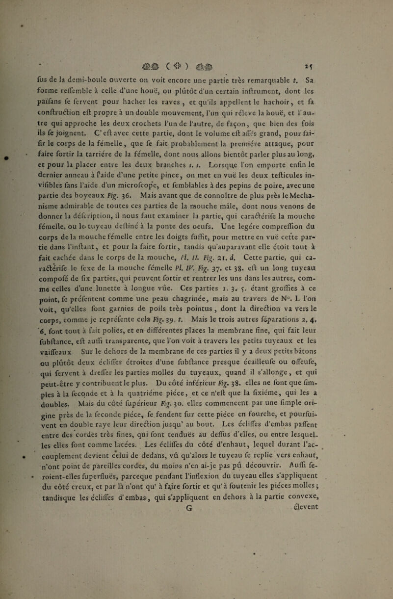 fus de la demi-boule ouverte ou voit encore une partie très remarquable t. Sa forme reffemble à celle d’une houe, ou plutôt d’un certain infiniment, dont les païfans fe fervent pour hacher les raves, et qu’ils appellent le hachoir, et fa conflruélion efl propre à un double mouvement, l’un qui réleve la houe, et l’au¬ tre qui approche les deux crochets l’un de l’autre, de façon, que bien des fois ils fe joignent. C’efl avec cette partie, dont le volume efl a fit's grand, pour fai- fir le corps de la femelle, que fe fait probablement la première attaque, pour faire fortir la tarriére de la fe'melle, dont nous allons bientôt parler plus au long, et pour la placer entre les deux branches s. s. Lorsque l’on emporte enfin le dernier anneau à faide d’une petite pince, on met en vue les deux teflicules in- vifibles fans l’aide d’un microfcope, et femblables à des pépins de poire, avec une partie des boyeaux Fig. 36. Mais avant que de connoître de plus près leMecha- nisme admirable de toutes ces parties de la mouche mâle, dont nous venons de donner la défeription, il nous faut examiner la partie, qui caraélérife la mouche femelle, ou le-tuyeau defliné à la ponte des oeufs. Une légère comprefiion du corps delà mouche femelle entre les doigts fuffit, pour mettre en vue cette par¬ tie dans l’inflant, et pour la faire fortir, tandis qu’auparavant elle étoit tout à fait cachée dans le corps de la mouche, H. //. Fig. 21. d. Cette partie, qui ca¬ raélérife le fexe de la mouche femelle Pl. IK Fig. 37. et 38. efl un long tuyeau compofé de fix parties, qui peuvent fortir et rentrer les uns dans les autres, com¬ me celles d’une lunette à longue vue. Ces parties 1. 3. ç. étant groffies à ce point, fe préfentent comme une peau chagrinée, mais au travers de NK I. l’on voit, qu’elles font garnies de poils très pointus, dont la direélion va vers le corps, comme je repréfente cela Fig. 39 t. Mais le trois autres fdparations 2. 4, ’6. font tout à fait polies, et en différentes places la membrane fine, qui fait leur fubflance, efl auffi transparente, que l’on voit à travers les petits tuyeaux et les vaiffeaux Sur le dehors de la membrane de ces parties il y a deux petits bâtons ou plutôt deux édifies étroites d’une fubflance presque écailleufe ou offeufe, qui fervent à dreffer les parties molles du tuyeaux, quand il s’allonge, et qui peut-être y contribuent le plus. Du côté inférieur Fig. 38. elles ne font que Am¬ ples à la fécondé et à la quatrième pièce, et ce n’eft que la fixiéme, qui les a doubles. Mais du côté fupérieur Fig. 30. elles commencent par une fimple ori¬ gine près de la fécondé pièce, fe.fendent fur cette pièce en fourche, et pourfui- vent en double raye leur direélion jusqu’ au bout. Les édifies d’embas partent entre des cordes très fines, qui font tendues au deflus d’elles, ou entre lesquel¬ les elles font comme lacées. Les édifies du côté d’enhaut, lequel durant l’ac- • couplement devient celui de dedans, vû qu’alors le tuyeau fe replie vers enhaut, n’ont point de pareilles cordes, du moins n’en ai-je pas pû découvrir. Auffi fe- • roient-elles fuperfluës, pareeque pendant l’inflexion du tuyeau elles s’appliquent du côté creux, et par là n’ont qu’ à faire fortir et qu’à foutenir les pièces molles; tandisque les édifies d’embas, qui s’appliquent en dehors à la partie convexe, G élevent