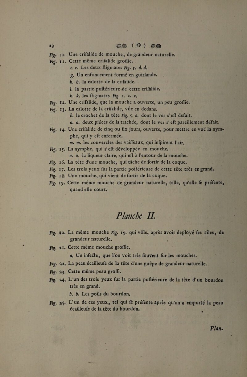 Fig. io. Une crifalide de mouche, de grandeur naturelle. Fig. il. Cette même crifalide groflie. e. e. Les deux ftigmates Fig. f. d. d. g. Un enfoncement formé en guirlande, b. b. la calotte de la crifalide. i. la partie poftérieure de cette crifalide, k. k. les ftigmates Fig. c. c. Fig. il. Une crifalide, que la mouche a ouverte, un peu groflie, Fig. 13. La calotte de la crifalide, vue en dedans. b. le crochet de la tête Fig. a. dont le ver s’eft défait, 0. 0. deux pièces de la trachée, dont le ver s’eft pareillement défait. Fig. 14. Une crifalide de cinq ou fix jours, ouverte, pour mettre en vue la nym¬ phe, qui y eft enfermée. m. m, les couvercles des vailfeaux, qui infpirent l’air, Fig. 15. La nymphe, qui s’eft développée en mouche. n. n. la liqueur claire, qui eft à l’entour de la mouche. Fig. 16, La tête d’une mouche, qui tâche de fortir de la coque. Fig, 17. Les trois yeux fur la partie poftérieure de cette tête très en grand. Fig. 18. Une mouche, qui vient de fortir de la coque. Fig. 15. Cette même mouche de grandeur naturelle, telle, qu’elle fe préfente, quand elle court. Planche IL Fig. 20. La même mouche Fig. 19, qui vole, après avoir déployé fes aîles, de grandeur naturelle. Fig. 11. Cette même mouche groflie, a. Un infeéte, que l’on voit très fouvent fur les mouches. Fig. 2i. La peau écailleufe de la tête d’une guêpe de grandeur naturelle. Fig. 23, Cette même peau grolîi. Fig. 24. L’un des trois yeux fur la partie poftérieure de la tête d’un bourdon très en grand. b. b. Les poils du bourdon, Fig. 2ï* L'un de ces yeux, tel qui fe préfente après qu’on a emporté la peau écailleufe de la tête du bourdon. Plan-