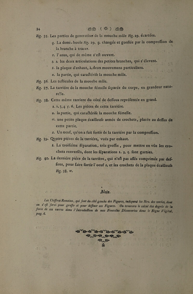 Fig. 3^. Les parties de génération de la mouche mâle Fig. 29. écartées. q. La demi - boule Fig. 29. q♦ changée et gonflée par la compreffion de la branche à tracer. r. l’anus, qui de même s’cfï ouvert. s. s. les deux articulations des petites branches, qui s’élcvent, t. la plaque d’enhaut, à.deux mouvemens particuliers, u. la partie, qui caraclérife la mouche mâle, Fig. 36. Les teflicules de la mouche mâle. Fig. 37, La tarriére delà mouche fémelle feparée du corps, en grandeur natu¬ relle. Fig. 38* Cette même tarriere du côté de deffous repréfentée en grand. 1. 1,3.4 f* 6* Ces pièces de cette tarriére. u. la partie, qui caraéférife la mouche fémelle. w. une petite plaque écailleufe armée de crochets, placée au defTus de cette partie. z. Un oeuf, qu’on a fait fortir de la tarriére par la compreffion. Fig. 39. Quatre pièces de la tarriére, vues par enhaut. t. La troifiéme féparation, très groffie , pour mettre en vue les cro¬ chets renverfés, dont les féparations 1. 3. font garnies. Fig. 40. La dernière pièce de la tarriére, qui n’eft pas affés comprimée par def- fous, pour faire fortir 1’ oeuf zf et les crochets de la plaque écailleufe Fig. 38. . .. . V . t Note. Les Chiffres Romains, qui font du côté gauche des Figures, indiquent les Nro. des verres, dont on s ejî fervi pour grojjir et pour deffiner ces Figures. On trouvera le calcul des degrés de la foi ce de ces verres dans d Introduction de mes Nouvelles Découvertes dans le Régne Végétal, pag. 6.