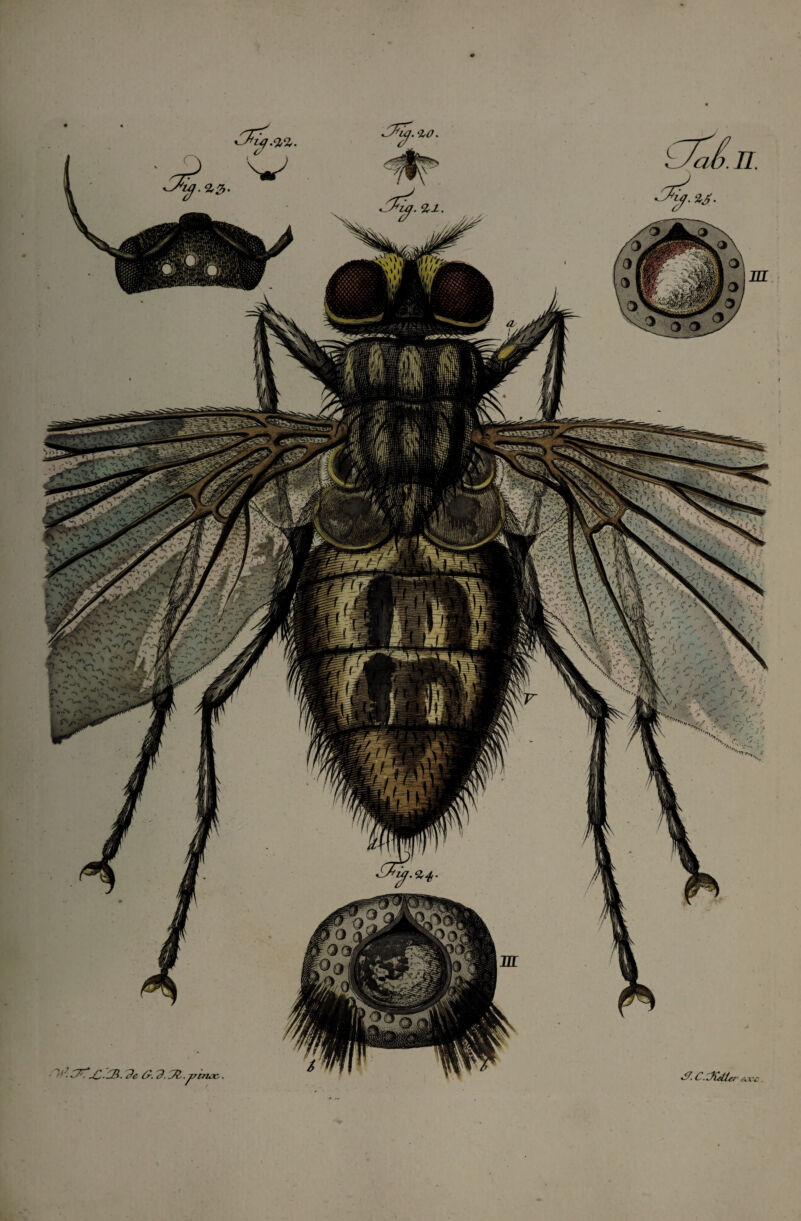 02. J.C.Jûtt* 9,0. 2,1. *r,|! ''• .y om .«■ N> .... •'/. •/V.-1? C^T^.ZR. Je Or. 3. .Æ.^Jtrue,.