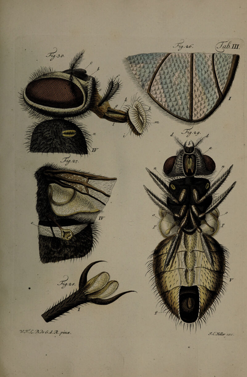 , ' ■ m >7^ mm C. JÙ1/&' ,\xe.