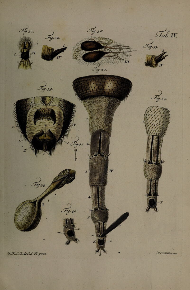 Ê//ffYf fa f f 'f Æteff f M mVÆ w./f mm