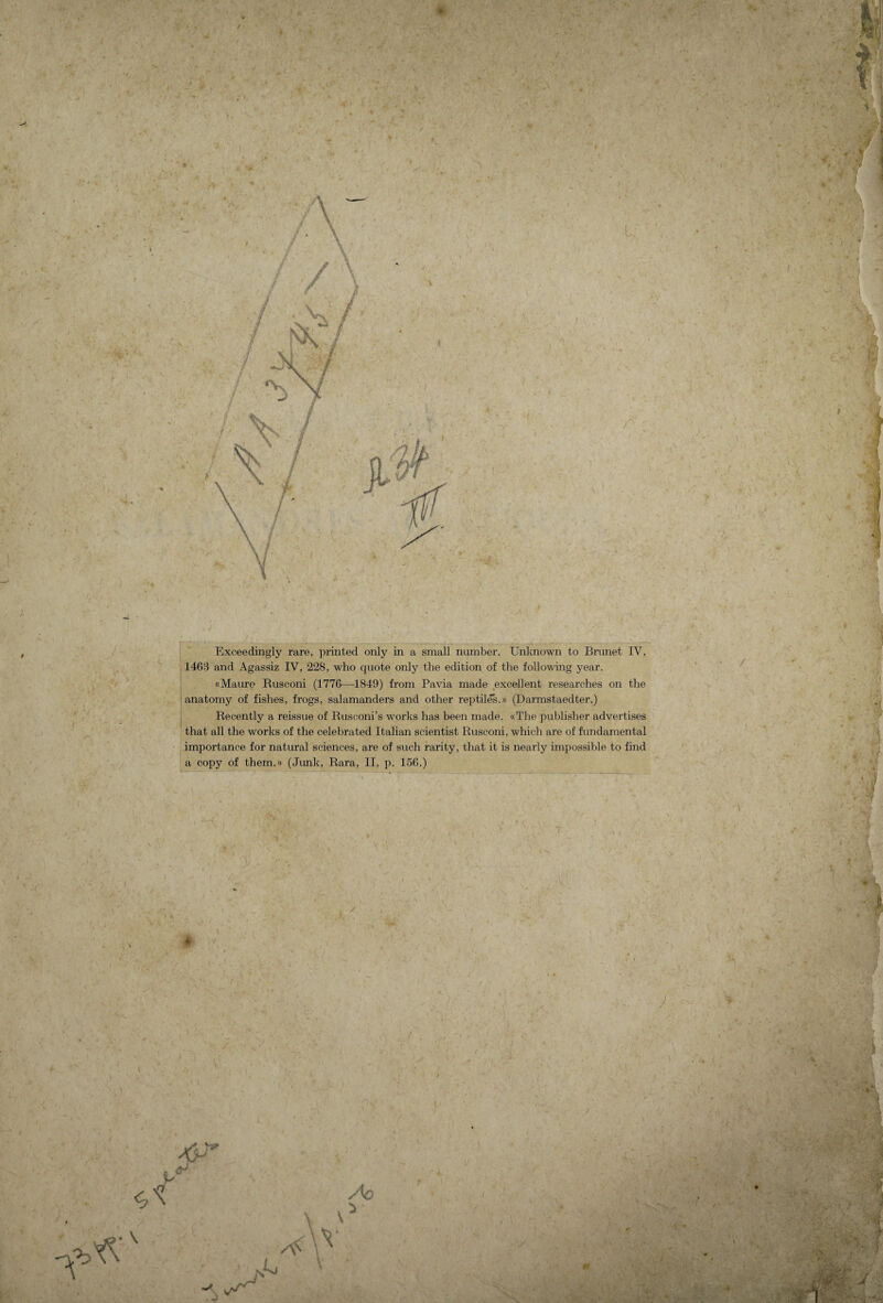 1463 and Agassiz IV, 228, who quote only the édition of the following year. «Maure Rusconi (1776—1849) from Pavia made excellent researches on the anatomy of fishes, frogs, salamanders and other reptiles.» (Darmstaedter.) Recently a reissue of Rusconi’s works has been made. «The publisher advertises that ail the works of the celebrated Italian scientist Rusconi, which are of fundamental importance for natural sciences, are of such rarity, that it is nearly impossible to find a copy of them.» (Jimk, Rara, II, p. 156.)