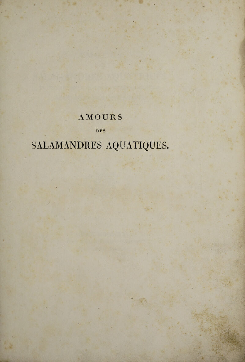 AMOURS DES SALAMANDRES AQUATIQUES. i / *