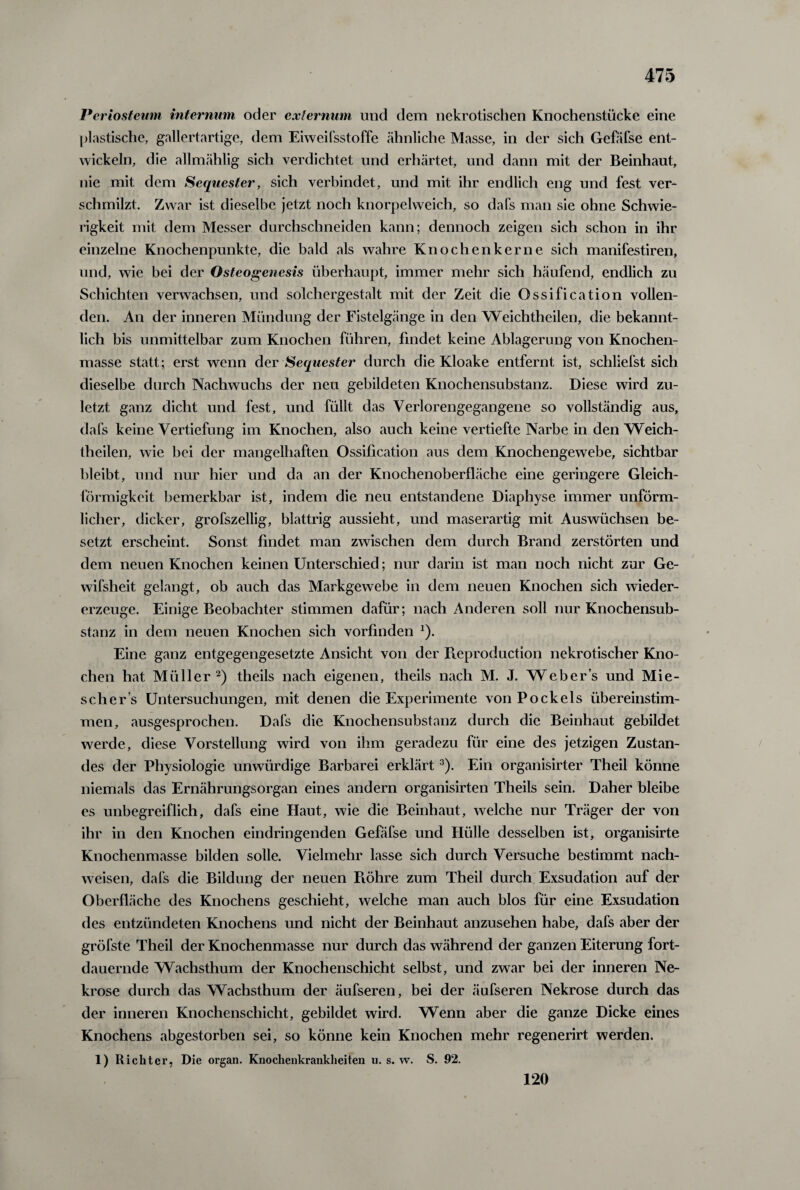 Periosteum internum oder extermim und dem nekrotischen Knochenstücke eine plastische, gallertartige, dem Eiweifsstoffe ähnliche Masse, in der sich Gefäfse ent¬ wickeln, die allmählig sich verdichtet und erhärtet, und dann mit der Beinhaut, nie mit dem Sequester, sich verbindet, und mit ihr endlich eng und fest ver¬ schmilzt. Zwar ist dieselbe jetzt noch knorpelweich, so dafs man sie ohne Schwie¬ rigkeit mit dem Messer durchschneiden kann; dennoch zeigen sich schon in ihr einzelne Knochenpunkte, die bald als wahre Knochenkerne sich manifestiren, und, wie bei der Osteogenesis überhaupt, immer mehr sich häufend, endlich zu Schichten verwachsen, und solchergestalt mit der Zeit die Ossification vollen¬ den. An der inneren Mündung der Fistelgänge in den Weichtheilen, die bekannt¬ lich bis unmittelbar zum Knochen führen, findet keine Ablagerung von Knochen¬ masse statt; erst wenn der Sequester durch die Kloake entfernt ist, schliefst sich dieselbe durch Nachwuchs der neu gebildeten Knochensubstanz. Diese wird zu¬ letzt ganz dicht und fest, und füllt das Verlorengegangene so vollständig aus, dafs keine Vertiefung im Knochen, also auch keine vertiefte Narbe in den Weich¬ theilen, wie bei der mangelhaften Ossification aus dem Knochengewebe, sichtbar bleibt, und nur hier und da an der Knochenoberfläche eine geringere Gleich¬ förmigkeit bemerkbar ist, indem die neu entstandene Diaphyse immer unförm¬ licher, dicker, grofszellig, blättrig aussieht, und maserartig mit Auswüchsen be¬ setzt erscheint. Sonst findet man zwischen dem durch Brand zerstörten und dem neuen Knochen keinen Unterschied; nur darin ist man noch nicht zur Ge- wifsheit gelangt, ob auch das Markgewebe in dem neuen Knochen sich wieder¬ erzeuge. Einige Beobachter stimmen dafür; nach Anderen soll nur Knochensub¬ stanz in dem neuen Knochen sich vorfinden J). Eine ganz entgegengesetzte Ansicht von der Pieproduction nekrotischer Kno¬ chen hat Müller2) theils nach eigenen, theils nach M. J. Webers und Mie- scher’s Untersuchungen, mit denen die Experimente vonPockels übereinstim¬ men, ausgesprochen. Dafs die Knochensubstanz durch die Beinhaut gebildet werde, diese Vorstellung wird von ihm geradezu für eine des jetzigen Zustan¬ des der Physiologie unwürdige Barbarei erklärt 3). Ein organisirter Theil könne niemals das Ernährungsorgan eines andern organisirten Theils sein. Daher bleibe es unbegreiflich, dafs eine Haut, wie die Beinhaut, welche nur Träger der von ihr in den Knochen eindringenden Gefäfse und Hülle desselben ist, organisirte Knochenmasse bilden solle. Vielmehr lasse sich durch Versuche bestimmt nach- weisen, dafs die Bildung der neuen Fiöhre zum Theil durch Exsudation auf der Oberfläche des Knochens geschieht, welche man auch blos für eine Exsudation des entzündeten Knochens und nicht der Beinhaut anzusehen habe, dafs aber der gröfste Theil der Knochenmasse nur durch das während der ganzen Eiterung fort¬ dauernde Wachsthum der Knochenschicht selbst, und zwar bei der inneren Ne¬ krose durch das Wachsthum der äufseren, bei der äufseren Nekrose durch das der inneren Knochenschicht, gebildet wird. Wenn aber die ganze Dicke eines Knochens abgestorben sei, so könne kein Knochen mehr regenerirt werden. 1) Richter, Die organ. Knochenkrankheiten u. s. w. S. 92. 120