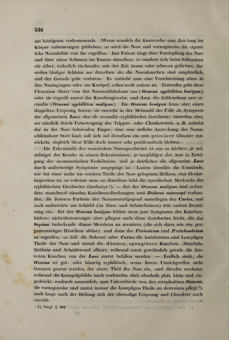 am häufigsten vorkommende. Wenn nämlich die Lustseuche eine Zeit lang im Körper unbezwungcn geblieben, so wird die Nase und vorzugsweise die eigent¬ liche Nasenhöhle von ihr ergriffen. Der Patient klagt über Verstopfung der Nase und über einen Schmerz im Innern derselben; es sondert sich beim Schnauben ein zäher, widerlich riechender, mit der Zeit braun oder schwarz gefärbter, bis¬ weilen blutiger Schleim aus derselben ab; die Nasenknochen sind empfindlich, und der Geruch geht verloren. Es entsteht nun eine Verschwärung oben in den Nasengängen oder am Knorpel, selten nach aufsen zu. Entweder geht diese IJlceration direct von der Nasenschleimhaut aus (Ozaena syphilitica benigna), oder sie ergreift zuerst das Knochengewebe, und dann die Schleimhaut erst se- cundär (Ozaena syphilitica maligna). Die Ozaena benigna kann aber einen doppelten Ursprung haben: sie entsteht in der Mehrzahl der Fälle als Symptom der allgemeinen Lues, also als secundär-syphilitisches Geschwür; bisweilen aber, wo nämlich durch Uebertragung des Tripper- oder Chankereiters, z. B. mittelst der in der Nase bohrenden Finger, eine rein örtliche Ansteckung der Nasen¬ schleimhaut Statt fand, soll sich auf derselben ein rein primärer Chanker ent¬ wickeln, obgleich diese Fälle doch immer sehr problematisch bleiben. Die Erkcnntnifs des venerischen Nasengeschwürs ist um so leichter, je auf¬ richtiger der Kranke in seinen Bekenntnissen, je sorgfältiger der Arzt in Erwä¬ gung der anamnestischen Verhältnisse, und je deutlicher die allgemeine Lues durch anderweitige Symptome ausgeprägt ist. Lassen überdies die Umstände, wie bei einer mehr im vordem Theile der Nase gelegenen Helkose, eine Ocular- inspection zu, so erkennt man an derselben bald die specifischen Merkmale des syphilitischen Geschwürs überhaupt 2). — Bei der Ozaena maligna sind aufser- dem manchmal einzelne Knochenauftreibungen und Dolores osteocopi vorhan¬ den, die festeren Partieen der Nasenwurzelgegend unterliegen der Caries, und auch anderwärts am Schädel (an Stirn- und Scheitelbeinen) tritt cariöse Zerstö¬ rung ein. Bei der Ozaena benigna fehlen zwar jene Symptome des Knochen¬ leidens; nichtsdestoweniger aber pflegen auch diese Geschwüre leicht die das Septum bedeckende dünne Membran zu zerstören (die sich dann wie ein per¬ gamentartiges Häutchen ablöst), und dann das Periosteum und Perichondrium zu ergreifen, so dafs die Nekrose oder Caries die knöchernen und knorpligen Theile der Nase und zumal die dünnen, spongiösen Knochen, Muscheln, Siebbein und Scheidewand afficirt, während sonst gewöhnlich gerade die här¬ testen Knochen von der Lues zuerst befallen werden. — Endlich sinkt, die Ozaena sei gut- oder bösartig syphilitisch, wenn ihrem Umsichgreifen nicht Grenzen gesetzt werden, der obere Theil der Nase ein, und dieselbe erscheint, während die Knorpelgebilde noch vorhanden sind, oberhalb platt, klein und ein¬ gedrückt, wodurch namentlich, zum Unterschiede von der scrophulösen Ozaena, die vorzugsweise und zuerst immer die knorpligen Theile zu destruiren pflegt3), auch lange nach der Heilung sich der ehemalige Ursprung und Charakter noch verräth. 1) Vergl. §. 282. 'i