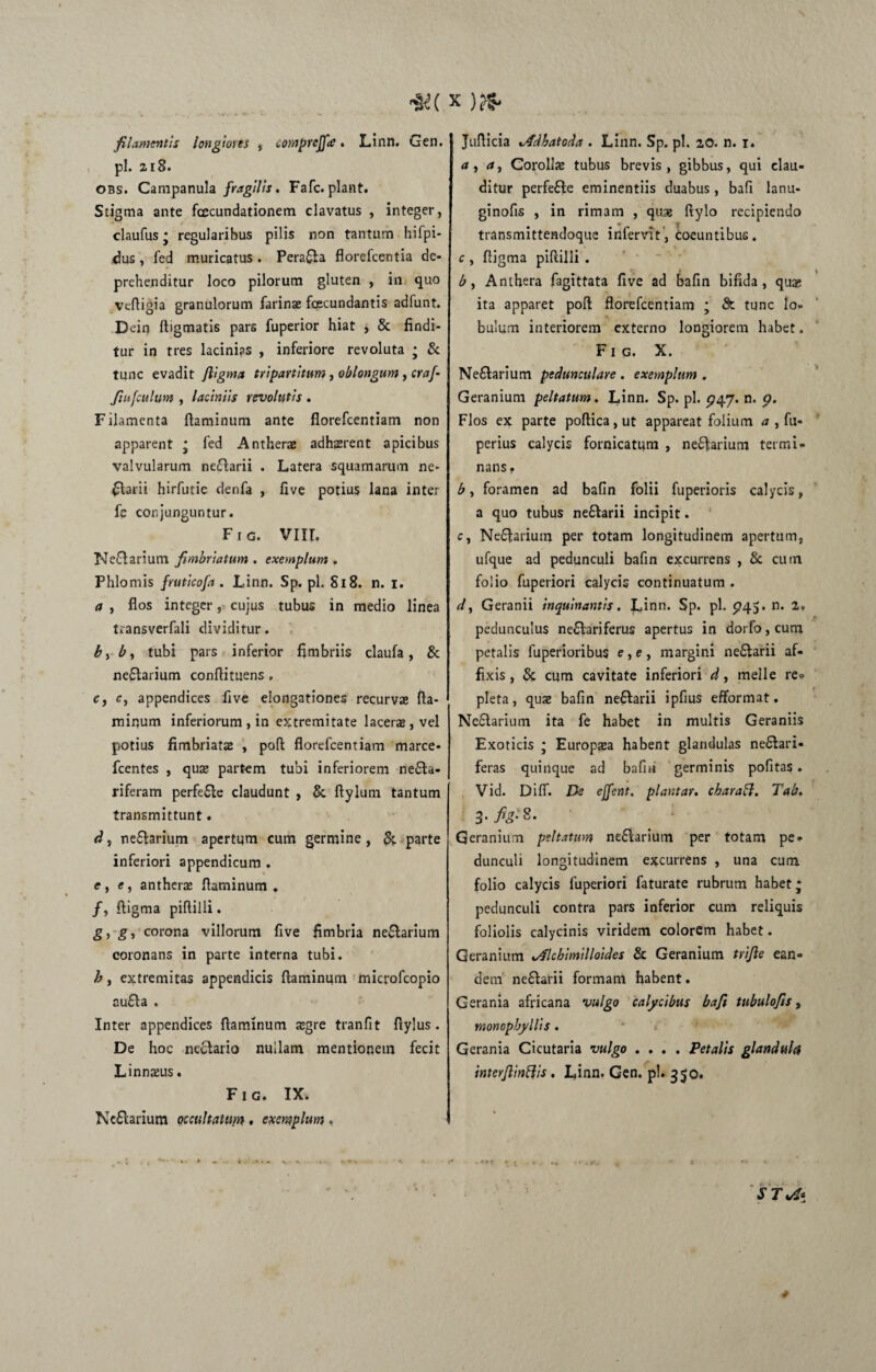 filamentis longiores , comprejfa. Linn. Gen. pl. 218. obs. Campanula fragilis. Fafc. piant. Stigma ante fcecundationem clavatus , integer, claufus • regularibus pilis non tantum hifpi- dus, fed muricatus. Pera£ia florcfcentia de¬ prehenditur loco pilorum gluten , in quo vefligia granulorum farin® fecundantis adfunt. Dein digmatis pars fuperior hiat , & findi¬ tur in tres lacinias , inferiore revoluta ; & tunc evadit fiigma tripartitum, oblongum, craf- fiu[culum , laciniis revolutis . F ilamenta flaminum ante florefcentiam non apparent • fed Anther® adhaerent apicibus valvularum nefarii . Latera squamarum ne¬ farii hirfutie denfa , five potius lana inter fe conjunguntur. Fig. VIIL Nefarium fimbriatum . exemplum . Phlomis fruticofa. Linn. Sp. pl. 818. n. 1. a , flos integer, cujus tubus in medio linea transverfali dividitur. by by tubi pars inferior fimbriis claufa, & ne£tarium conflituens . c, c, appendices five elongationes recurvae fla¬ minum inferiorum , in extremitate lacer®, vel potius fimbriatae , poft florefcentiam marce* fcentes , qu® partem tubi inferiorem ne£h- riferam perfe£le claudunt , & ftylum tantum transmittunt. d, ne£tarium apertum cum germine, & parte inferiori appendicum . e, e, anther® flaminum, /, ftigma piflilli. g, g, corona villorum five fimbria ne&arium coronans in parte interna tubi. h, extremitas appendicis flaminum microfcopio au£la . Inter appendices flaminum ®gre tranfit flylus . De hoc neclario nullam mentionem fecit Linnsus. Fig. IX. Nc£larium occultatum . exemplum , Juflicia %.4dhatoda . Linn. Sp. pl. 20. n. 1. , a, CorolI® tubus brevis, gibbus, qui clau¬ ditur perfe&e eminentiis duabus, bafi lanu- ginofis , in rimam , qu® flylo recipiendo transmittendoque infervit, coeuntibus. c, fligma piflilli . bt Anthera fagittata five ad bafin bifida, qua; ita apparet poft florefcentiam ; & tunc lo¬ bulum interiorem externo longiorem habet. Fig. X. Ne£tarium pedunculare . exemplum . Geranium peltatum. Linn. Sp. pl. ^47. n. g. Flos ex parte poftica,ut appareat folium a , fu* perius calycis fornicatum , nefarium termi¬ nans. by foramen ad bafin folii fuperioris calycis, a quo tubus ne&arii incipit. Cy Neftarium per totam longitudinem apertum, ufque ad pedunculi bafin excurrens , & cum folio fuperiori calycis continuatum . dy Geranii inquinantis. Linn* Sp. pl. 5745. n. 2, pedunculus ne&ariferus apertus in dorfo,cum petalis fuperioribus e, e, margini ne£!arii af¬ fixis, & cum cavitate inferiori dy meile re?- pleta, quse bafin neflarii ipfius efformat. NeSlarium ita fe habet in multis Geraniis Exoticis • Europaea habent glandulas nefilari- feras quinque ad bafin germinis pofitas. Vid. Difl. De ejfent. plantar. charaft. 7ab. 3. fig. 8. Geranium peltatum ne£Iarium per totam pe¬ dunculi longitudinem excurrens , una cum folio calycis fuperiori faturate rubrum habet; pedunculi contra pars inferior cum reliquis foliolis calycinis viridem colorem habet. Geranium Jflchimilloides & Geranium trijle ean¬ dem ne&arii formam habent. Gerania africana vulgo calycibus bafii tubulo/is, monopbyllis. Gerania Cicutaria vulgo .... Petalis glandula interjlinttis . Linn. Gen. pl. 350. - **? •» , ~ * rl v ST^i 0