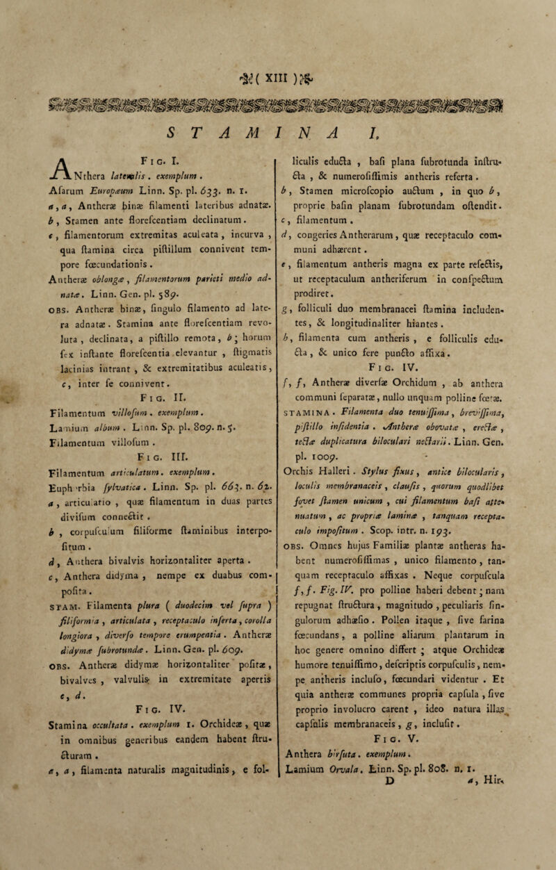 STAMINA 1, F I G. I. Nthera latimlis. exemplum. Afarum Europattm Linn. Sp. pl. 633. n. i. Antherae binae filamenti lateribus adnatae. b , Stamen ante florefeentiam declinatum. < , filamentorum extremitas aculeata , incurva , qua flamina circa piftillum connivent tem¬ pore fcecundationis . Antherae oblonga, filamentorum parieti medio ad- nata. Linn. Gen. pl. 589. obs. Antherae binae, fingulo filamento ad late¬ ra adnatae. Stamina ante florefeentiam revo¬ luta , declinata, a piftillo remota, b; horum fex inflante florefeentia elevantur , ftigmatis lacinias intrant, Sc extremitatibus aculeatis, c, inter fe connivent. F 1 g. IL Filamentum villofum . exemplum. La nium album . L an. Sp. pl. 8op. n. 5» Filamentum villofum . f 1 g. iir. Filamentum articulatum, exemplum. Euph 'rbia fylvatica . Linn. Sp. pl. 66^. n. 6z. a , articulatio , quae filamentum in duas partes divifum conneeiit . b , corpulcuium filiforme flaminibus interpo- fitum . d, A nthera bivalvis horizontaliter aperta, c, Anthera didyma , nempe ex duabus com- pofita. stam. Filamenta plura ( duodecim vel fupra ) filiformia , articulata , receptaculo inferta , corolla longiora , diverfo tempore erumpentia. Anthera didyma fubrotunda. Linn. Gen. pl. do$f. obs. Antherae didymae horizontaliter politae, bivalves , valvulis; in extremitate apertis c, d. Fig. IV. Stamina occultata, exemplum 1. Orchideae, quae in omnibus generibus eandem habent ftru- cluram . a, a, filamenta naturalis magnitudinis, e fol¬ liculis edu&a , bafi plana fubrotunda inftm- £la , & numerofiflimis antheris referta . b, Stamen microfcopio au&um , in quo b, proprie bafin planam fubrotundam oftendit. c , filamentum . d, congeries Antherarum, quae receptaculo com¬ muni adhaerent. e, filamentum antheris magna ex parte refe&is, ut receptaculum antheriferum in confpe&um prodiret. g, folliculi duo membranacei flamina includen¬ tes, Sc longitudinaliter hiantes. b, filamenta cum antheris , e folliculis edu- 61 a, &. unico fere pun£lo affixa. Fig. IV. /, /, Antherae diverfae Orchidum , ab anthera communi feparatae, nullo unquam polline fe'ae. STAMINA . Filamenta duo tenui[fima, brev:Jfimaf piftillo infidentia . .Anthera obovata , erefla , teHa duplicatura biloculari neftarii. Linn. Gen. pl. \OOp. Orchis Halleri . Stylus fixus , antice bilocularis , loculis membranaceis , claufis , quorum quodlibet fovet flamen unicum , cui filamentum bafi atte» nuatum , ac propria lamina , tanquam recepta- culo impofitum . Scop. intr. n. ipg. obs. Omnes hujus Familiae plantae antheras ha¬ bent numerofiflimas , unico filamento , tan- quam receptaculo affixas . Neque corpufcula f, f. Fig. IV, pro polline haberi debent; nam repugnat ftru&ura , magnitudo , peculiaris An¬ gulorum adhaefio . Pollen itaque , five farina fcecundans „ a polline aliarum plantarum in hoc genere omnino differt ; atque Orchideae humore tenuiflimo, deferiptis corpufculis, nem¬ pe antheris inclufo, fecundari videntur . Et quia antherae communes propria capfula , five proprio involucro carent , ideo natura illas capfalis membranaceis , g, inclufif. Fig. V. Anthera birfuta. exemplum. Lamium Orvala. Linn. Sp. pl. 808. n. 1. D *, Hfe