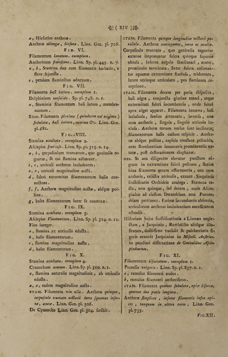 a , Hirfutics anthera. Anthera oblonga , hirfuta. Linn. Gen. pl. 71<5. Fig. VI. Filamentum lanatum, exemplum. Anthericutn frutefcens. Linn. Sp. pl, 445. n. 7. a, by Sramina duo cum filamentis. bar batis, e flore fejunfta . c , petalum flaminibus adnexum . Fig. VII. Filamenta bafi latiora, exemplum 1, Delphinium confolida . Sp. pl. 748. n. 1. a, Staminis filamentum bafi latum , membra¬ naceum . Stam. Filamenta plurima (quindecim vel triginta ) fubulata , bafi latiora , minima &c. Linn. Gen. pl.68l. Fi g.-VIII. Stamina occultata . exemplum z. Afclepias frutlcofa . Linn. Sp. pl. 315. n. 14. a, b, qorpufculum truncatum , quo genitalia te¬ guntur, & cui flamina adhaerent. c, cy utriculi antheras includentes. e, e, utriculi magnitudine au£li. d y fulcri extremitas filamentorum bafin con- ne&ens. /, /, Anthera magnitudine au£la?, abfque pol¬ line . gy bafes filamentorum inter fe connexae. Fig. IX. Stamina occultata. exemplum 3. Afclepias Vincetoxicum. Linn. Sp. pl. 314. n. 12. Flos integer. a y flamina ex utriculis edufta . b y bafis filamentorum. c y flamina magnitudine au&a . dy bafes filamentorum. Fig. X. Stamina occultata, exemplum 4. Cynanchum acutum. Linn.Sp. pl. 310. n. 1. dy flamina naturalis magnitudinis , ab utriculis edufta . dy a y eadem magnitudine au6Ia. stam. Filamenta vix ulla . Anthera: quinque , corpufculo truncato nsftarii intra fquamas infer¬ ta, acuta . Linn. Gen. pl. 306. De Cynancho Linn. Gen. pl. 304. feribit. STAM. Filamenta quinque longitudine neBarii pa¬ rallela . Anthera contingentes, intra os corolla. Corpufculo truncato , quo genitalia teguntur externe imponuntur fulcra quinque fuperne obtufa , inferne angulo femilunari , acuto , prominulo terminata. Inter fulcra collocan¬ tur squama: extremitate fcariofa , tridentata , latere utrinque utriculato , pro flaminum re¬ ceptione . stam. Filamenta decem per paria difpoflta, bafi nigra , conjun&a glutine tenaci , atque extremitati fulcri incumbentia , unde fulcri apex niger apparet. Filamenta incurva , bafi latiufcula, fenfim attenuata , inverfa , una cum antheris , fingula , fingulo utriculo in- clufa . Anthera terram verfus funt inclinata?; filamentorum bafis ccelum refpicit . Anthe¬ ra abfque polline, capfula conflant pellucida, ante florefeentiam innumeris, prominentiis no¬ tatae , poft deflorationem diaphana?. obs. Si acu diligenter elevatur pun£tum ni¬ grum in extremitate fulcri pofltum , ftatim bina filamenta arcum efformantia , una cum antheris, relidlis utriculis, exeunt. Singularis fru&ificatio Orchideis analoga . Stamina te- 61 a , non quinque, fed decem , unde Afclc- piadese ad claflem Decandriam non Pentan- driam pertinent. Farina? fcecundantis abfentia, utriculorum antheras includentium neceffitatem oflendit. Hifloriam hujus fru&ificationis a Linna?o negle- diam , a Jacquinio , Rottbollio aliifque illu- ftratam, doctiflime tradidit & pulcherrimis fi¬ guris ornavit Jacquinius in Mifcell. *4uflriac. in peculiari diflertatione de Genitalibus %/TfcU* piadearum. Fig. XI. Filamentum bifurcatum . exemplum 1. Prunella vulgaris . Linn. Sp. pl.'837. n. 1. a y ramulus filamenti nudus . by ramulus filamenti antheriferus. STAM. Filamenta quatitor fubulata, apice bifurca, quorum duo paulo longiora. Anthera Jimplices , inferta filamentis infra api¬ ces y tanquam in altero ramo . Linn. Gen» Fig.XII. y j