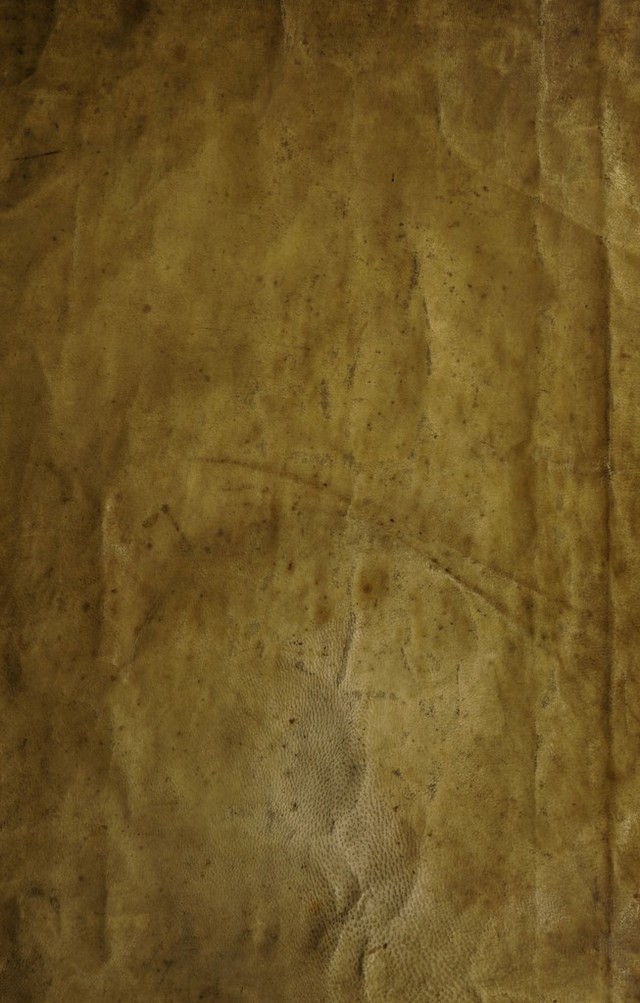 digitised image 1