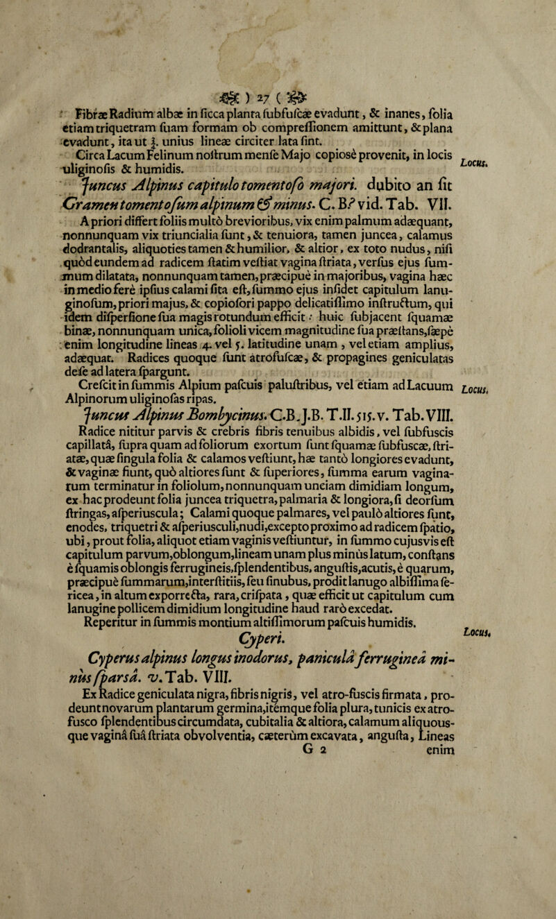 45§E ) v ( Fibrae Radium albae in ficca planra fubfufcae evadunt, & inanes, folia etiam triquetram fuam formam ob comprelfionem amittunt, & plana evadunt, ita ut J. unius lineae circiter lata fint. Circa Lacum Felinum noltrum menfe Majo copiose provenit, in locis uliginofis & humidis. Juncus Alpinus capitulo tomentofo majori, dubito an fit Grament ornent o/um alpinum £§*minus. C. B? vid. Tab. VII. A priori differt foliis multd brevioribus, vix enim palmum adaequant, nonnunquam vix triuncialia funt, & tenuiora, tamen juncea, calamus dodrantalis, aliquoties tamen & humilior, & altior, ex toto nudus, nifi quod eundem ad radicem flatim vefliat vagina flriata,verfus ejus fum- mum dilatata, nonnunquam tamen, praecipue in majoribus, vagina haec in medio fere ipfius calami fita eft,fummoejus infidet capitulum lanu- ginofum, priori majus, & copiofori pappo delicatiflimo inflruftum, qui idem difperfionefua magis rotundum efficit • huic fubjacent fquamae binae, nonnunquam unica, folioli vicem magnitudine fua praeltans,faepe enim longitudine lineas 4. vel f. latitudine unam , vel etiam amplius, adaequat. Radices quoque funt atrofufeae, & propagines geniculatas defe ad latera fpargunt. Crefcitiniummis Alpium pafcuis paluflribus, vel etiam ad Lacuum Alpinorum uliginofas ripas. Juncus Alpinus Bombycinus. OBJ.B. T.II.515.V. Tab.VIII. Radice nititur parvis & crebris fibris tenuibus albidis, vel fubfuscis capillata, fupra quam ad foliorum exortum funt fquamae fubfuscae, ftri- atae, quae fingula folia & calamos vefliunt, hae tanto longiores evadunt, & vaginae fiunt, qu£ altiores funt & fuperiores, fumma earum vagina¬ rum terminatur in foliolum, nonnunquam unciam dimidiam longum, ex hac prodeunt folia juncea triquetra, palmaria & longiora, fi deorfum flringas, afperiuscula; Calami quoque palmares, vel paul6 altiores funt, enodes, triquetri & afperiusculi,nudi,excepto proximo ad radicem fpatio, ubi, prout folia, aliquot etiam vaginis veftiuntur, in fummo cujusvis eft capitulum parvum,oblongum,lineam unam plus minus latum, conflans e fquamis oblongis ferrugineis,fplendentibus, anguflis,acutis, e quarum, praecipue fummarum,interffitiis, feu finubus, prodit lanugo albiflima fe- ricea,in altumexporre&a, rara,crifpata, quae efficit ut capitulum cum lanugine pollicem dimidium longitudine haud rar6 excedat. Reperitur in fummis montium altifllmorum pafcuis humidis. Cyperi. Cyperus alpinus longus inodorus, panicula ferruginea mi¬ nus/pars a. ^.Tab. VIII. Ex Radice geniculata nigra, fibris nigris, vel atro-fuscis firmata, pro- deuntnovarum plantarum germina,i t£mque folia plura, tunicis exatro- fusco fplendentibus circumdata, cubitalia Scaltiora, calamum aliquous- que vagina fua flriata obvolventia, caeterum excavata, angufla, Lineas G 2 enim Locus, Locus♦ Locus.