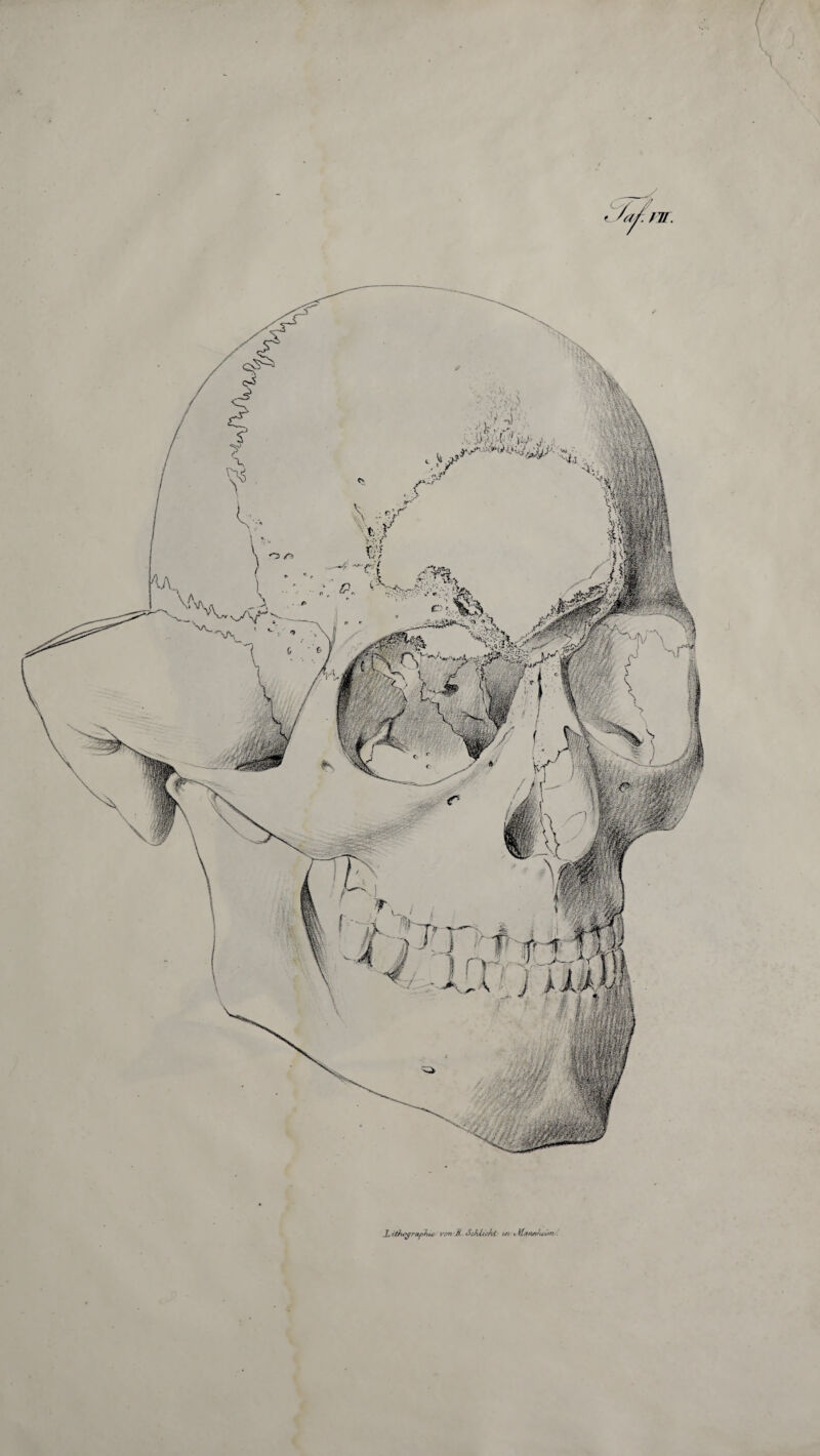 X ith^rafhu: vpnU.iScAlüÄt U7 tMa/UVuün