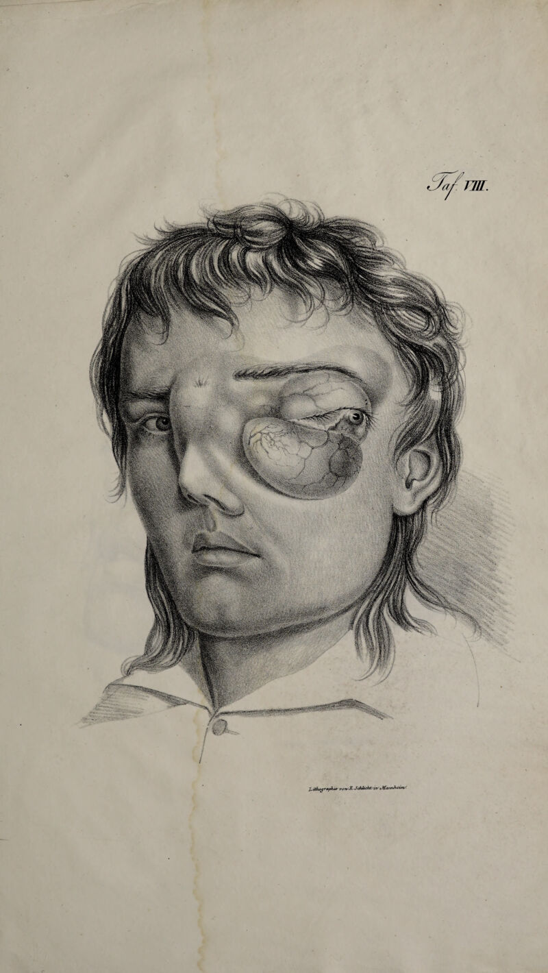 Liilwjrafhi* vonsR^MühtirttMannhcim/