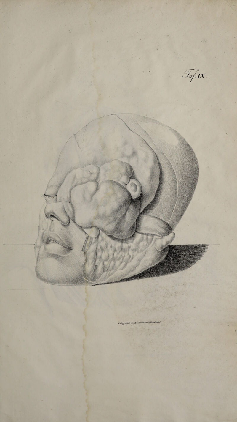 _Ltihyrtif}uv yin’jUSMM- insSjhnnhUm'