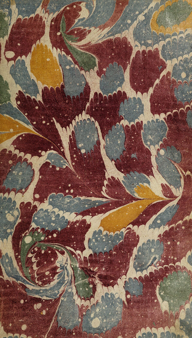 No text description is available for this image