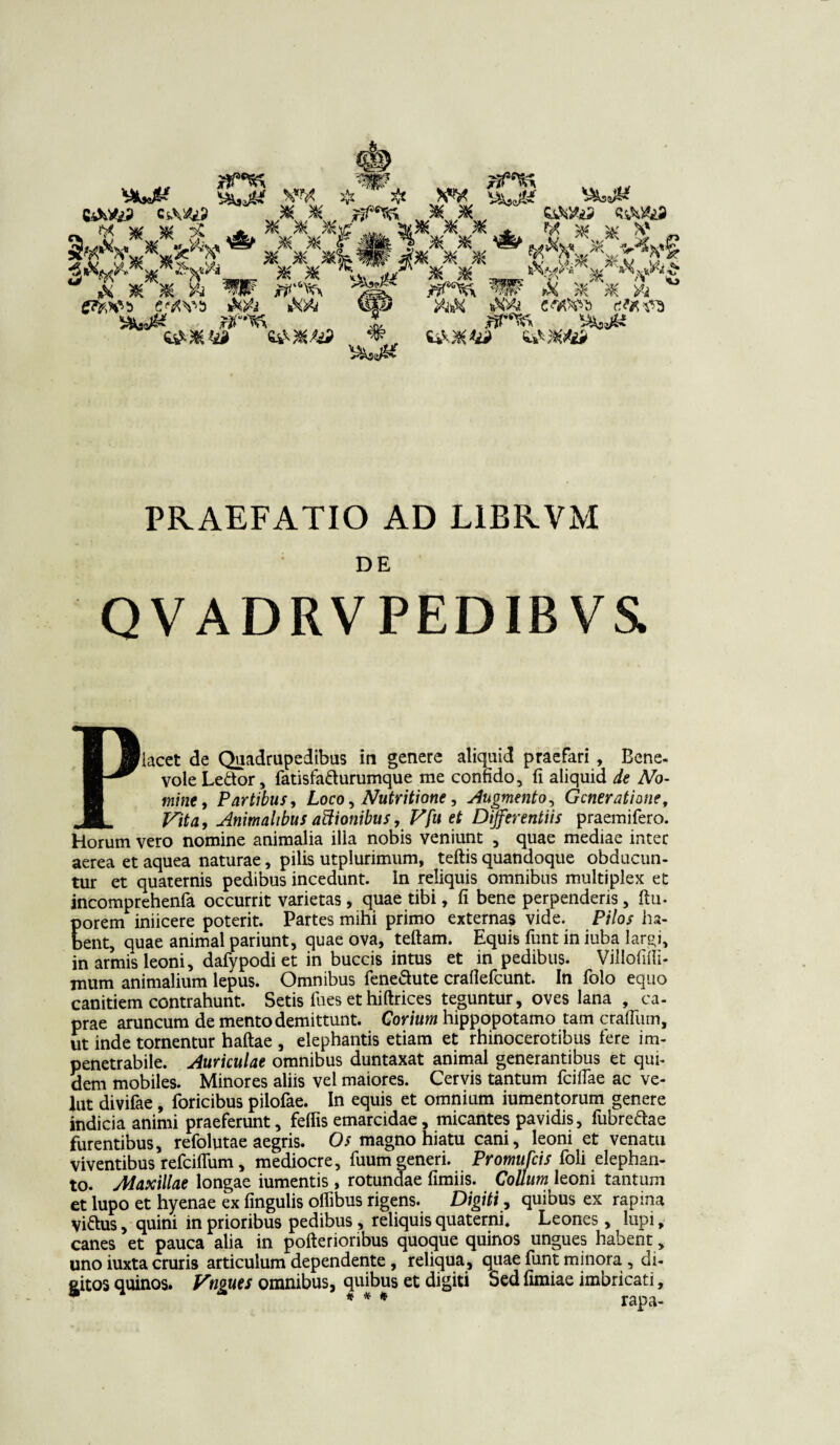 1Aj^f W & # ^ 3? *•* H W *£* Ssf.*4iJ # VMf ™ CS »JK &J£. Q&>&? <5iW rT^ W & & M y-i ttft M certe* CtKtt xT^ ^JU *&%*& <&%*& PRAEFATIO AD L1BKVM DE QVADRVPEDIBV& Placet de Quadrupedibus in genere aliquid praefari , Bene¬ vole Lector, fatisfa&urumque me confido, fi aliquid de No¬ mine f Partibus, Loco, Nutritione, Augmento^ Generatione, Vita, Animalibus aftionibus, Vfu et Offerentiis praemifero. Horum vero nomine animalia ilia nobis veniunt , quae mediae inter aerea et aquea naturae, pilis utplurimum, teftis quandoque obducun¬ tur et quaternis pedibus incedunt. In reliquis omnibus multiplex et incomprehenfa occurrit varietas, quae tibi, fi bene perpenderis, ftu- porem iniicere poterit. Partes mihi primo externas vide. Pilos ha¬ bent, quae animal pariunt, quae ova, teftam. Equis funt in iuba largi, in armis leoni, dafypodi et in buccis intus et in pedibus. Villofifii- mum animalium lepus. Omnibus feneftute crafiefcunt. In folo equo canitiem contrahunt. Setis fues et hiftrices teguntur, oves lana , ca¬ prae aruncum de mento demittunt. Corium hippopotamo tam cratium, ut inde tornentur haftae , elephantis etiam et rhinocerotibus fere im¬ penetrabile. Auriculae omnibus duntaxat animal generantibus et qui¬ dem mobiles. Minores aliis vel maiores. Cervis tantum fciflae ac ve- lut divifae, foricibus pilofae. In equis et omnium iumentorum genere indicia animi praeferunt, fefiis emarcidae, micantes pavidis, fubre&ae furentibus, refolutae aegris. Os magno hiatu cani, leoni et venatu viventibus refcifliim, mediocre, fuum generi. Promufcis foli elephan¬ to. Maxillae longae iumentis , rotundae fimiis. Collum leoni tantum et lupo et hyenae ex fingulis oflibus rigens. Digiti, quibus ex rapina Vi&us, quini in prioribus pedibus, reliquis quaterni. Leones, lupi, canes et pauca alia in pofterioribus quoque quinos ungues habent, uno iuxta cruris articulum dependente , reliqua, quae funt minora, di¬ gitos quinos. Vngues omnibus, quibus et digiti Sed fimiae imbricati,