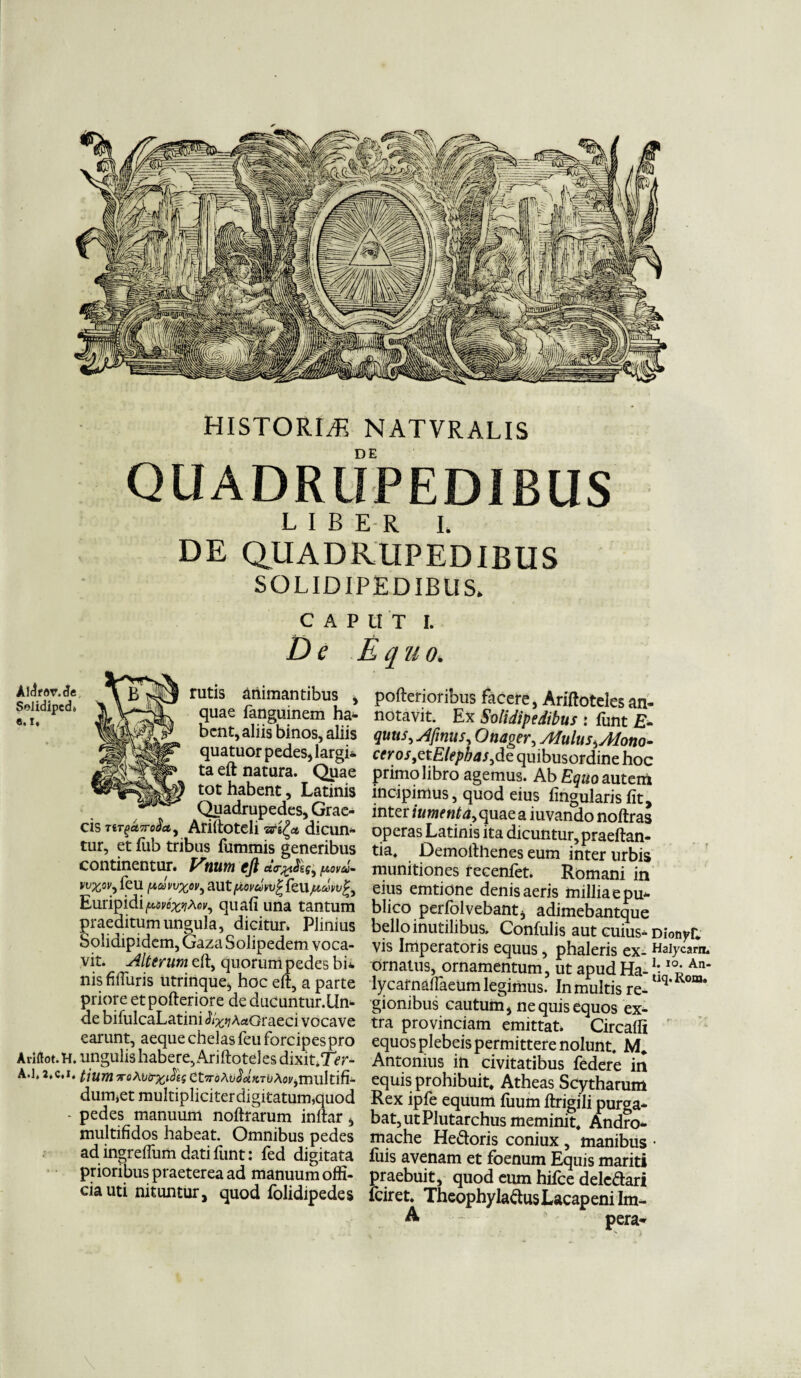 HISTORIA NATVRALIS DE QUADRUPEDIBUS LIBER I. DE QUADRUPEDIBUS SOLIDIPEDIBUS. CAPUT I. De Equo. rutis animantibus , quae fanguinem ha- tbcnt, aliis binos, aliis quatuor pedes, largi* ta eft natura. Qpae tot habent, Latinis Quadrupedes, Grae¬ cis TtT(>*7ro2ay Ariftoteli dicun¬ tur, et lub tribus fummis generibus continentur. Vtium eft citr%pava- wXfiVy feu pcovvxov, aut fiovavv£ feu Euripidiquali una tantum praeditum ungula, dicitur. Plinius Solidipidem, Gaza Solipedem voca¬ vit. Alterum eft, quorum pedes bi* nis filTuris utrinque, hoc eft, a parte priore et pofteriore de ducuntur.Un- de bifulcaLatini JV^AaGraeci vocave earunt, aeque chelas feu forcipes pro Ariflot. H. ungulis habere, Ariftoteles dixit.7>r- A.1,2.C.I. tium ToAtj<r%i$es etTroAo^jcTuAo^milltifi- dumjet muItipliciterdigitatum,quod - pedes manuum noftrarum inftar, multifidos habeat. Omnibus pedes ad ingreflum dati funt: fed digitata prioribus praeterea ad manuum offi¬ cia uti nituntur, quod folidipedes poftenoribus facere, Ariftoteles an¬ notavit. Ex Solidipedibus : funt £- quus,Afmus, Onager, AIulus^AIono- ceros ,et. Elephas,de quibusordine hoc primo libro agemus. Ab Equo auteni incipimus, quod eius lingularis fit, inter iumenta, quae a iuvando noftras operas Latinis ita dicuntur, praeftan- tia, Demofthenes eum inter urbis munitiones recenfet. Romani in eius emtione denis aeris milliaepu- blico perfolvebant, adimebantque bello inutilibus. Conlulis aut cuius* Dionyf, vis Imperatoris equus, phaleris ex- Haiycara. ornatus, ornamentum, ut apud Ha- !• An* lycarnaftaeum legimus. In multis re- Uq gionibus cautum, ne quis equos ex¬ tra provinciam emittat. Circalli equos plebeis permittere nolunt. M. Antonius in civitatibus federe in equis prohibuit. Atheas Scytharum Rex ipfe equum liium ftrigili purga¬ bat, ut Plutarchus meminit. Andro¬ mache He&oris coniux , manibus • luis avenam et fbenum Equis mariti praebuit, quod eum hifce dele&ari fciret. Theophyla&usLacapeni Im- A - pera*