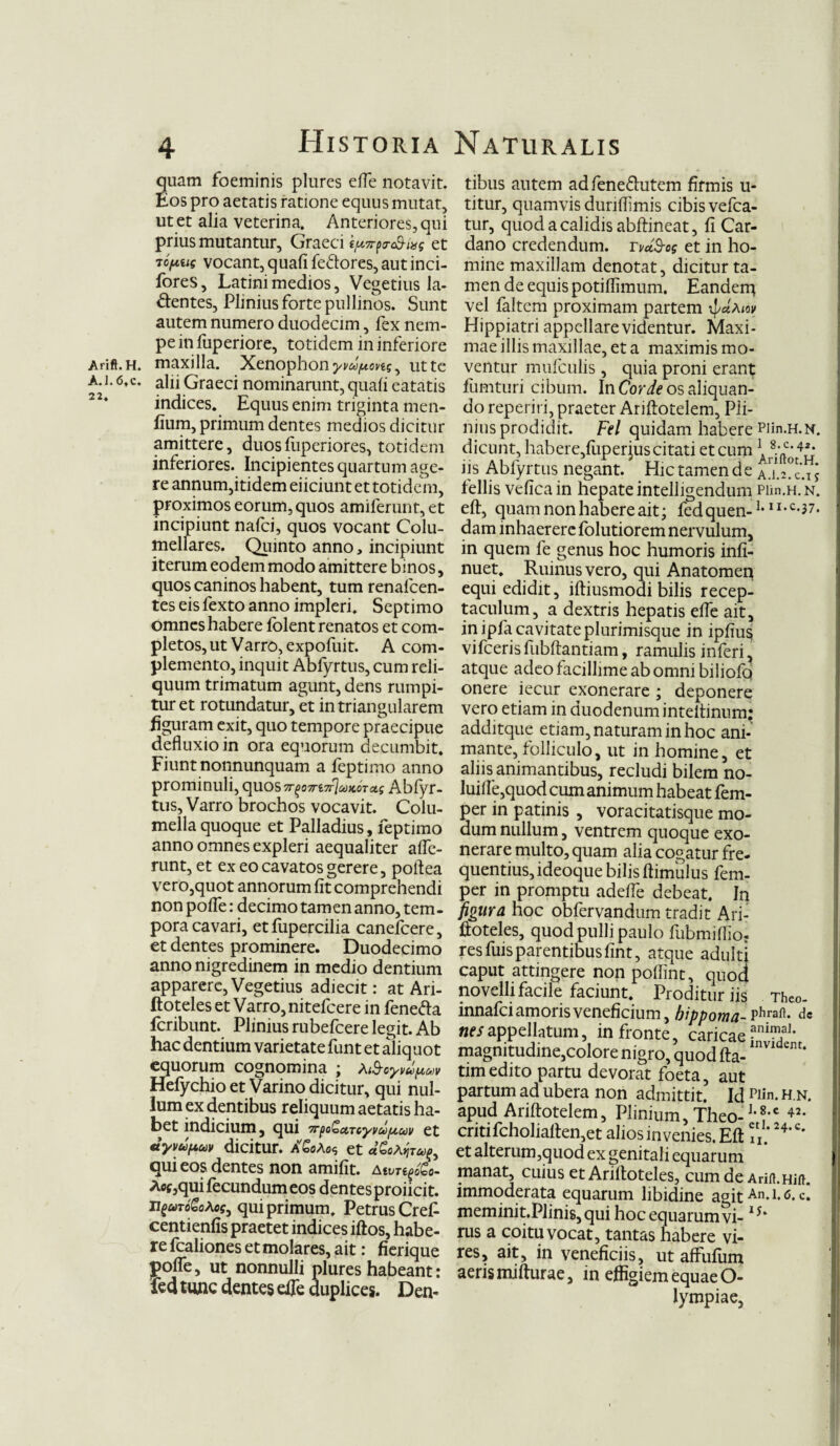 quam foeminis plures efle notavit. Eos pro aetatis ratione equus mutat, ut et alia veterina. Anteriores, qui prius mutantur, Graeci i^pa-cQ-im et repas vocant, quafi fedores, autinci- fores, Latini medios, Vegetius la- dentes, Plinius forte pullinos. Sunt autem numero duodecim, fex nem¬ pe in fuperiore, totidem in inferiore Arift.H. maxilla. Xenophon ut te aj. 6.c. aEi Graeci nominarunt, quali eatatis indices. Equus enim triginta men- fium, primum dentes medios dicitur amittere, duosfuperiores, totidem inferiores. Incipientes quartum age¬ re annum,itidem eiiciunt et totidem, proximos eorum, quos amiferunt, et incipiunt nafci, quos vocant Colu¬ mellares. Quinto anno, incipiunt iterum eodem modo amittere binos, quos caninos habent, tum renafcen- tes eis fexto anno impleri. Septimo omnes habere fblent renatos et com¬ pletos, ut Varro, expofuit. A com¬ plemento, inquit Abfyrtus, cum reli¬ quum trimatum agunt, dens rumpi¬ tur et rotundatur, et in triangularem figuram exit, quo tempore praecipue defluxio in ora equorum decumbit. Fiunt nonnunquam a feptimo anno prominuli, quos irpm.iflu*ffra.s Abfyr¬ tus, Varro brochos vocavit. Colu¬ mella quoque et Palladius, feptimo anno omnes expleri aequaliter affe¬ runt, et ex eo cavatos gerere, poftea vero,quot annorum lit comprehendi non poffe: decimo tam en anno, tem - pora cavari, etfupercilia canefcere, et dentes prominere. Duodecimo anno nigredinem in medio dentium apparere, Vegetius adiecit: at Ari- ftoteles et Varro, nitefeere in feneda feribunt. Plinius rubefeere legit. Ab hac dentium varietate funt et aliquot equorum cognomina ; AAvyvuptn Hefychio et Varino dicitur, qui nul¬ lum ex dentibus reliquum aetatis ha¬ bet indicium, qui TrpoGctTcyvuf/.uv et ayvufxuv dicitur. A'GoAo$ et qui eos dentes non amifit. Atvrt^Go- Aof ,qui fecundum eos dentes proiicit. qui primum. Petrus Crefi centienfis praetet indices iftos, habe¬ re fcaliones et molares, ait: fierique poffe, ut nonnulli plures habeant: led tunc dentes eife duplices. Den- tibus autem adfenedutem firmis u- titur, quamvis duriflimis cibis vefca- tur, quod a calidis abftineat, fi Car- dano credendum. TvdB-eg et in ho¬ mine maxillam denotat, dicitur ta¬ men de equis potiflimum. Eanderq vel faltem proximam partem Hippiatri appellare videntur. Maxi¬ mae illis maxillae, et a maximis mo¬ ventur mufculis, quia proni erant fumturi cibum. In Corde os aliquan¬ do reperiri, praeter Ariftotelem, Pli- niusprodidit. Fel quidam habere Piin.H.N. dicunt, habere,fuper jus citati et cum iis Abfyrtus negant. Hic tamen de a.U°.c.i j Cellis vefica in hepate intelhgendum Piin.H. n. eft, quam non habere ait; fedquen-1, u-c-37« dam inhaerere folutiorem nervulum, in quem fe genus hoc humoris infi- nuet. Ruinus vero, qui Anatomen equi edidit, iftiusmodi bilis recep¬ taculum, a dextris hepatis eife ait, in ipfa cavitate plurimisque in ipfius vifcerisfiibftantiam, ramulis inferi, atque adeo facillime ab omni biliofq onere iecur exonerare ; deponere vero etiam in duodenum inteltinum; additque etiam, naturam in hoc ani¬ mante, folliculo, ut in homine, et aliis animantibus, recludi bilem no- luiffe,quod cum animum habeat fem- per in patinis , voracitatisque mo¬ dum nullum, ventrem quoque exo¬ nerare multo, quam alia cogatur fre¬ quentius, ideoque bilis ftimulus fem- per in promptu adeffe debeat. In figura hoc obfervandum tradit Ari- ftoteles, quod pulli paulo fubmiflio- res fuisparentibus fint, atque adulti caput attingere non pofiint, quod novelli facile faciunt. Proditur iis Theo- innafei amoris veneficium, bippoma-¥hraft- de nes appellatum, in fronte, caricae ?ni^al* magnitudine,colore nigro, quod fta- “ ‘ timedito partu devorat foeta, aut partum ad ubera non admittit. Id Hin. h.n. apud Ariftotelem, Plinium, Theo- 1,8*c 42* criti fcholiaften,et alios invenies. Eft !i. c’ et alterum,quod ex genitali equarum manat, cuius et Ariftoteles, cum de Arifl.Hift. immoderata equarum libidine agit An.i.c. c. meminit.Plinis,qui hoc equarum vi- IJ‘ rus a coitu vocat, tantas habere vi¬ res, ait, in veneficiis, ut aflfufum aeris mifturae, in effigiem equae O- lympiae,