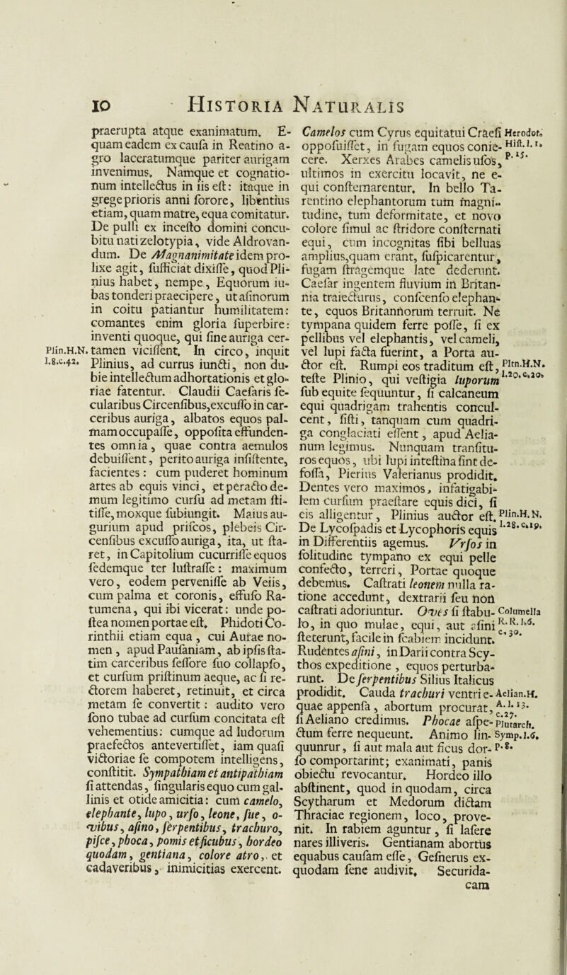 praerupta atque exanimatum, E- quam eadem ex cauia in Reatino a- gro laceratumque pariter aurigam invenimus. Namque et cognatio¬ num intelledus in iis eft: itaque in grege prioris anniforore, libentius etiam, quam matre, equa comitatur. De pulli ex incello domini concu¬ bitu nati zelotypia, vide Aldrovan- dum. De Magnanimitate idem pro¬ lixe agit, fufficiat dixilfe, quod Pli¬ nius habet, nempe . Equorum iu- bas tonderi praecipere, ut afinorum in coitu patiantur humilitatem: comantes enim gloria fuperbire: inventi quoque, qui fine auriga cer- piin.H.N.tamen vicifient. In circo, inquit 1.8.C.42. Plinius, ad currus iundi, non du¬ bie intelledum adhortationis et glo¬ riae fatentur. Claudii Caefans fe- cularibus Circenfibus,excufTo in car- ceribus auriga, albatos equos pal¬ mam occupafte, oppofita effunden¬ tes omnia, quae contra aemulos debuiflent, perito auriga infiftente, facientes: cum puderet hominum artes ab equis vinci, etperado de¬ mum legitimo curfu ad metam fti- tifie, moxque fubiungit. Maius au¬ gurium apud prifcos, plebeis Cir- cenfibus excuflb auriga, ita, ut da¬ ret, in Capitolium cucurriffe equos fedemque ter luftrafte: maximum vero, eodem pervenifie ab Veiis, cum palma et coronis, effufo Ra- tumena, qui ibi vicerat: unde po- ftea nomen portae eft, Phidoti Co¬ rinthii etiam equa , cui Aurae no¬ men , apud Paufaniam, ab ipfis fta- tim carceribus feflore fuo collapfo, et curfum priftinum aeque, ac li re- dorem haberet, retinuit, et circa metam fe convertit: audito vero fono tubae ad curfum concitata eft vehementius: cumque ad ludorum praefedos antevertifiet, iamquafi vidoriae fe compotem intelligens, conftitit. Sympathiam et antipathiam fi attendas, lingularis equo cum gal¬ linis et otide amicitia: cum camelo, elephante, lupo, ar/o, leone, /i/e, 0- wibus, afino, ferpentibus, tracburo, pijce, phoca, pomis etficubus, hordeo quodam, gentiana, colore atro,, et cadaveribus, inimicitias exercent. Camelos cum Cyrus equitatui Craefi Herodof. oppofuiffet, in fugam equos conie-Hifl,I,u cere. Xerxes Arabes camelisulbs,p' *5‘ ultimos in exercitu locavit, ne e- qui confternarentur. In bello Ta¬ rentino elephantorum tum magni., tudine, tum deformitate, et novo colore fimul ac ftridore conrternati equi, cum incognitas fibi belluas amplius,quam erant, fufpicarcntur, fugam ftragemque late dederunt. Caelar ingentem fluvium ili Britan¬ nia traiedUrus, confcenfo elephan¬ te , equos Britannorum terruit. Ne tympana quidem ferre pofte, fi ex pellibus vel elephantis, vel cameli, vel lupi fada fuerint, a Porta au- dor eft. Rumpi eos traditum eft, PltnM-N* tefte Plinio, qui veftigia luporum1,2°’c,a0b fub equite lequuntur, fi calcaneum equi quadrigam trahentis concul¬ cent , fifti, tanquam cum quadri- ga conglaciati effient, apud Aelia¬ num legimus. Nunquam tranfitu- ros equos, ubi lupi inteftina fint de- fofta, Pierius Valerianus prodidit. Dentes vero maximos, infatigabi¬ lem curfum praeftare equis dici, fi eis alligentur, Plinius audor eft. Plin-H’Nk De Lycofpadis et Lycophoris equis I'28*CiIp‘ in Differentiis agemus. Vrfos in folitudine tympano ex equi pelle confedo, terreri. Portae quoque debemus. Caftrati leonem nulla ra¬ tione accedunt, dextrarii feu non caftrati adoriuntur. 0<vts fi ftabu- Columella lo, in quo mulae, equi, aut ?fini1c<'^01‘<5, fteterunt, facile in fcabiem incidunt.C<;>0* Rudentes afini, in Darii contra Scy- thos expeditione , equos perturba¬ runt. De ferpentibus Silius Italicus prodidit. Cauda traeburi ventri e- Aelian.H. quae appenfa , abortum procurat, 1?* fi Aeliano credimus. Phocae afpe- piutarch. dum ferre nequeunt. Animo lin- Symp.j.<j. quunrur, fi aut mala aut ficus dor- P*8* fo comportarint; exanimati, panis obiedu revocantur. Hordeo illo abftinent, quod in quodam, circa Scytharum et Medorum didam Thraciae regionem, loco, prove¬ nit. In rabiem aguntur, fi lafere nares illiveris. Gentianam abortus equabus caufam efte, Gefnerus ex- quodam fene audivit, Securida- cara