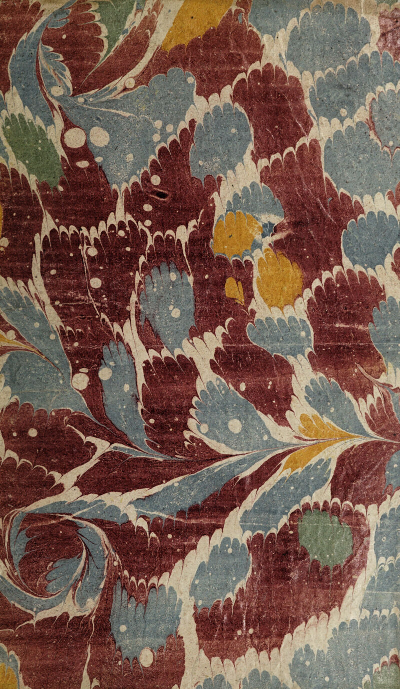 No text description is available for this image