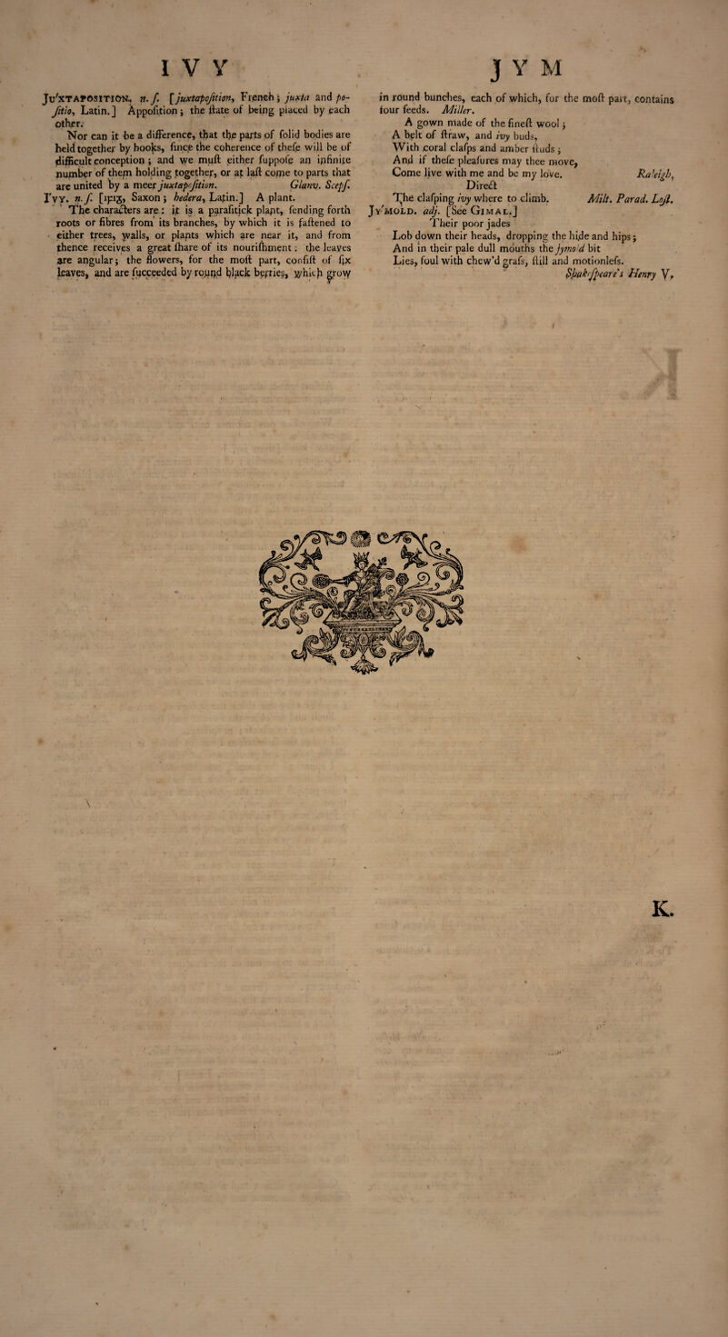 Ji/xTAfrOsiTlON.. n.f [ juxtapoftipn, French; juxta and po~ fitio, Latin.] Appofition; the date of being plated by each other. Nor can it be a difference, that the parts of folid bodies are held together by hooks, fince the coherence of thefe will be of difficult conception ; and we mult either fuppofe an infinite number of them holding together, or at lad come to parts that are united by a meer juxtapofition. Glanv. Scepf. IV Y. n.f [ips> Saxon; hedera, Latin.] A plant. The characters are; it is a parafitick plapt, fending forth roots or fibres from its branches, by which it is fattened to either trees, walls, or plapts which are near it, and from thence receives a great fhare of its nourishment: the leaves are angular; the flowers, for the molt: part, confilt of fix leaves, and are fucceeded by roupd black berries, which grow in round bundles, each of which, for the mod part, contains four feeds. Miller. A gown made of the fined wool; A belt of draw, and ivy buds. With coral clafps and amber duds ; And if thefe pleafures may thee move, Come live with me and be my love. Ra'eifo, Direct Vjhe clafping ivy where to climb. Milt. Parad. Lojl. Jv'mold. adj. [SeeGiMAL.J Their poor jades Lob down their heads, dropping the hi.de and hips; And in their pale dull mouths the jymo'd bit Lies, foul with chew’d grafs, dill and motionlefs. Spakfpcare's Henry V? r I N# \ K. I /