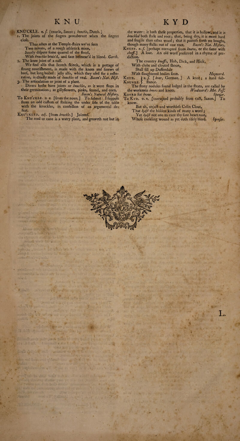 ! -'C- . ■ KNU'CKLK. n.J. [cnucle, Saxon ; knockle, Dutch.] j. The joints of the fingers protuberant when the fingers clofe. Thus often at the Temple-ftairs we’ve feen Two tritons, of a rough athletick mien, Sourly difpute fome quarrel of the flood, 1. The knee joint of a calf. We find alfo that Scotch fkinck, which is a pottage of ftrong nourifhment, is made with the knees and finews of beef, but long boiled : jelly alfo, which they ufed for a refto- rative, is chiefly made of knuckles of veal. Bacon's Nat. Hijl. 3. The articulation or joint of a plant. Divers herbs have joints or knuckles, as it were flops in their germination ; as gillyflowers, pinks, fennel, and corn. Bacon's Natural Hi/lory. To Knu'ckle. v.n. [from the noun.J Tofubmit: I fuppofe from an odd cuftom of ftriking the under fide of the table with the knuckles, in confelfion of an argumental de¬ feat. Knu'ckled. adj. [from knuckle.J Jointed. The reed or cane is a watry plant, and groweth not but in the water: it hath thefe properties, that it is hollow, and it is knuckled both ftalk and root; that, being dry, it is more hard and fragile than other wood ; that it putteth forth no boughs, though many ftalks out of one root. Bacon's Nat. Hijlory. Knuff. n. f [perhaps corrupted from knave, or the fame with chuff.] A lout. An old word preferved in a rhyme of pre- The country knuffs, Hob, Dick, and Hick, . With clubs and clouted fhoon, Shall fill up Duflendale With flaughtered bodies foon. Hayward. Knur. \n-f- [knor, German.] A knot; a hard fub- Knurle. J fiance. The ftony nodules found lodged in the ftrata, are called by the workmen knurs and knots. JVoodward's Met. Foff. Koned for knew. Spender. To Kyd. v. n. [corrupted probably from cuS, Saxon.] To know. But ah, unjuft and worthlefs Colin Clout, That kydjl the hidden kinds of many a weed ; Yet kydjl not one to cure thy fore heart root, Whofe rankling wound as yet doth rifely bleed. Spenjer. V t « I T-,< 'U % „ *• * * ■1 t