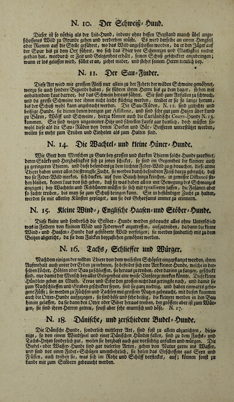 SDiefer ijl fo al^ bcc Seif^^^nint), tnbenu obnc beffen 5^ci;|Ianb mand) öbel an^X!* fd)offcneö ^ilb ju ©runbc geben unb »erberben mufle. njirb berfelbe an einem ‘Ocngfeil ober ^Kiemen auf bic ©tettc gefubret t too baö ^ßilb angefcl)oi[en toorben, ba er ben Sdger auf ber 0pur h\6 ju bem Ort führet/ tvo (teb bor 0cbmerjen unb ^^attigfeit niebec getbanbat/ toorburd; er 3eitunb@elegenbeiterbd(t, feinen @cbu9 gefebiefter anjubringen; wann er loö gelaffcn wirb/ fallet er an, siebet nieber/ unb jlebet feinem‘g)etrn treulid) bep» N. II. .5)er @au SDiefe^lrtwirb mit groffemgleignur allein su bergehrteberwilben^t^weinegewübttef/ worsu fie oud) fonbere ?Segierbe haben / pe führen ihren ^errn biö su bem ^ager/ peben mit anbaltenbem Saut barbor/ bi^ baö @cbwein beraue^ fahret, @ie finb sum Einfällen su fd)tbad;/ unb ba groffe0d)weine bor ihnen nicht leicht flüchtig werben, treibet er fie fo lange herum/ biöber0cbufl wohl fann angebracht werben, !Die 0am9vüben/ N. 12. pnb sottichte unb beiflige *S)unbe/ fie bienen benenborigen surAffiftenz, unbpnb (ehr gut sum ,&el^en über Sanb SU ^^dren, fÖ3o(ff unb 0chweine/ hiersu fonnen auch bie^urlanbif^e Cours-^öunbe N. 13, fommen. 0ie finb wegen ungemeinerv^ile unb fdmellenSaufo gar bienlid)/ bod) muffen fo# wohl biefealö bie 0au#Üvüben bon benen Sboefen unb ^dr# ^eifferen unterfinget werben^ weilen fie mehr sum Treiben unb ©nholen al^ sum »galten finb, N. 14. ^(c SSBacSeelo «itD fkine •buncr>'$«nl>e. 5S3ie @ott bem ?Olenfd)en su @ute bep groffen unb ffarfen ^hieren folche »?)unbe georbnef/ beten0tdrfeunb*g)ershuftigfeit fich su jenen fehiefet/ fo finb im ©egentheil bic fleinere auch SU geringeren ^hieren, unbbiefebefonber^SU bem leidsten 8eber^3Ü3ilbsu gcbrauchen, biefearme ‘^hiere haben unter allen bie (Irengfle Sucht/ ffe werben burdh befonbern gleifl barsu gebracht/ baff wo ffe geber#^ilb merfen/ fich buefen/ auf bem Q5auch hiuju friei^en, in gewiffer Diftanc^ jle# benbleiben/ feinen Saut bon flieh geben/ baff flewa^ haben allein niitQ5ewegungbe^0chwanseö anseigen; bep ^^achteln unb Üvebhünern müffen fie fich mittyrallieren laffen / bie gafänen aber fo fad)te treiben/ bio man fie sum 0cbuff bringen fann, 0ie in befldnbiger 3u(Jt su hulten^ werben fle mit allerlep fünften geplaget/ um fie beö ©ehorfamö immer su erinnern, I N. 15. kleine SBint ^, ^ngfifc^c •Oaafen ©toter» ^iefe Heine unb fonberlich bie 0t6ber# ^unbe werben gebraucht alle^ ohne Unterfchieb watf in gelbem bon fleinem ?Ö3ilb unb^geberwerf onsufreffen, aufsutreiben/ babann bie Heine Sö$inb# unb ^aafen# ^}unbe ba^ gefloberte ^ilb berfolgen; fie werben fonberlich mit su bem Cöeipen abgericht / ba fie bem galcfen bepsuflehen gewöhnet werben, N. 16. / ©(tttefftr unt SBürötr. ^ad)bem einigen ber wHben '<^hiere bon bem weifeflen 0chopfer eingepflanset worben, ihren 5lufemhalt auch unter ber (Srben su nehmen/ fo beflnbet fich eine 2lrt Heiner 4)unbe/ welche in ber# felbenSüchet/ fohlen ober ^ausufd)(ieffen/ fie herauf su treiben/ ober barinnsu fangen, gefd)icff finb, nur bamit bet ?(}lenfch bep aller Gelegenheit eine weife '^orforge merfen fonnte, Sbiefefleine ,g)ünblein geben an O^luth/ ^reue unb €ifer ben groffen nid;tbaögering|le nach/ unb bamit fie sum ^achfchlieffen unb Graben gefchiefterfepen/ fl'nbflegansniebrig/ unb haben einwärts gebo# genegüffe; fie werben sugüd)fen unb ^ad;fenmitgroffem^?upen gebraucht/ mitbiefen fommen auch bieOtter#^unbe aufgesogen/ fie finb büfe unb fehrbeiffig, bie fleinere werben inben ^au hinein gelaffen, ba fie bann ben Otter ober ^ibet herauf treiben, bergroffere aber ifl sum ^ür# gen, fie finb ihren‘Herren getreu, fonfl aber fehr murrifch unb büfe, N. 17. N. 18. ^^dnifete, unt jerfetktene 35«M»Jbuntf. 5bic5bdnifche^)unbe/ fonberlich mittlerer 5irt, flnb fafl su allem absurid)ten, bieje# nigc/ fo bon einem f83inbfpiel unb einer 2)dnifchen,^)ünbm fallen, flnb su bem gud;ö# unb ^achö?^epen fonberlich gut, weilen fl'e htrshuft auch flur borfl'chtig anfallen unb würgen, föie ^ubeU ober äöaffer#$unbe finb gar bielerlep Slrten, gehen bon ^ifatur gerne inö SOBaffer, unb finb bor einen gebet# 0chüpcn unentbehrlich, fle hbicnbaö Gefchoffene auö 0een unb giüffen, auch treiben fie, wa^ fich im fKohr unb 0chilff berflecfet, auf; fonnen fonfl su Sanbe mit sum 0t5bern gebraucht werben.