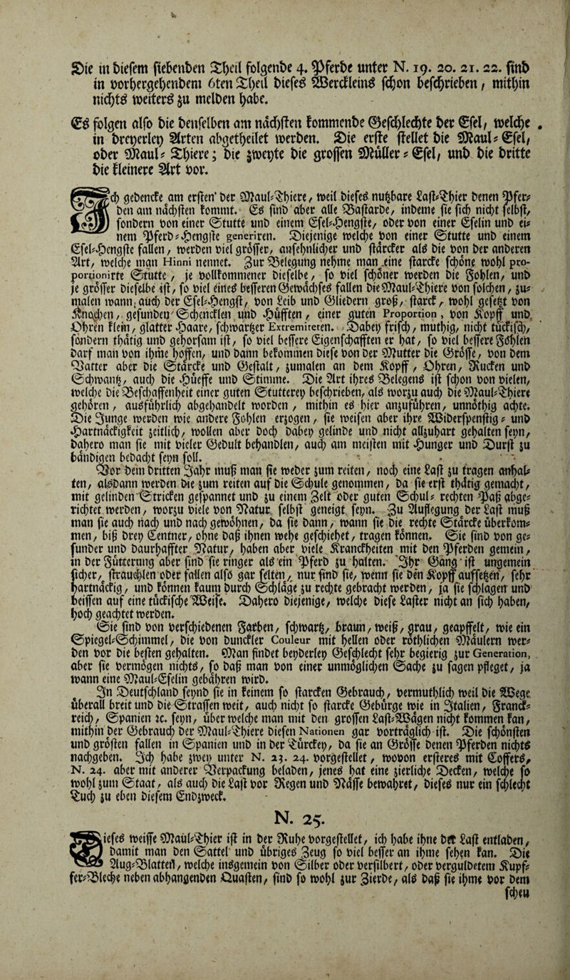 Sie m tiefem ftebenben S:l)ei( folgente 4* ^ferte unter N. 19. 20.21.22. ftnb in uortergetcnbem 6ten 2:()eil biefe^ SBercflein^ fd&on befd&rieben / mithin nid&t^ weiter^ ju melben \)abc. (£^ folgen nlfo bie benfelbcn om ndd)(ten fommenbe ©efd)Iecbte ber £fel/ toel^e in bm)crlc9 SIrten abgetbeilet toerbem Sie erfte (teilet bie iSRaul^®feI/ ober Sl)iere; bie jtoe^te bie grolfen SKüller ? ®fel/ unb bie brittc bie fleinere SIrt oor* d) geöencfe am crjten’ t)er ^aul^^l)iere / treil tiefet nu^bare Sajt^^bi^r ^enen t)en am nad)gcn tommt* fmt) aber alle ^aflarbe/ inbeme fie (icb nid}t felb(t, fonbern bon einer @tutte iinb einem (Sfel^^ömslte/ ober bon einer €fe(in unb ei^ nem ^ferb^^^cngile generlren» diejenige tbeld)e bon einer 0eutte unb einem ßfe(?*g)en9(le fallen, merben biel groffer, anfel)n(id;er unb fidrcfer alö bie bon ber anberen lärt/ melcbe man Hinni nennet gur Belegung nehme man^jine (tarcfe fcbdne mohl pro- porqonirte @tiutc / je bclltommener biefelbe/ fo biel fcboner merben bie Sohlen/ unb je groffer biefelbe ifl/ fo biel eine^ btlferen©emddjfeö fallen bie?*}?aul?'^l)iere bon folcben, ju? malen mann.aüd) ber €fet‘g)engfl, bon £eib unb ©liebem groß, flgrct/- tbohl gefegt bon 5vno^)en/.gefunbeu^@d)cncflen,uhb »g^yfften/ einer ^teii Proportion, bon stopft unb, flehi/ glatter «Staate/ fdjtbdr^er Extremireten* .feabei; frifdj/ mutljig/ nicht tucfifd;/ fonbern thdtig unb gehorfam ifl/ fo biel bcffere Sigenfchafften er hat, fo biel beffereSi^hien barf mail bon ihme hoffen, unb bann befommen biefe bon Der ?0?utter bie ©rojfe, bon bem Qjaftcr aber bie @tdrcfe unb ©ejlalt, jumalen an bem ^opff, Ohren, 3\ucfen unb 0d)iban^, auch bie v^üeffe unb 0timine, Sie 5lrt ihre^ ^elegenö ijt fcljon bon bielen, ibeld)e bie ^efchajfenheit einer guten 0tutterep befchrieben, alö morju auch ^Zaut^hi^r^ gehören, ausführlich abgehanbelt roorben, mithin eS hier anjufuhren, unnothig achte» SieSunge roerben roie anbere Sohlen erjogen, fie meifen aber ihre ^iberfpenftig unb ^artndetigfeit seitlich, mollen aber hoch babep gelinbe unb nidjt allsuhart gehalten fepn, bahero man fie mit bieler ©ebult behanblen, audj am meijten mit »junger unb Surfl sn bdnbi^n bebad)t fepn foll», • ; , QJor bem Dritten 3nhr niuf man jte meber sum reiten, noch eine £a(t sn tragen anhat teil, aisbann merben bie snm reiten auf bie @d)ule genommen, ba fie er)t thdtig gemadjt, mit gelinben'iStricfen gefpannet unb s« einem gelt ober guten 0chuU rechten >^3a6 abge^ richtet merben, morsu biele bon ^atur. felbjt geneigt fepm gn 2luflegung ber£a|l mug man fie auch nach unb nach gemohnen, ba fie bann, mann (i'e bie^ rechte @tdrcfe überfomtf men, big brep (Rentner, ohne bag ihnen mehe gefdjiehet, tragen fonnem 0ie g'nb bon ge? [unber unb baurl)affter 5Ratur, h«hen aber biele tonefheiten mit Den ^ferben gemein, m ber Sntternng aber gnbfie ringer alS'ein '^ferb su hnltem 'Shr ©dng'ifl ungemein ftdjer,^ llrauchlen ober fallen alfo gar (Viten 4 nur (inb fie, menn g'e Den ^'oj)f auffc^en, fehr ’ hartndefig, unb !dnnen faum Durch 0d;idge su redjte gebracht merben, ja fie fchlagen unb beijfen auf einetü(fifche'?S5eife* Sahero Diejenige, meldje biefe Safter nidjt an fich h«ben, hoch geachtet merben» i0ie finb bon berfchiebenen S^i^ben, fdjmar^, braun, meig, grau, geapjfelt, mie ein ©piegel?@chimmel, bie bon bunctler Couleur mit h^Ucn ober rothlidjen ^Tidulern mer? Den bor bie bejlen gehalten» CQ?an gnbet bepberlep ©ef^lecht fehr begierig sur Generation, aber fie bermdgen nichts, fo Dag man bon einer unmoglidjen 0ache su fagenpgeget, ja mann eine ^aubSfelin gebdhren mirb» 3n Seutfchlanb fepnb fie in feinem fo (larefen ©ebrauch, bermuthlidj meil bie ^ege. überall breit unb bie 0tra(Tenmeit, aud; nid}t fo flarcfe ©eburge mje in 3talien, SranS? reid;, Spanien :c»fepn, über melche man mit Den groffen £a(l?^dgen nicht fommen fan, mithin Der ©ebrauch ber ^auh'^hi^re biefen Nationen gar bortrdglich i(f» Sie fchdnjfen unb grdflen fallen in Spanien unb in ber'^ürefep, ba fie an ©rdjfe Denen ^ferben nichts nachgeben» 3ch hnbe smen unter n. 2^ 24. borgejfellet, mobon erjtereS mit Coffers^ N. 24. aber mit anberer ‘Serpaefung belaben, jenes hat eine sierlidje Seefen, meldje fo ibohl snin 0taat, als auch bie £a)f bor Üvegen unb ^d(fe bemahret, biefeS nur ein fd;lecht ^ud; SU eben biefem 0iDsmecf» N. 25. iefeS meiffe 9}?aül?'^hi^i^ fff in ber Dvuhe borgegellet, ich habe ihne bet £a(! entlaben, Damit man Den 0attel* unb übriges 3eug fo biel beffer an ihme fehen fan» Sie 2lug?Q3tattert, melche insgemein bon 0ilber ober berfilbert, oberbergulbetem ^upf? fer^'^leche neben abhangenben Ciuaffen, finb fo mohl sur Sitrbe, als bag ge ihme bor bem fd;eu