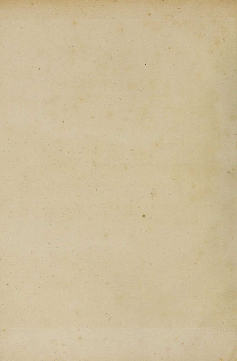 ■f I * > ' 1 I » * \ * f . »•- \ / /V I \ • i ■ ). .* ' V » V V