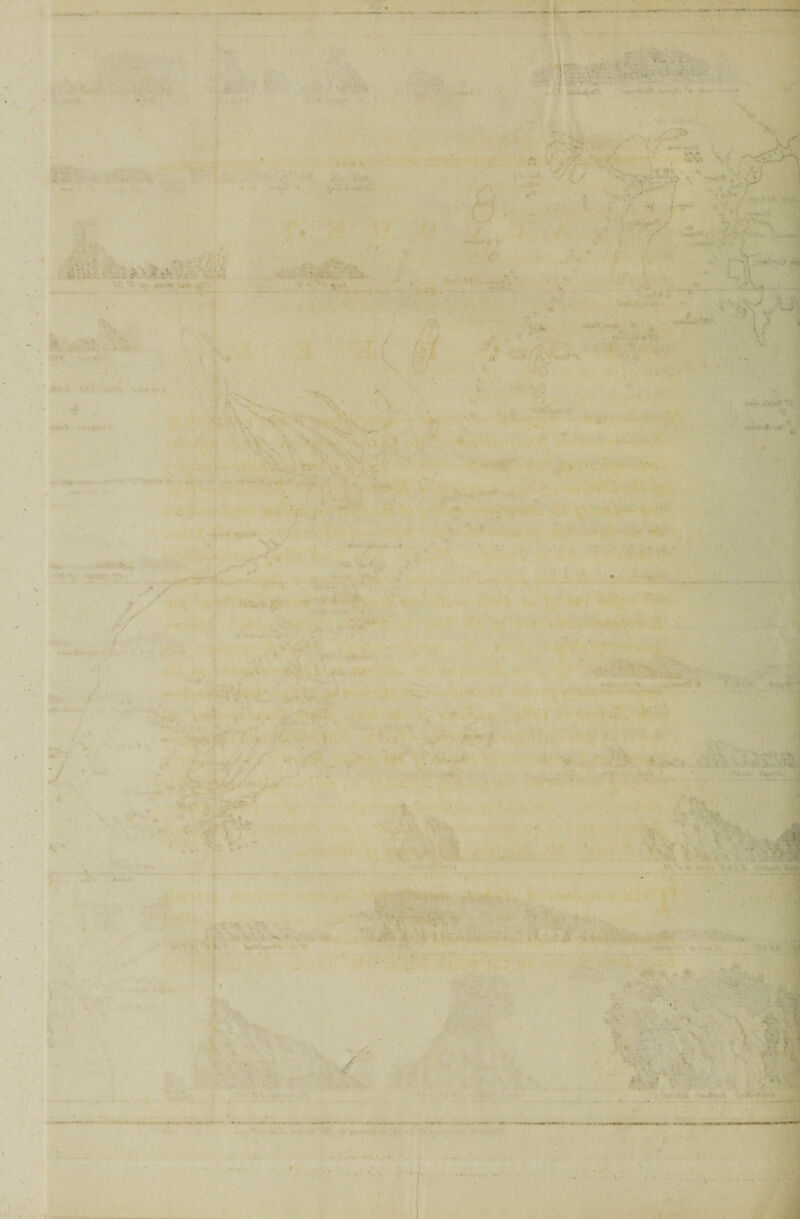 . • • •<. . X / ■ •. ■ ’ '