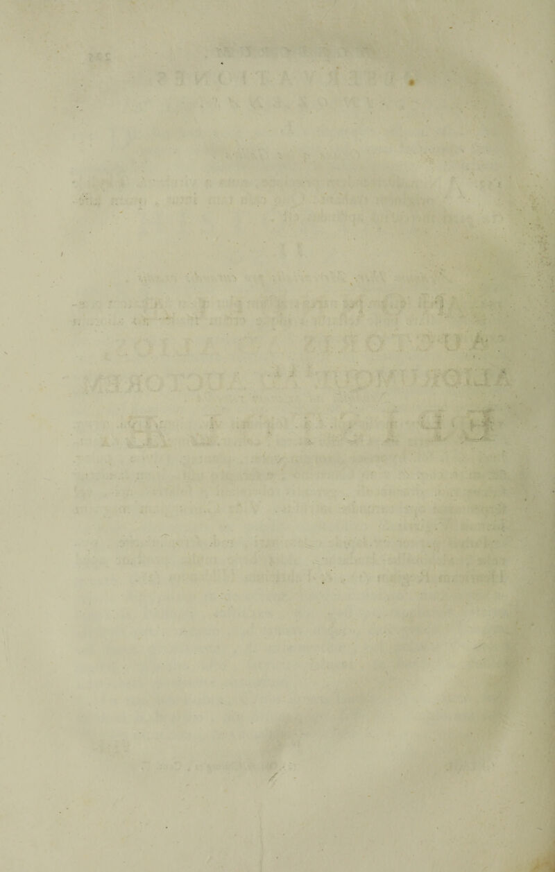 ' * • ■» -V ■I N •> . * 4 « ^ l’ > > ^ ' V‘ * v ' 1 • ' 1 > . ; ; -' ’ J 'i - ’■ .■ ' • : ■ • 'p . . • , *. V 5 ; r i/ 1 , , i . ' ' -■# - .... . t ' . ■ * . <
