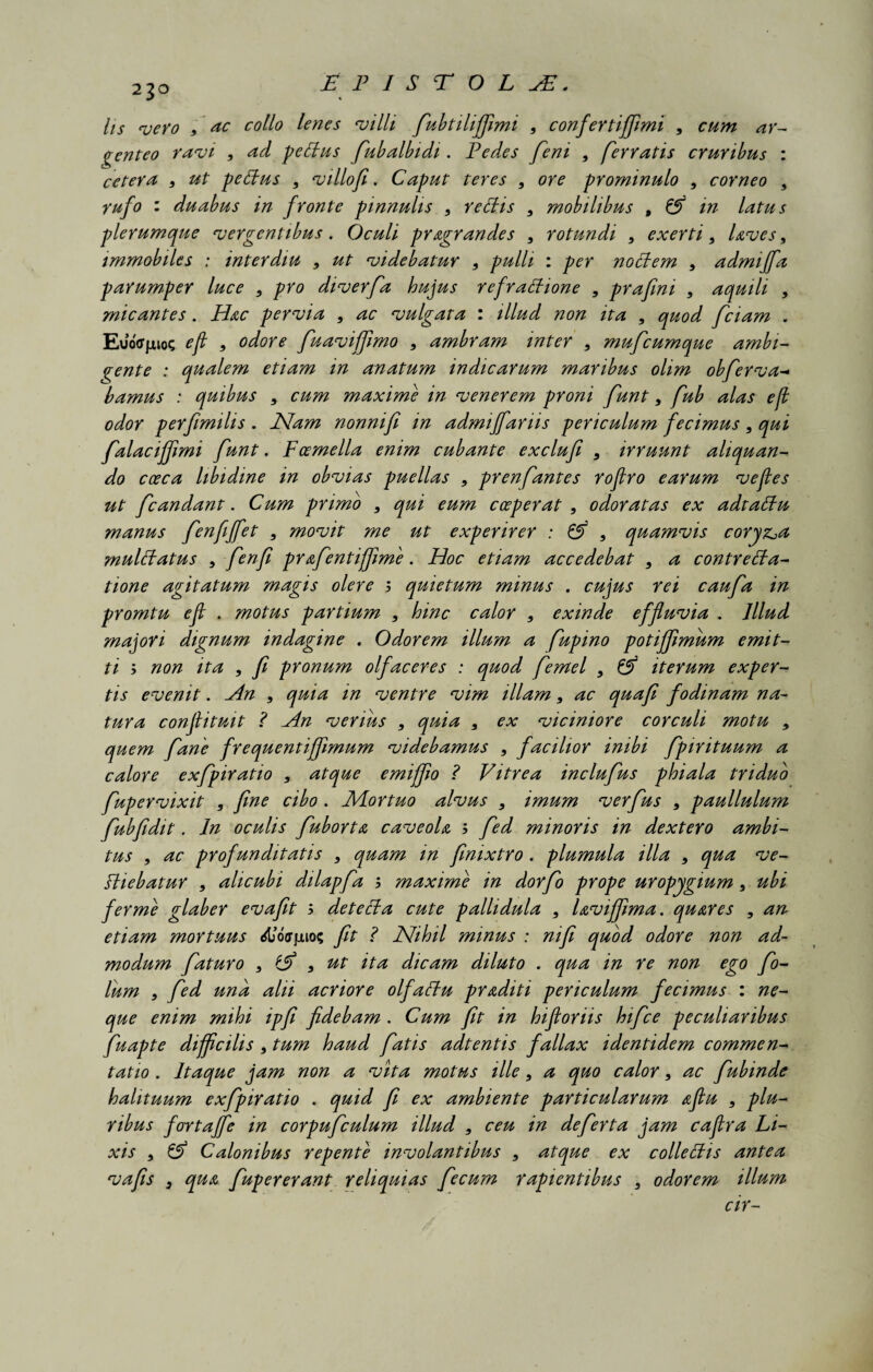 23° hs vero 9 ac collo lenes villi fubtiliffimi , confertiffimi 9 cum ar¬ genteo ravi 9 ad peBus fub albidi. E edes feni , ferratis cruribus : cetera 9 ut peBus 9 villofi. Caput teres 9 ore prominulo , corneo 9 rufo : duabus in fronte pinnulis 9 retiis 9 mobilibus , & m latus plerumque vergentibus. Oculi prAgrandes 9 rotundi 9 exerti 9 Uves9 immobiles : inter diu 9 ut videbatur 9 pulli : per noti em 9 admiffa parumper luce 9 pro diverfa hujus refrathone , prafini 9 aquili 9 micantes. Hac pervia 9 ac vulgata : illud non ita 9 quod fciam . Euoffjjuoc ejl 9 odore fuavijfimo 9 ambram inter 9 mufcumque ambi¬ gente : qualem etiam in anatum indicarum maribus olim obferva- bamus : quibus 9 cum maxime in venerem proni funt 9 fub alas e fi odor perfimilis . JSfam nonnifi in admiffariis periculum fecimus, qui falacijfimi funt. Foemella enim cubante exclufi 9 irruunt aliquan¬ do cceca libidine in obvias puellas 9 prenfantes roflro earum vefies ut fcandant. Cum primo 9 qui eum cceperat , odoratas ex adtatlu manus fenfijfet 9 movit me ut experirer : tA 9 quamvis coryza multlatus 9 fenfi prAfentiffimi. Hoc etiam accedebat 9 a contretla- tione agitatum magis olere 5 quietum minus . cujus rei caufa in promtu ejl . motus partium 9 hinc calor 9 exinde effluvia . Illud majori dignum indagine . Odorem illum a fupino potiffimum emit¬ ti '■> non ita 9 fi pronum olfaceres : quod femel 9 (lA iterum exper¬ tis evenit. An 9 quia m ventre vim illam 9 ac quafi fodinam na¬ tura conjiituit ? An verius 9 quia 9 ex viciniore corculi motu 9 quem fane frequentijfimum videbamus 9 facilior inibi fpirituum a calore exfpiratio 9 atque emijflo ? Vitrea inclufus phiala triduo fupervixit , fine cibo . Mortuo alvus 9 imum verfus 9 paullulum fubfidit. In oculis fubortA caveoU 5 fed minoris in dextero ambi¬ tus 9 ac profunditatis 9 quam in finixtro . plumula illa 9 qua ve- Biebatur 9 alicubi dilapfa ? maxime in dorfo prope uropygium 9 ubi fer me glaber evafit 5 detecta cute pallidula 9 Uviffima. quAres 9 an etiam mortuus <&o<rjuuo; fit ? ISlihil minus : nifi quod odore non ad¬ modum faturo 9 iA , ut ita dicam diluto . qua in re non ego fo- lum 9 fed und alii acriore olfactu pYAditi periculum fecimus : ne¬ que enim mihi ipfi fidebam . Cum fit in hiftoriis hifce peculiaribus fu apte difficilis 9 tum haud fatis adt entis fallax identidem commen¬ tatio . Itaque jam non a vita motus ille 9 a quo calor 9 ac fubinde halituum exfpiratio . quid fi ex ambiente particularum aJIu 9 plu¬ ribus fortaffe in corpufculum illud 9 ceu in defert a jam caflra Li¬ xis 9 tA Calonibus repente involantibus 9 atque ex colle Bis antea vafis , quA fupererant reliquias fecum rapientibus 9 odorem illum cir-
