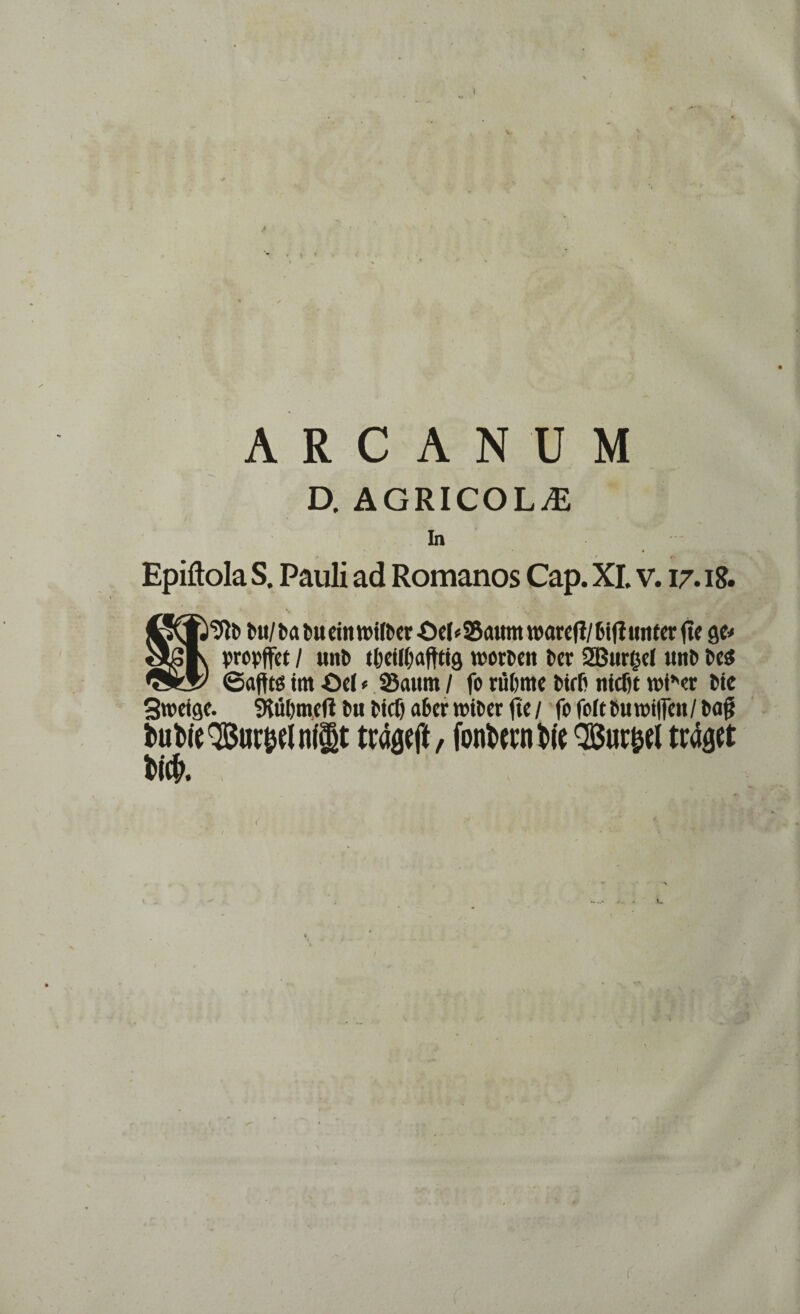 A R C A N U M D. AGRICOLjE In . ' * fr- Epiftola S. Pauli ad Romanos Cap. XI. v. 17.18. bu/Mtmeinmitocröe^Saumroareff/InfUinterfte ge* propffei / «nt t&eilijaftttg n?o«>en l>cr 2Burgel unö t>e$ ©afft« im -Oei * Saum / fo rüfeme fcirf' nicfit wf’'« l»tc Swetge. SHütjmcfi tu tief) aber roiDer fte / fo|oftt>uroi|jcu/t>af? fcuWQStor&eln($t trieft, Man Mt Söur&el traget tick <