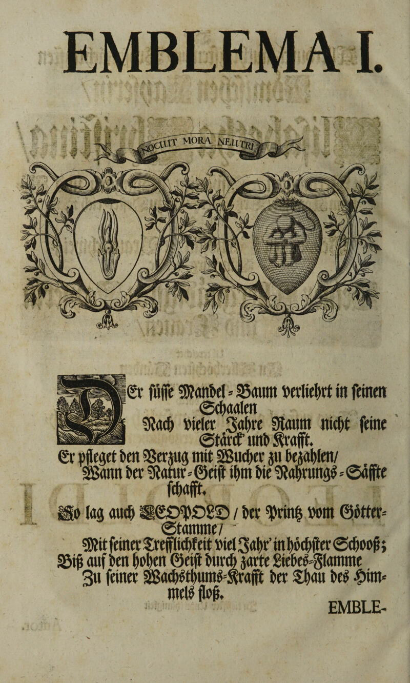 Sann per Scatur (Sr fujfe 9J?ankl*£5autn pertietyrtin feinen 6ctyaalen 3?acty vieler Satyre Staunt nic^t feine @tärcf tutö Grafit (Sv pfleaet Pen SSerpa mit Sucher p bejahen/ greift ityrn Pie $tatyrun$ *6ajfte fctyafft* o lag autty g|(S£tf|>£)££> / Per ^rin$ 00m ©etter-' @tamme/  !föit feiner Svejflictyfett »iet Satyr’ in tyoctyfter 0ctyoog; ; auf Pen tyotyen ©eift Purety prte 8iePe£-§(amme 3u feiner Sactyfttyum wafft Per Styau Pe£ £im* roetö flofr W EMBLE- EMBLEMAI.