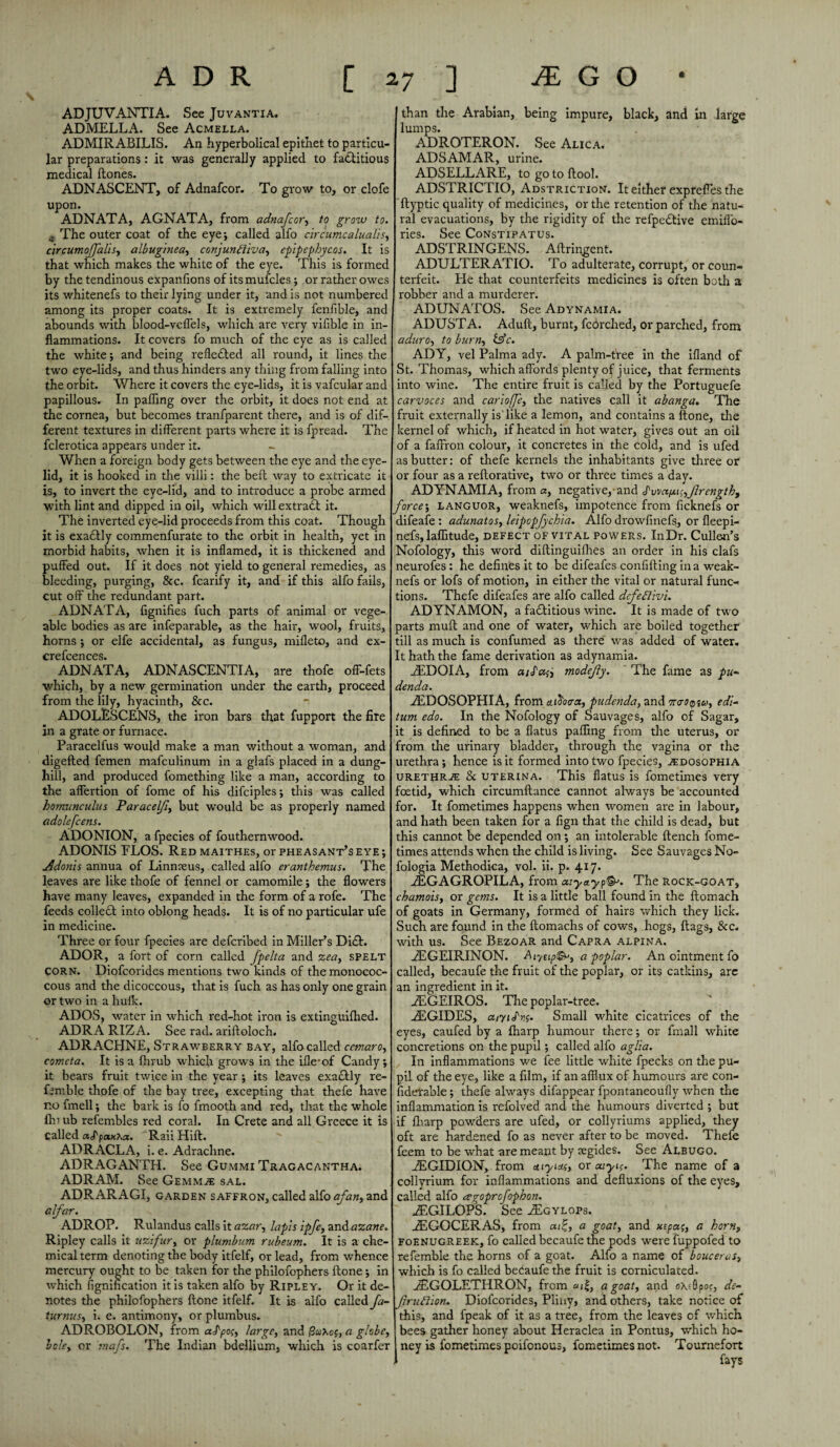 ADJUVANTIA. See Juvantia. ADMELLA. See Acmella. ADMIRABILIS. An hyperbolical epithet to particu¬ lar preparations: it was generally applied to factitious medical {tones. ADNASCENT, of Adnafcor. To grow to, or clofe upon. ADNATA, AGNATA, from adnafcor, to grow to. . The outer coat of the eye; called alfo circumcalualis, circumoffalis, albuginea, conjunctiva, epipcphycos. It is that which makes the white of the eye. This is formed by the tendinous expanfions of its mufcles; or rather owes its whitenefs to their lying under it, and is not numbered among its proper coats. It is extremely fenfible, and abounds with blood-vcffels, which are very vifible in in¬ flammations. It covers fo much of the eye as is called the white; and being reflected all round, it lines the two eye-lids, and thus hinders any thing from falling into the orbit. Where it covers the eye-lids, it is vafcular and papillous. In palling over the orbit, it does not end at the cornea, but becomes tranfparent there, and is of dif¬ ferent textures in different parts where it is fpread. The fclerotica appears under it. When a foreign body gets between the eye and the eye¬ lid, it is hooked in the villi: the bell way to extricate it is, to invert the eye-lid, and to introduce a probe armed with lint and dipped in oil, which will extract it. The inverted eye-lid proceeds from this coat. Though it is exaClly commenfurate to the orbit in health, yet in morbid habits, when it is inflamed, it is thickened and puffed out. If it does not yield to general remedies, as bleeding, purging, &c. fcarify it, and if this alfo fails, cut off the redundant part. ADNATA, lignifies fuch parts of animal or vege- able bodies as are infeparable, as the hair, wool, fruits, horns ; or elfe accidental, as fungus, mifleto, and ex- crefcences. ADNATA, ADNASCENTIA, are thofe off-fets which, by a new germination under the earth, proceed from the lily, hyacinth, &c. ADOLESCENS, the iron bars that fupport the fire in a grate or furnace. Paracelfus would make a man without a woman, and digelled femen mafculinum in a glafs placed in a dung¬ hill, and produced fomething like a man, according to the affertion of fome of his difciples; this was called homunculus Paracelfi, but would be as properly named adolefcens. ADONION, a fpecies of fouthernwood. ADONIS FLOS. Redmaithes, or pheasant’s eye; Adonis annua of Linnreus, called alfo eranthemus. The leaves are like thofe of fennel or camomile; the flowers have many leaves, expanded in the form of a rofe. The feeds colled into oblong heads. It is of no particular ufe in medicine. Three or four fpecies are defcribed in Miller’s Did. ADOR, a fort of corn called fpelta and zea, spelt CORN. Diofcorides mentions two kinds of the monococ- cous and the dicoccous, that is fuch as has only one grain or two in a hulk. ADOS, water in which red-hot iron is extinguilhed. ADRA RIZA. See rad. ariftoloch. ADRACHNE, Strawberry bay, alfo called cemaro, comcta. It is a fhrub which grows in the ifle'of Candy; it bears fruit twice in the year ; its leaves exadly re¬ ferable thofe of the bay tree, excepting that thefe have no fmell; the bark is fo fmooth and red, that the whole Ihi ub refembles red coral. In Crete and all Greece it is Called aFpetxXa. Raii Hift. ADR ACL A, i. e. Adrachne. ADRAGANTH. See Gummi Tragacantha. ADRAM. See Gemmae sal. ADRARAGI, garden saffron, called alfo afan, and alfar. ADROP. Rulandus calls it azar, lapis ipfe, and azane. Ripley calls it uzifur, or plumbum rubeum. It is a che¬ mical term denoting the body itfelf, or lead, from whence mercury ought to be taken for the philofophers Hone; in which Signification it is taken alfo by Ripley. Or it de¬ notes the philofophers (tone itfelf. It is alfo called fa- turnus, i. e. antimony, or plumbus. ADROBOLON, from aPpo;, large, and flukes, a globe, bole, or mafs. The Indian bdellium, which is coarfer than the Arabian, being impure, black, and in large lumps. ADROTERON. See Alica. ADSAMAR, urine. ADSELLARE, to go to {tool. ADSTRICTIO, Adstriction. It either exprefies the ftyptic quality of medicines, or the retention of the natu¬ ral evacuations, by the rigidity of the refpedtive emiffo- ries. See Constipatus. ADSTRINGENS. Aftringent. ADULTER ATIO. To adulterate, corrupt, or coun¬ terfeit. Ide that counterfeits medicines is often both a robber and a murderer. ADUNATOS. See Adynamia. ADUSTA. Aduft, burnt, fcorched, or parched, from aduro, to burn, &c. ADY, vel Palma ady. A palm-tree in the ifland of St. Thomas, which affords plenty of juice, that ferments into wine. The entire fruit is called by the Portuguefe carvoces and cariojfe, the natives call it abanga. The fruit externally is'like a lemon, and contains a {tone, the kernel of which, if heated in hot water, gives out an oil of a faffron colour, it concretes in the cold, and is ufed as butter: of thefe kernels the inhabitants give three or or four as a reftorative, two or three times a day. ADYNAMIA, from a, negative,-and Pvm(M;,Jlrengthf force; languor, weaknefs, impotence from ficknefs or difeafe : adunatos, leipopfychia. Alfo drowfinefs, or fleepi- nefs, laflitude, defect of vital powers. InDr. Cullen’s Nofology, this word diftinguifhes an order in his clafs neurofes: he defines it to be difeafes confiding in a weak¬ nefs or lofs of motion, in either the vital or natural func¬ tions. Thefe difeafes are alfo called defeClivi. ADYNAMON, a factitious wine. It is made of two parts muft and one of water, which are boiled together till as much is confirmed as there was added of water. It hath the fame derivation as adynamia. ZEDOIA, from aiPcugj modejly. The fame as pu¬ denda. ZEDOSOPHIA, from aiSotra, pudenda, and orcrOQiu, edi- turn edo. In the Nofology of Sauvages, alfo of Sagar, it is defined to be a flatus paffing from the uterus, or from the urinary bladder, through the vagina or the urethra; hence is it formed into two fpecies, adosophia urethra: & uterina. This flatus is fometimes very foetid, which circumftance cannot always be accounted for. It fometimes happens when women are in labour, and hath been taken for a fign that the child is dead, but this cannot be depended on; an intolerable flench fome¬ times attends when the child is living. See Sauvages No- fologia Methodica, vol. ii. p. 417* iEGAGROPILA, from Myayp'&. The rock-goat, chamois, or gems. It is a little ball found in the ftomach of goats in Germany, formed of hairs which they lick. Such are found in the ftomachs of cows, hogs, flags, &c. with us. See Bezoar and Capra alpina. ZEGEIRINON. Ar/cip&>, a poplar. An ointment fo called, becaufe the fruit of the poplar, or its catkins, are an ingredient in it. ZEGEIROS. The poplar-tree. ZEGIDES, a/ytPy;. Small white cicatrices of the eyes, caufed by a {harp humour there; or fmall white concretions on the pupil; called alfo aglia. In inflammations we fee little white fpecks on the pu¬ pil of the eye, like a film, if an afflux of humours are con¬ siderable ; thefe always difappear fpontaneoufly when the inflammation is refolved and the humours diverted ; but if {harp powders are ufed, or collyriums applied, they oft are hardened fo as never after to be moved. Thefe feem to be what are meant by aegides. See Albugo. ZEGIDION, from aiyim, or aiyif. The name of a collyrium for inflammations and defluxions of the eyes, called alfo agoprcfophon. ZEGILOPS. See ZEgylops. ZEGOCERAS, from ai£, a goat, and xtpcc;, a horn, foenjjgreek, fo called becaufe the pods were fuppofed to refemble the horns of a goat. Alfo a name of bouceras, which is fo called becaufe the fruit is cornicula'ced. ZEGOLETHRON, from «i|, a goat, and e\?8por, de- fruCtion. Diofcorides, Pliny, and others, take notice of this, and fpeak of it as a tree, from the leaves of which bees gather honey about Heraclea in Pontus, which ho¬ ney is fometimes poifonous, fometimes not. Tournefort I fays
