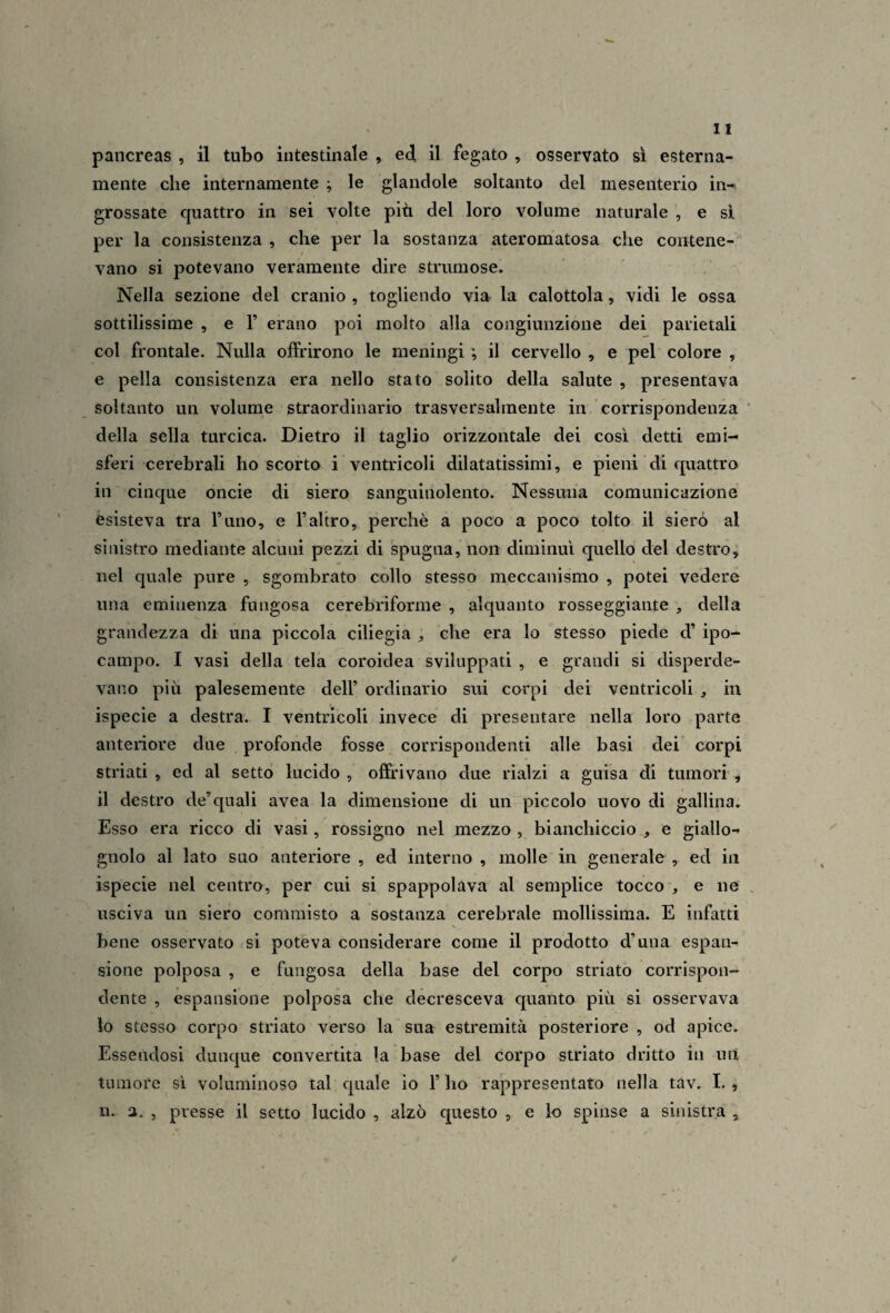 mente che internamente ; le glandole soltanto del mesenterio in¬ grossate quattro in sei volte più del loro volume naturale , e si per la consistenza , che per la sostanza ateromatosa che contene¬ vano si potevano veramente dire strumose. Nella sezione del cranio , togliendo via la calottola, vidi le ossa sottilissime , e V erano poi molto alla congiunzione dei parietali col frontale. Nulla offrirono le meningi ; il cervello , e pel colore , e pella consistenza era nello stato solito della salute , presentava soltanto un volume straordinario trasversalmente in corrispondenza ' della sella turcica. Dietro il taglio orizzontale dei cosi detti emi¬ sferi cerebrali ho scorto i ventricoli dilatatissimi, e pieni di quattro in cinque oncie di siero sanguinolento. Nessuna comunicazione esisteva tra Tuno, e Taltro, perchè a poco a poco tolto il siero al sinistro mediante alcuni pezzi di spugna, non diminuì quello del destro, nel quale pure , sgombrato collo stesso meccanismo , potei vedere una eminenza fungosa cerebriforme , alquanto rosseggiante , della grandezza di una piccola ciliegia , che era lo stesso piede d’ ipo¬ campo. I vasi della tela coroidea sviluppati , e grandi si disperde¬ vano più palesemente dell’ ordinario sui corpi dei ventricoli , in ispecie a destra. I ventricoli invece di presentare nella loro parte anteriore due profonde fosse corrispondenti alle basi dei* corpi striati , ed al setto lucido , offrivano due rialzi a guisa di tumori, il destro de’quali avea la dimensione di un piccolo uovo di gallina. Esso era ricco di vasi, rossigno nel mezzo , bianchiccio , e giallo¬ gnolo al lato suo anteriore , ed interno , molle in generale , ed in ispecie nel centro, per cui si spappolava al semplice tocco', e ne . usciva un siero commisto a sostanza cerebrale mollissima. E infatti \ bene osservato si poteva considerare come il prodotto d’una espan¬ sione polposa , e fungosa della base del corpo striato corrispon¬ dente , espansione polposa che decresceva quanto più si osservava lo stesso corpo striato verso la sua estremità posteriore , od apice. Essendosi dunque convertita la base del corpo striato dritto in uit tumore sì voluminoso tal quale io l’ho rappresentato nella tav. I., n. a. , presse il setto lucido , alzò questo , e lo spinse a sinistra 5