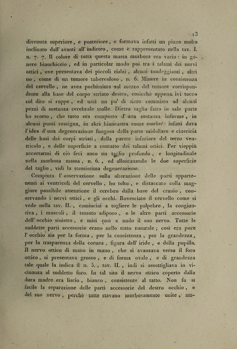 divenuta superiore, e posteriore, e formava infatti un piano molto inclinato dall’avanti all’indietro, come è rappresentato nella tav. L n. 7. 7. Il colore di tutta questa massa morbosa era vario : in ge¬ nere bianchiccio , ed in particolar modo poi tra i talami dei nervi ottici , ove presentava dei piccoli rialzi , alcuni tondeggianti , altri no , come di un tumore tubercoloso , n. 6. Minore in consistenza del cervello , ne avea pochissima sul mezzo del tumore corrispon¬ dente alla base del corpo striato destro, cosicché appena, ivi tocco col dito si ruppe, ed uscì un po’ di siero commisto ad alcuni pezzi di sostanza cerebrale molle. Dietro taglio fatto in tale parte ho scorto , che tutto era composto d’ una sostanza informe , in alcuni punti rossigna, in altri biancastra come marbré : infatti dava l’ idea d’uim degenerazione fungosa della parte midollare e cinericia delle basi dei corpi striati, della parete inferiore del terzo ven¬ tricolo , e delle superfìcie a contatto dei talami ottici. Per vieppiù, accertarmi di ciò feci anco un t^lio profondo , e longitudinale nella morbosa massa , n. 6, , ed allontanando le due superficie del taglio , vidi la stessissima degenerazione. Compiuta r osservazione sulla alterazione delle parti apparte¬ nenti ai ventricoli del cervello , ho tolto , e distaccato colla mag¬ giore possibile attenzione il cerebro dalla base del cranio , con¬ servando i nervi ottici , e gli occhi. Rovesciato il cervello come si vede nella tav. II. , cominciai a togliere le palpebre , la congiun¬ tiva , i muscoli , il tessuto adiposo , e le altre parti accessorie dell’ occhio sinistro , e misi così a nudo il suo nervo. Tutte le suddette parti accessorie erano nello stato naturale ,• così eru pure r occhio sia per la forma , per la consistenza , per la grandezza^ per la trasparenza della cornea , figura dell’ iride , e della pupilla. II nervo ottico di mano in mano , che si avanzava verso il foro ottico, si presentava grosso , e di forma ovale , e di grandezza tale quale la indica il 11. 5. , tav. II. , indi si assottigliava in vi¬ cinanza al suddetto foro. In tal sito il nervo ottico coperto dalla dura madre era liscio , bianco , consistente al tatto. Non fu si facile la separazione delle parti accessorie del destro occhio , e del suo nervo , perchè tutte stavano morbosamente unite, ain-