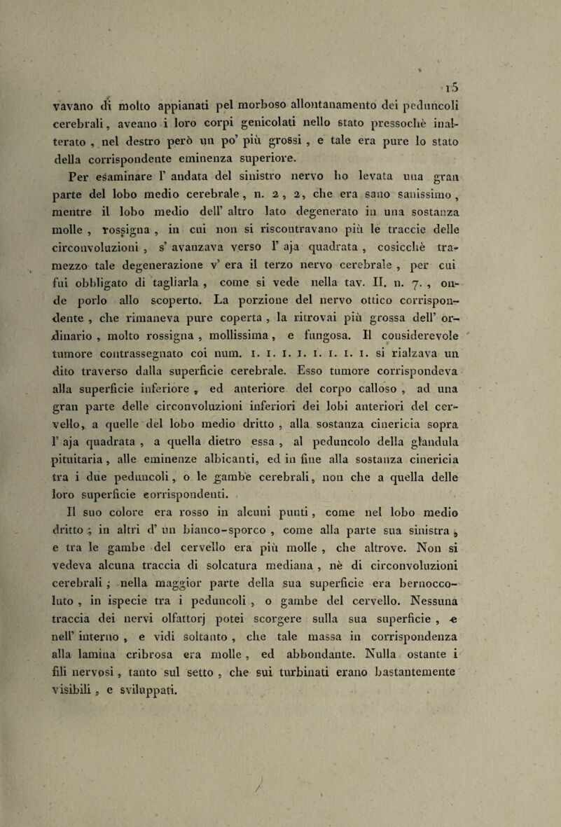 vavaiio di molto appianati pel morboso allontanamento dei peduncoli cerebrali, aveaiio i loro corpi genicolati nello stato pressoché inal¬ terato , nel destro però un po’ più grossi , e tale era pure lo stato della corrispondente eminenza superiore. Per esaminare 1’ andata del sinistro nervo ho levata una gran parte del lobo medio cerebrale, n. 2, 2, che era sano sanissimo, mentre il lobo medio dell’ altro lato degenerato in una sostanza molle , rossigna , in cui non si riscontravano più le traccio delle circonvoluzioni , s’ avanzava verso 1’ aja quadrata , cosicché tra¬ mezzo tale degenerazione v’ era il terzo nervo cerebrale , per cui fui obbligato di tagliarla , come si vede nella tav. II. n. 7. , on¬ de porlo allo scoperto. La porzione del nervo ottico corrispoiir dente , che rimaneva pure coperta , la ritrovai più grossa dell’ or¬ dinario , molto rossigna , mollissima, e fungosa. Il considerevole tumore contrassegnato coi num. i. i. i. i. i. i. i. i. si rialzava un dito traverso dalla superficie cerebrale. Esso tumore corrispondeva alla superficie inferiore , ed anteriore del corpo calloso , ad una gran parte delle circonvoluzioni inferiori dei lobi anteriori del cer¬ vello, a quelle del lobo medio dritto , alla sostanza cinericia sopra r aja quadrata , a quella dietro essa , al peduncolo della gianduia pituitaria, alle eminenze albicanti, ed in fine alla sostanza cinericia tra i due peduncoli, o le ^amb'e cerebrali, non che a quella delle loro superficie eorrispondenti. , Il suo colore era rosso in alcuni punti, come nel lobo medio dritto ; in altri d’ un bianco-sporco , come alla parte sua sinistra ^ e tra le gambe .del cervello era più molle , che altrove. Non si vedeva alcuna traccia di solcatura mediana , nè di circonvoluzioni cerebrali ; nella maggior parte della sua superficie era bernocco¬ luto , in ispecie tra i peduncoli , o gambe del cervello. Nessuna traccia dei nervi olfattorj potei scorgere sulla sua superficie , -e nell’ interno , e vidi soltanto , che tale massa in corrispondenza alla lamina cribrosa era molle , ed abbondante. Nulla ostante i fili nervosi, tanto sul setto , che sui turbinati erano bastantemente visibili j e sviluppati.