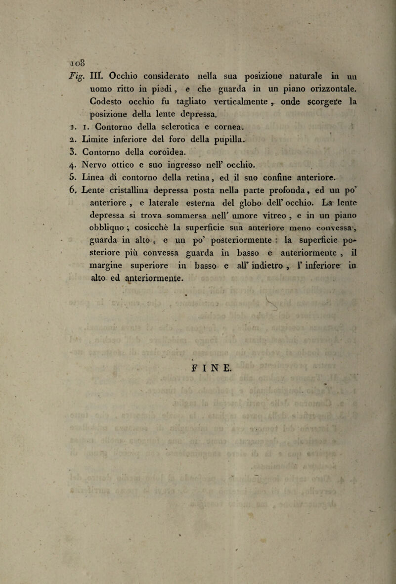 a o8 Fig. III. Occhio considerato nella sua posizione naturale in un uomo ritto in piedi, e che guarda in un piano orizzontale. Codesto occhio fu tagliato verticalmente onde scorgeife la posizione della lente depressa. 1. I. Contorno della sclerotica e cornea. 2. Limite inferiore del foro della pupilla. 3. Contorno della coroidea. 4. Nervo ottico e suo ingresso nell’ occhio. 5. Linea di contorno della retina, ed il suo confine anteriore. 6. Lente cristallina depressa posta nella parte profonda, ed un po’ anteriore , e laterale esterna del globo dell’ occhio. La lente depressa si trova sommersa nell’ umore vitreo , e in un piano obbliquo ; cosicché la superficie sua anteriore meno convessa, guarda in alto , e un po’ posteriormente : la superficie po¬ steriore più convessa guarda in basso e anteriormente , il margine superiore in basso e aU’ indietro , l’inferiore in alto ed anteriormente.