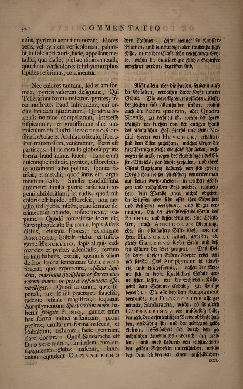 vifus, pyritem aerarium notat *, Flores aeris, vel pyritem verficolorem, palum¬ bi, in fole apricantis, facie, appellant me¬ tallici, qua clade, glebae diuitis metalli, quorfum verficolores Ichthyomorphos lapides referimus, continentur. Nec colores tantum, fed etiam for¬ mae , pyritis valorem defignant 3 Qui Telferarum forma nafcitur, pyrites, in¬ ter nolfrates haud infrequens, cui or¬ dini lapidem quadratum, Quadrae Si¬ nendis nomine compellatum, interefle fufpicamur, et gratiffimum illud mu- nufculum ab Illultri Hevchero, Con- filiario Aulae et Archiatro Regio, libera- liter transmilfum, veneramur, Ferri elf particeps. Huic metallo globofa pyritis forma haud minus fauet, hanc enim quicunque induxit, pyrites, efflorefcen- te atramenti albo polline, fponte fa- tifcit, et metalli, quod intus elf, argu¬ mentum edit. Similis candidiffima atramenti fauilla pyrite arfenicali ar¬ genti abfolutiffimi, et rudis, quod rufi coloris elf lapide, efflorefcit, non me¬ tallo, fed glebis, infelta, quae formae de¬ trimentum abinde, foluto nexu, ca¬ piunt. Quodli conieffurae locus elf, Sarcophagus ilte P l i n i i , lapis Affius dictus, eiusque Flores, exponente Agricoea, Cobalti gleba, et fuffra- gante Henckelio, lapis aliquis cad- meodes et pyrites arfenicalis, ferrum in linu habens, extitit, quamuis aliam de hoc lapide fententiam Galenvs foueat, quo exponente, JJfitim lapi¬ dem, marinum quodpiam et florem eins rorem maris in petra refldentem effe, intelligas. Quod in omni, quae fu- perelt, re foffili praeterea flauefcit, tacente etiam magiltro, loquitur. Auripigmentum Specularium more ha¬ betur fragile Plinio, gaudet enim hac forma induci arfenicum, prout pyrites, crultarum forma nafcens, et Cobaltum, telfarum facie genitum, clare docent. Quod Sandaracha elf D i o s c o R i d 1, in iisdem cum au¬ ripigmento glebis nafcens, inno¬ cuum equidem Caesalpino bern Nahmen; £0?au nennet fie kupffer« 25lumen, unb buntfarbige, ober taubenhalfige, kige, in welcher Slaffe fefr reichhaltige ©rg« te, wohin bie buntfnrbigte Sifch « ©Reffet gerechnet werben, begriffen futb. 0ltcbt allein aber bie Farben, fottbern and) bie ©egaltett, oevrathen berer kiege inner« ©ehalt. Sie oierecfigten, würflichten, kiege, begleichen geh allenthalben ft'nben, wohin auch bie Piedra quadrata, ober Quadra Sinenlis, ju rechnen iff, welche ber £err a3efiger oor furgen oon ber gütigen Jpanb bed königlichen £of* SRathd unb Ceib « Me¬ dici jpetrn oon Hevcher, erhalten, finb bem ©fen jugethan, welched ©rgte bie fugclförmigett kiege ebenfald febr lieben, weg« wegen fie auch, wegen bedSludfchlagen bed ©i« fen«©itriold, gar leichte jerfaHen, unb ihred ©ifend Slnjeigung baburch oon geh geben; ^Dergleichen weigen Sludfchlag bemerket man auf benen ©ifft«kie§en, in welchen gebie« gen unb rothgülben ©rßt wdcbft, wannen« hero bem SJletaUe jwar nichtd abgehet, bie ©tuffen aber fehr offte ihre Schönheit unb 5efiigfeit oerliehren, unb iji ju rer« niuthen, bag ber gieifchfreffenbe ©teilt bed Plinii, unb beffen Sßluttte, eine Kobalt« Slrt, nach Agricolae SHet)tiling, ober ein eifenhaffter ©ifft«kieg, wie ihn jjperr Henckel nennet, gewefen, ob« gleich Galenvs biefen ©tein unb bef« fen SMutne ber ©ee juetgnet. ©ad ©et« be berer übrigen ©rben«©örper rebet oon geh felbg; ©ad Auripigment iff fchieff« rig unb bldtterförmig, magen ber Slrfe« nie geh tn biefer fihirblichten ©egalt ger« ne fehett läget, wie bie ©chirbel« kiege, nebfl bem ©chirm« Kobalt, jur ©nüge beweifett. ©ie oft bet; bem Auripigment brechenbe, oon Dioscoride alfoge« nenttete, Sandaracha, welche, ob ge gleich Caesalpinvs oor unfchulbig hält, benttocb,ber arfenicalifchett ©erwatibfcbaft hat« ben, oerbdchtig ig, unb ber gebtegene gelbe Slrfettic, offenbahret geh burch ben ge« wörtlichen kttoblauchd« ©cruch auf koh« len, unb wirb baburch oon felbgwacbfem ben gelben Schwefeln unterfchieben, welche bet) bem Slttbrenttett einen unfchdblichen, con-